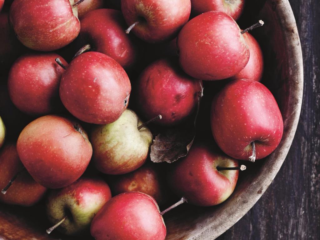 De gode, danske æbler