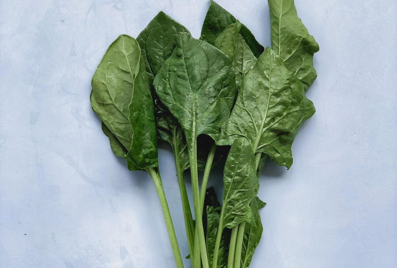 Spinat​​​​‌﻿‍﻿​‍​‍‌‍﻿﻿‌﻿​‍‌‍‍‌‌‍‌﻿‌‍‍‌‌‍﻿‍​‍​‍​﻿‍‍​‍​‍‌﻿​﻿‌‍​‌‌‍﻿‍‌‍‍‌‌﻿‌​‌﻿‍‌​‍﻿‍‌‍‍‌‌‍﻿﻿​‍​‍​‍﻿​​‍​‍‌‍‍​‌﻿​‍‌‍‌‌‌‍‌‍​‍​‍​﻿‍‍​‍​‍‌‍‍​‌﻿‌​‌﻿‌​‌﻿​​​﻿‍‍​‍﻿﻿​‍﻿﻿‌‍﻿​‌‍﻿﻿‌‍​﻿‌‍​‌‌‍﻿​‌‍‍​‌‍﻿﻿‌﻿​﻿‌﻿‌​​﻿‍‍​﻿​﻿​﻿​﻿​﻿​﻿​﻿​﻿​‍﻿﻿‌‍‍‌‌‍﻿‍‌﻿‌​‌‍‌‌‌‍﻿‍‌﻿‌​​‍﻿﻿‌‍‌‌‌‍‌​‌‍‍‌‌﻿‌​​‍﻿﻿‌‍﻿‌‌‍﻿﻿‌‍‌​‌‍‌‌​﻿﻿‌‌﻿​​‌﻿​‍‌‍‌‌‌﻿​﻿‌‍‌‌‌‍﻿‍‌﻿‌​‌‍​‌‌﻿‌​‌‍‍‌‌‍﻿﻿‌‍﻿‍​﻿‍﻿‌‍‍‌‌‍‌​​﻿﻿‌​﻿‍​​﻿​﻿​﻿‌‌​﻿​‍​﻿​‍​﻿​﻿​﻿​‍‌‍​﻿​‍﻿‌‌‍​﻿​﻿‍​​﻿​​​﻿‍​​‍﻿‌​﻿‌​​﻿‌‍​﻿​﻿​﻿‍‌​‍﻿‌‌‍​‍​﻿‍​‌‍‌​​﻿​‌​‍﻿‌‌‍​‌‌‍​‌​﻿‌‌​﻿‌​‌‍‌‍​﻿​​​﻿‌​​﻿‌‍‌‍​‍​﻿‍‌​﻿​​‌‍‌‍​﻿‍﻿‌﻿‌​‌﻿‍‌‌﻿​​‌‍‌‌​﻿﻿‌‌‍​‌‌﻿​‍‌﻿‌​‌‍‍‌‌‍​﻿‌‍﻿​‌‍‌‌​﻿‍﻿‌﻿​​‌‍​‌‌﻿‌​‌‍‍​​﻿﻿‌‌﻿​​‌‍﻿﻿‌﻿​‍‌﻿‌​‌‍​‌‌‍​‍‌‍﻿​‌‍‌‌‌﻿‌​‌‍‌‌‌﻿‍​‌﻿‌​​‍‌‌​﻿‌‌‌​​‍‌‌﻿﻿‌‍‍﻿‌‍‌‌‌﻿‍‌​‍‌‌​﻿​﻿‌​‌​​‍‌‌​﻿​﻿‌​‌​​‍‌‌​﻿​‍​﻿​‍‌‍​‌‌‍​﻿​﻿​​‌‍‌‍​﻿‌​​﻿‍​‌‍‌​​﻿​‌​‍‌‌​﻿​‍​﻿​‍​‍‌‌​﻿‌‌‌​‌​​‍﻿‍‌﻿​﻿‌‍﻿​‌‍‍‌‌‍‌​‌‍‌‌‌﻿​﻿​‍‌‌​﻿‌‌‌​​‍‌‌﻿﻿‌‍‍﻿‌‍‌‌‌﻿‍‌​‍‌‌​﻿​﻿‌​‌​​‍‌‌​﻿​﻿‌​‌​​‍‌‌​﻿​‍​﻿​‍‌‍​‍​﻿​﻿​﻿‌‌​﻿​‍​﻿‌‌‌‍‌‌‌‍​﻿​﻿‌​​‍‌‌​﻿​‍​﻿​‍​‍‌‌​﻿‌‌‌​‌​​‍﻿‍‌‍‍‌‌‍﻿‌‌‍​‌‌‍‌﻿‌‍‌‌​‍﻿‍‌‍​‌‌‍﻿​‌﻿‌​​﻿﻿﻿‌‍​‍‌‍​‌‌﻿​﻿‌‍‌‌‌‌‌‌‌﻿​‍‌‍﻿​​﻿﻿‌‌‍‍​‌﻿‌​‌﻿‌​‌﻿​​​‍‌‌​﻿​﻿‌​​‌​‍‌‌​﻿​‍‌​‌‍​‍‌‌​﻿​‍‌​‌‍‌‍﻿​‌‍﻿﻿‌‍​﻿‌‍​‌‌‍﻿​‌‍‍​‌‍﻿﻿‌﻿​﻿‌﻿‌​​‍‌‌​﻿​﻿‌​​‌​﻿​﻿​﻿​﻿​﻿​﻿​﻿​﻿​‍‌‍‌‍‍‌‌‍‌​​﻿﻿‌​﻿‍​​﻿​﻿​﻿‌‌​﻿​‍​﻿​‍​﻿​﻿​﻿​‍‌‍​﻿​‍﻿‌‌‍​﻿​﻿‍​​﻿​​​﻿‍​​‍﻿‌​﻿‌​​﻿‌‍​﻿​﻿​﻿‍‌​‍﻿‌‌‍​‍​﻿‍​‌‍‌​​﻿​‌​‍﻿‌‌‍​‌‌‍​‌​﻿‌‌​﻿‌​‌‍‌‍​﻿​​​﻿‌​​﻿‌‍‌‍​‍​﻿‍‌​﻿​​‌‍‌‍​‍‌‍‌﻿‌​‌﻿‍‌‌﻿​​‌‍‌‌​﻿﻿‌‌‍​‌‌﻿​‍‌﻿‌​‌‍‍‌‌‍​﻿‌‍﻿​‌‍‌‌​‍‌‍‌﻿​​‌‍​‌‌﻿‌​‌‍‍​​﻿﻿‌‌﻿​​‌‍﻿﻿‌﻿​‍‌﻿‌​‌‍​‌‌‍​‍‌‍﻿​‌‍‌‌‌﻿‌​‌‍‌‌‌﻿‍​‌﻿‌​​‍‌‌​﻿‌‌‌​​‍‌‌﻿﻿‌‍‍﻿‌‍‌‌‌﻿‍‌​‍‌‌​﻿​﻿‌​‌​​‍‌‌​﻿​﻿‌​‌​​‍‌‌​﻿​‍​﻿​‍‌‍​‌‌‍​﻿​﻿​​‌‍‌‍​﻿‌​​﻿‍​‌‍‌​​﻿​‌​‍‌‌​﻿​‍​﻿​‍​‍‌‌​﻿‌‌‌​‌​​‍﻿‍‌﻿​﻿‌‍﻿​‌‍‍‌‌‍‌​‌‍‌‌‌﻿​﻿​‍‌‌​﻿‌‌‌​​‍‌‌﻿﻿‌‍‍﻿‌‍‌‌‌﻿‍‌​‍‌‌​﻿​﻿‌​‌​​‍‌‌​﻿​﻿‌​‌​​‍‌‌​﻿​‍​﻿​‍‌‍​‍​﻿​﻿​﻿‌‌​﻿​‍​﻿‌‌‌‍‌‌‌‍​﻿​﻿‌​​‍‌‌​﻿​‍​﻿​‍​‍‌‌​﻿‌‌‌​‌​​‍﻿‍‌‍‍‌‌‍﻿‌‌‍​‌‌‍‌﻿‌‍‌‌​‍﻿‍‌‍​‌‌‍﻿​‌﻿‌​​‍‌‍‌﻿​​‌‍‌‌‌﻿​‍‌﻿​﻿‌﻿​​‌‍‌‌‌‍​﻿‌﻿‌​‌‍‍‌‌﻿‌‍‌‍‌‌​﻿﻿‌‌﻿​​‌﻿‌‌‌‍​‍‌‍﻿​‌‍‍‌‌﻿​﻿‌‍‍​‌‍‌‌‌‍‌​​‍​‍‌﻿﻿‌