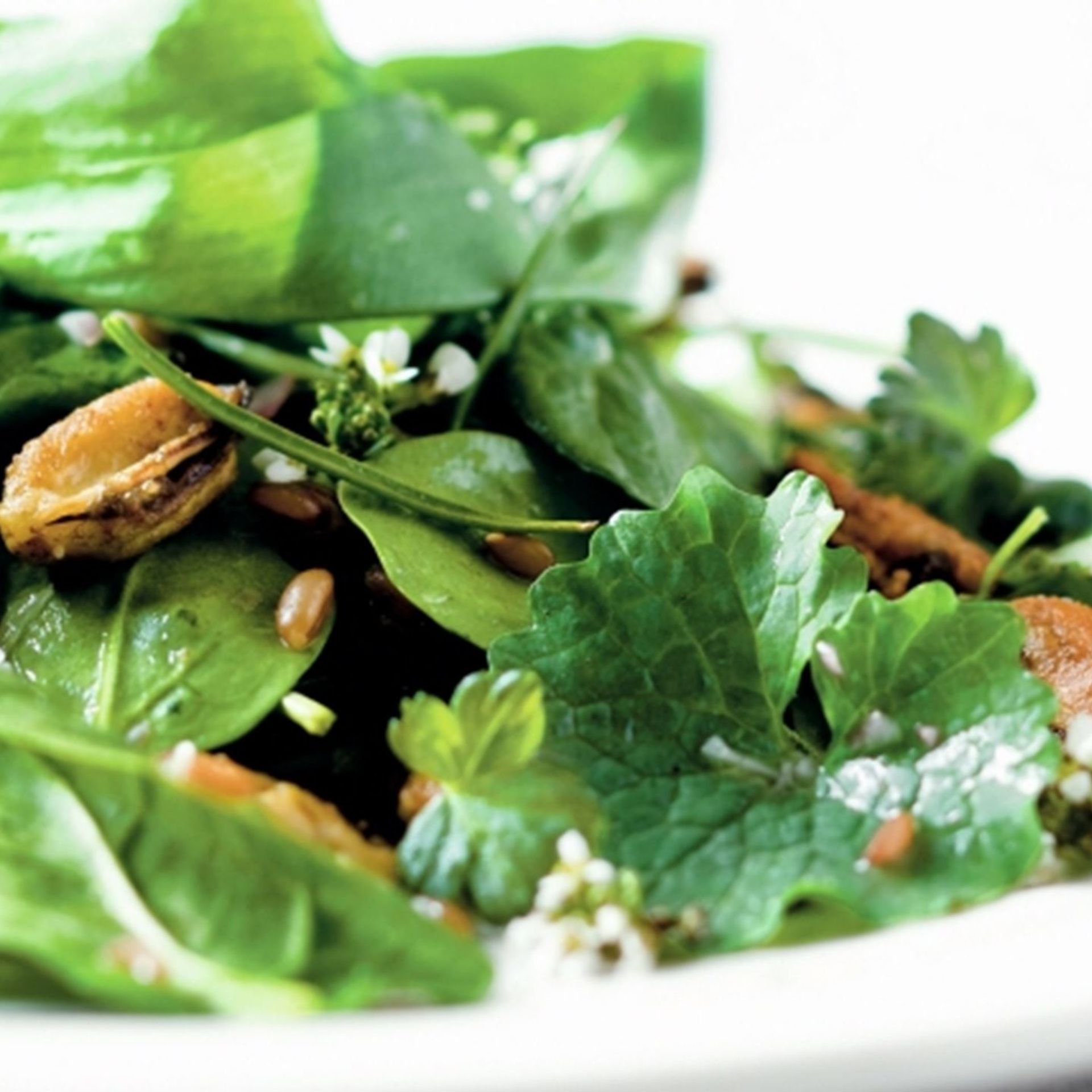 Salat med muslinger, korn og strandurter