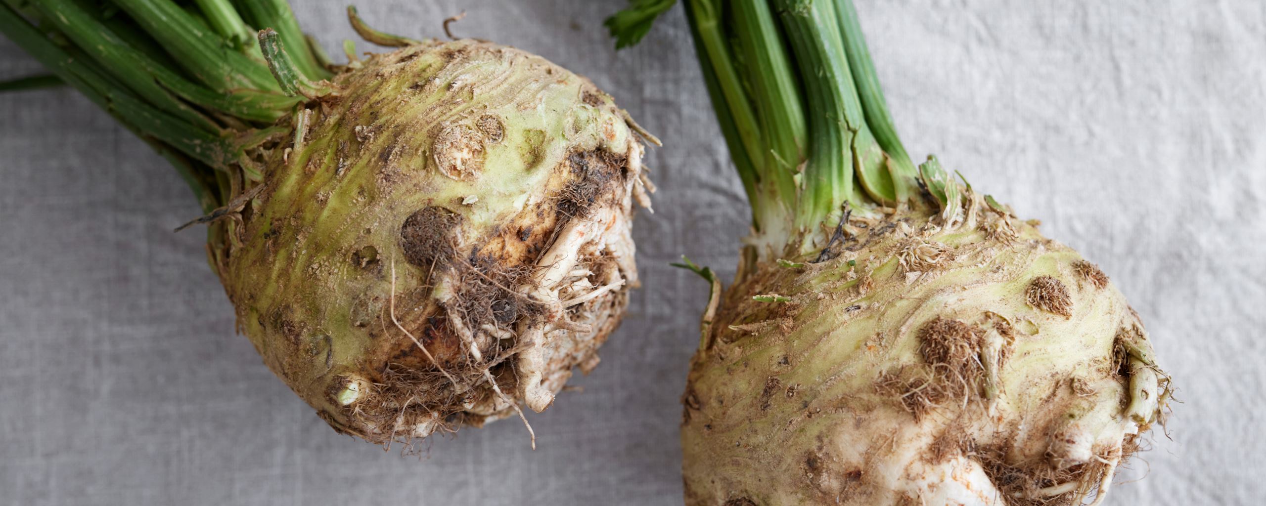 Saltbagt selleri med sprøde æbler, østershatte og estragon​​​​‌﻿‍﻿​‍​‍‌‍﻿﻿‌﻿​‍‌‍‍‌‌‍‌﻿‌‍‍‌‌‍﻿‍​‍​‍​﻿‍‍​‍​‍‌﻿​﻿‌‍​‌‌‍﻿‍‌‍‍‌‌﻿‌​‌﻿‍‌​‍﻿‍‌‍‍‌‌‍﻿﻿​‍​‍​‍﻿​​‍​‍‌‍‍​‌﻿​‍‌‍‌‌‌‍‌‍​‍​‍​﻿‍‍​‍​‍‌‍‍​‌﻿‌​‌﻿‌​‌﻿​​​﻿‍‍​‍﻿﻿​‍﻿﻿‌‍﻿​‌‍﻿﻿‌‍​﻿‌‍​‌‌‍﻿​‌‍‍​‌‍﻿﻿‌﻿​﻿‌﻿‌​​﻿‍‍​﻿​﻿​﻿​﻿​﻿​﻿​﻿​﻿​‍﻿﻿‌‍‍‌‌‍﻿‍‌﻿‌​‌‍‌‌‌‍﻿‍‌﻿‌​​‍﻿﻿‌‍‌‌‌‍‌​‌‍‍‌‌﻿‌​​‍﻿﻿‌‍﻿‌‌‍﻿﻿‌‍‌​‌‍‌‌​﻿﻿‌‌﻿​​‌﻿​‍‌‍‌‌‌﻿​﻿‌‍‌‌‌‍﻿‍‌﻿‌​‌‍​‌‌﻿‌​‌‍‍‌‌‍﻿﻿‌‍﻿‍​﻿‍﻿‌‍‍‌‌‍‌​​﻿﻿‌‌‍‌‌​﻿​​‌‍‌‍​﻿‍‌​﻿​﻿​﻿‍​​﻿​‍‌‍​‍​‍﻿‌​﻿​​​﻿​​‌‍​﻿‌‍​‍​‍﻿‌​﻿‌‌‌‍‌‌‌‍‌‍​﻿‌​​‍﻿‌​﻿‍‌‌‍‌‌‌‍‌​​﻿‌‌​‍﻿‌​﻿‌‌‌‍‌‍​﻿​‍‌‍‌‍​﻿​​​﻿‌﻿​﻿‍‌​﻿​​​﻿​‌‌‍‌‍‌‍​﻿​﻿‌﻿​﻿‍﻿‌﻿‌​‌﻿‍‌‌﻿​​‌‍‌‌​﻿﻿‌‌﻿​‍‌‍‌‌‌‍​﻿‌‍‍‌‌﻿​​‌‍‌‌​﻿‍﻿‌﻿​​‌‍​‌‌﻿‌​‌‍‍​​﻿﻿‌‌‍‍‌‌‍﻿‌‌‍​‌‌‍‌﻿‌‍‌‌​‍﻿‍‌‍​‌‌‍﻿​‌﻿‌​​﻿﻿﻿‌‍​‍‌‍​‌‌﻿​﻿‌‍‌‌‌‌‌‌‌﻿​‍‌‍﻿​​﻿﻿‌‌‍‍​‌﻿‌​‌﻿‌​‌﻿​​​‍‌‌​﻿​﻿‌​​‌​‍‌‌​﻿​‍‌​‌‍​‍‌‌​﻿​‍‌​‌‍‌‍﻿​‌‍﻿﻿‌‍​﻿‌‍​‌‌‍﻿​‌‍‍​‌‍﻿﻿‌﻿​﻿‌﻿‌​​‍‌‌​﻿​﻿‌​​‌​﻿​﻿​﻿​﻿​﻿​﻿​﻿​﻿​‍‌‍‌‍‍‌‌‍‌​​﻿﻿‌‌‍‌‌​﻿​​‌‍‌‍​﻿‍‌​﻿​﻿​﻿‍​​﻿​‍‌‍​‍​‍﻿‌​﻿​​​﻿​​‌‍​﻿‌‍​‍​‍﻿‌​﻿‌‌‌‍‌‌‌‍‌‍​﻿‌​​‍﻿‌​﻿‍‌‌‍‌‌‌‍‌​​﻿‌‌​‍﻿‌​﻿‌‌‌‍‌‍​﻿​‍‌‍‌‍​﻿​​​﻿‌﻿​﻿‍‌​﻿​​​﻿​‌‌‍‌‍‌‍​﻿​﻿‌﻿​‍‌‍‌﻿‌​‌﻿‍‌‌﻿​​‌‍‌‌​﻿﻿‌‌﻿​‍‌‍‌‌‌‍​﻿‌‍‍‌‌﻿​​‌‍‌‌​‍‌‍‌﻿​​‌‍​‌‌﻿‌​‌‍‍​​﻿﻿‌‌‍‍‌‌‍﻿‌‌‍​‌‌‍‌﻿‌‍‌‌​‍﻿‍‌‍​‌‌‍﻿​‌﻿‌​​‍‌‍‌﻿​​‌‍‌‌‌﻿​‍‌﻿​﻿‌﻿​​‌‍‌‌‌‍​﻿‌﻿‌​‌‍‍‌‌﻿‌‍‌‍‌‌​﻿﻿‌‌﻿​​‌﻿‌‌‌‍​‍‌‍﻿​‌‍‍‌‌﻿​﻿‌‍‍​‌‍‌‌‌‍‌​​‍​‍‌﻿﻿‌