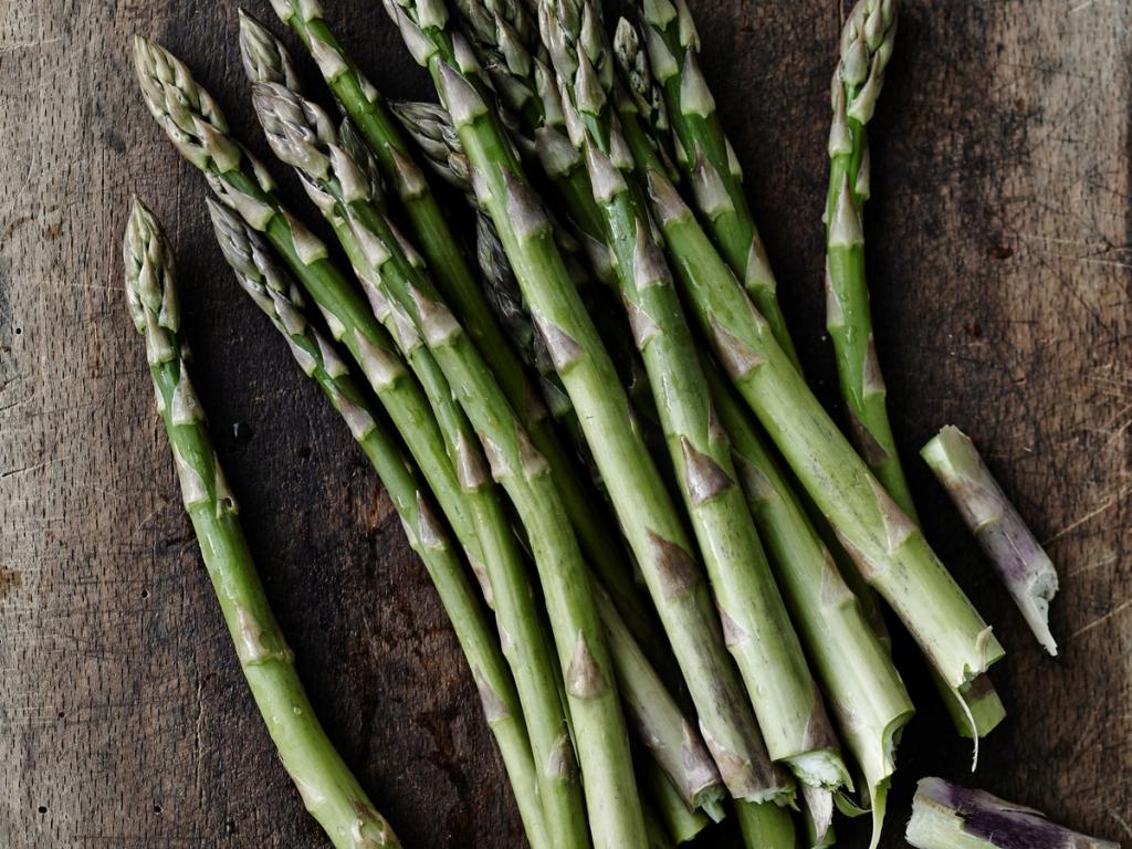 Løgismose-overskud skal omsættes til ekspansion, og et enklere og styrket Meyers skal vokse