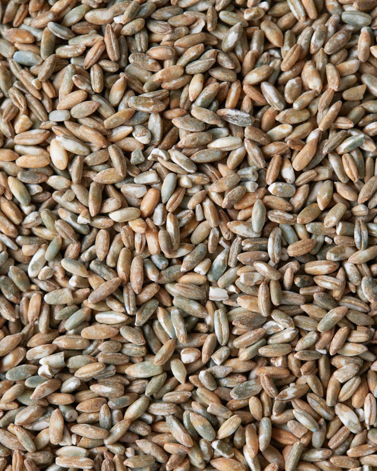 Rug​​​​‌﻿‍﻿​‍​‍‌‍﻿﻿‌﻿​‍‌‍‍‌‌‍‌﻿‌‍‍‌‌‍﻿‍​‍​‍​﻿‍‍​‍​‍‌﻿​﻿‌‍​‌‌‍﻿‍‌‍‍‌‌﻿‌​‌﻿‍‌​‍﻿‍‌‍‍‌‌‍﻿﻿​‍​‍​‍﻿​​‍​‍‌‍‍​‌﻿​‍‌‍‌‌‌‍‌‍​‍​‍​﻿‍‍​‍​‍‌‍‍​‌﻿‌​‌﻿‌​‌﻿​​​﻿‍‍​‍﻿﻿​‍﻿﻿‌‍﻿​‌‍﻿﻿‌‍​﻿‌‍​‌‌‍﻿​‌‍‍​‌‍﻿﻿‌﻿​﻿‌﻿‌​​﻿‍‍​﻿​﻿​﻿​﻿​﻿​﻿​﻿​﻿​‍﻿﻿‌‍‍‌‌‍﻿‍‌﻿‌​‌‍‌‌‌‍﻿‍‌﻿‌​​‍﻿﻿‌‍‌‌‌‍‌​‌‍‍‌‌﻿‌​​‍﻿﻿‌‍﻿‌‌‍﻿﻿‌‍‌​‌‍‌‌​﻿﻿‌‌﻿​​‌﻿​‍‌‍‌‌‌﻿​﻿‌‍‌‌‌‍﻿‍‌﻿‌​‌‍​‌‌﻿‌​‌‍‍‌‌‍﻿﻿‌‍﻿‍​﻿‍﻿‌‍‍‌‌‍‌​​﻿﻿‌​﻿​‌​﻿​​​﻿‍‌‌‍‌‌​﻿​‌‌‍‌​​﻿​‌​﻿​‍​‍﻿‌‌‍​‌​﻿‍​​﻿‌‍​﻿​​​‍﻿‌​﻿‌​‌‍‌‌​﻿‍‌​﻿‌​​‍﻿‌‌‍​‍​﻿‌﻿‌‍‌‍‌‍​﻿​‍﻿‌‌‍​﻿‌‍​﻿​﻿‌‍​﻿‍‌​﻿​‌​﻿‌​‌‍​﻿​﻿​​​﻿‌‌‌‍‌‌​﻿​‌​﻿‌﻿​﻿‍﻿‌﻿‌​‌﻿‍‌‌﻿​​‌‍‌‌​﻿﻿‌‌‍​‌‌﻿​‍‌﻿‌​‌‍‍‌‌‍​﻿‌‍﻿​‌‍‌‌​﻿‍﻿‌﻿​​‌‍​‌‌﻿‌​‌‍‍​​﻿﻿‌‌﻿​​‌‍﻿﻿‌﻿​‍‌﻿‌​‌‍​‌‌‍​‍‌‍﻿​‌‍‌‌‌﻿‌​‌‍‌‌‌﻿‍​‌﻿‌​​‍‌‌​﻿‌‌‌​​‍‌‌﻿﻿‌‍‍﻿‌‍‌‌‌﻿‍‌​‍‌‌​﻿​﻿‌​‌​​‍‌‌​﻿​﻿‌​‌​​‍‌‌​﻿​‍​﻿​‍​﻿​​​﻿​‌​﻿‌‍​﻿​‍‌‍‌‌‌‍​‌‌‍‌‍​﻿‍‌​‍‌‌​﻿​‍​﻿​‍​‍‌‌​﻿‌‌‌​‌​​‍﻿‍‌﻿​﻿‌‍﻿​‌‍‍‌‌‍‌​‌‍‌‌‌﻿​﻿​‍‌‌​﻿‌‌‌​​‍‌‌﻿﻿‌‍‍﻿‌‍‌‌‌﻿‍‌​‍‌‌​﻿​﻿‌​‌​​‍‌‌​﻿​﻿‌​‌​​‍‌‌​﻿​‍​﻿​‍​﻿‌‍‌‍‌​​﻿‌‌​﻿​‍​﻿​‍‌‍​‍​﻿‌‌​﻿‌‍​‍‌‌​﻿​‍​﻿​‍​‍‌‌​﻿‌‌‌​‌​​‍﻿‍‌‍‍‌‌‍﻿‌‌‍​‌‌‍‌﻿‌‍‌‌​‍﻿‍‌‍​‌‌‍﻿​‌﻿‌​​﻿﻿﻿‌‍​‍‌‍​‌‌﻿​﻿‌‍‌‌‌‌‌‌‌﻿​‍‌‍﻿​​﻿﻿‌‌‍‍​‌﻿‌​‌﻿‌​‌﻿​​​‍‌‌​﻿​﻿‌​​‌​‍‌‌​﻿​‍‌​‌‍​‍‌‌​﻿​‍‌​‌‍‌‍﻿​‌‍﻿﻿‌‍​﻿‌‍​‌‌‍﻿​‌‍‍​‌‍﻿﻿‌﻿​﻿‌﻿‌​​‍‌‌​﻿​﻿‌​​‌​﻿​﻿​﻿​﻿​﻿​﻿​﻿​﻿​‍‌‍‌‍‍‌‌‍‌​​﻿﻿‌​﻿​‌​﻿​​​﻿‍‌‌‍‌‌​﻿​‌‌‍‌​​﻿​‌​﻿​‍​‍﻿‌‌‍​‌​﻿‍​​﻿‌‍​﻿​​​‍﻿‌​﻿‌​‌‍‌‌​﻿‍‌​﻿‌​​‍﻿‌‌‍​‍​﻿‌﻿‌‍‌‍‌‍​﻿​‍﻿‌‌‍​﻿‌‍​﻿​﻿‌‍​﻿‍‌​﻿​‌​﻿‌​‌‍​﻿​﻿​​​﻿‌‌‌‍‌‌​﻿​‌​﻿‌﻿​‍‌‍‌﻿‌​‌﻿‍‌‌﻿​​‌‍‌‌​﻿﻿‌‌‍​‌‌﻿​‍‌﻿‌​‌‍‍‌‌‍​﻿‌‍﻿​‌‍‌‌​‍‌‍‌﻿​​‌‍​‌‌﻿‌​‌‍‍​​﻿﻿‌‌﻿​​‌‍﻿﻿‌﻿​‍‌﻿‌​‌‍​‌‌‍​‍‌‍﻿​‌‍‌‌‌﻿‌​‌‍‌‌‌﻿‍​‌﻿‌​​‍‌‌​﻿‌‌‌​​‍‌‌﻿﻿‌‍‍﻿‌‍‌‌‌﻿‍‌​‍‌‌​﻿​﻿‌​‌​​‍‌‌​﻿​﻿‌​‌​​‍‌‌​﻿​‍​﻿​‍​﻿​​​﻿​‌​﻿‌‍​﻿​‍‌‍‌‌‌‍​‌‌‍‌‍​﻿‍‌​‍‌‌​﻿​‍​﻿​‍​‍‌‌​﻿‌‌‌​‌​​‍﻿‍‌﻿​﻿‌‍﻿​‌‍‍‌‌‍‌​‌‍‌‌‌﻿​﻿​‍‌‌​﻿‌‌‌​​‍‌‌﻿﻿‌‍‍﻿‌‍‌‌‌﻿‍‌​‍‌‌​﻿​﻿‌​‌​​‍‌‌​﻿​﻿‌​‌​​‍‌‌​﻿​‍​﻿​‍​﻿‌‍‌‍‌​​﻿‌‌​﻿​‍​﻿​‍‌‍​‍​﻿‌‌​﻿‌‍​‍‌‌​﻿​‍​﻿​‍​‍‌‌​﻿‌‌‌​‌​​‍﻿‍‌‍‍‌‌‍﻿‌‌‍​‌‌‍‌﻿‌‍‌‌​‍﻿‍‌‍​‌‌‍﻿​‌﻿‌​​‍‌‍‌﻿​​‌‍‌‌‌﻿​‍‌﻿​﻿‌﻿​​‌‍‌‌‌‍​﻿‌﻿‌​‌‍‍‌‌﻿‌‍‌‍‌‌​﻿﻿‌‌﻿​​‌﻿‌‌‌‍​‍‌‍﻿​‌‍‍‌‌﻿​﻿‌‍‍​‌‍‌‌‌‍‌​​‍​‍‌﻿﻿‌