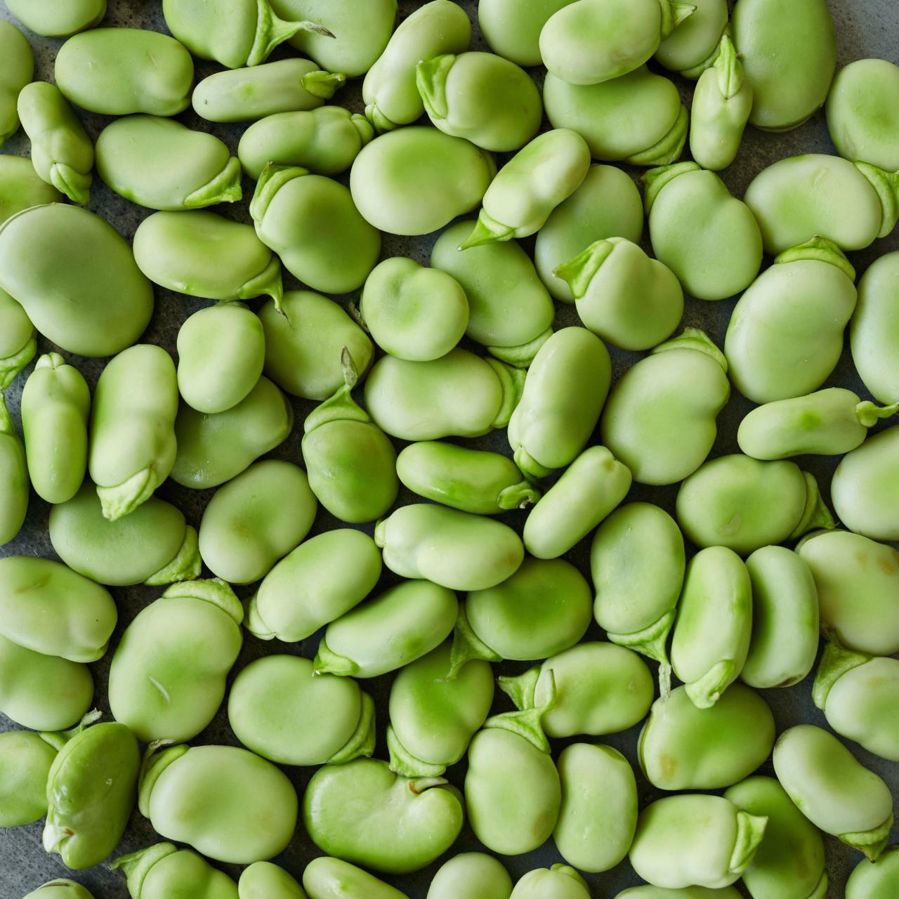 Bønnernes historie​​​​‌﻿‍﻿​‍​‍‌‍﻿﻿‌﻿​‍‌‍‍‌‌‍‌﻿‌‍‍‌‌‍﻿‍​‍​‍​﻿‍‍​‍​‍‌﻿​﻿‌‍​‌‌‍﻿‍‌‍‍‌‌﻿‌​‌﻿‍‌​‍﻿‍‌‍‍‌‌‍﻿﻿​‍​‍​‍﻿​​‍​‍‌‍‍​‌﻿​‍‌‍‌‌‌‍‌‍​‍​‍​﻿‍‍​‍​‍‌‍‍​‌﻿‌​‌﻿‌​‌﻿​​​﻿‍‍​‍﻿﻿​‍﻿﻿‌‍﻿​‌‍﻿﻿‌‍​﻿‌‍​‌‌‍﻿​‌‍‍​‌‍﻿﻿‌﻿​﻿‌﻿‌​​﻿‍‍​﻿​﻿​﻿​﻿​﻿​﻿​﻿​﻿​‍﻿﻿‌‍‍‌‌‍﻿‍‌﻿‌​‌‍‌‌‌‍﻿‍‌﻿‌​​‍﻿﻿‌‍‌‌‌‍‌​‌‍‍‌‌﻿‌​​‍﻿﻿‌‍﻿‌‌‍﻿﻿‌‍‌​‌‍‌‌​﻿﻿‌‌﻿​​‌﻿​‍‌‍‌‌‌﻿​﻿‌‍‌‌‌‍﻿‍‌﻿‌​‌‍​‌‌﻿‌​‌‍‍‌‌‍﻿﻿‌‍﻿‍​﻿‍﻿‌‍‍‌‌‍‌​​﻿﻿‌​﻿​‍‌‍​﻿​﻿‌‍​﻿‌‍‌‍​﻿​﻿​﻿​﻿​​‌‍‌​​‍﻿‌​﻿‍‌‌‍‌‍​﻿‍‌‌‍​‌​‍﻿‌​﻿‌​​﻿‌‌​﻿​‍‌‍‌​​‍﻿‌‌‍​‍​﻿‌​​﻿‌‌​﻿‌‌​‍﻿‌​﻿​​​﻿‌‌​﻿‌​‌‍​‍​﻿​‌​﻿​​​﻿‍​​﻿​‍​﻿‍​​﻿‌‌​﻿‌‌​﻿‍​​﻿‍﻿‌﻿‌​‌﻿‍‌‌﻿​​‌‍‌‌​﻿﻿‌‌‍​‌‌﻿​‍‌﻿‌​‌‍‍‌‌‍​﻿‌‍﻿​‌‍‌‌​﻿‍﻿‌﻿​​‌‍​‌‌﻿‌​‌‍‍​​﻿﻿‌‌﻿​​‌‍﻿﻿‌﻿​‍‌﻿‌​‌‍​‌‌‍​‍‌‍﻿​‌‍‌‌‌﻿‌​‌‍‌‌‌﻿‍​‌﻿‌​​‍‌‌​﻿‌‌‌​​‍‌‌﻿﻿‌‍‍﻿‌‍‌‌‌﻿‍‌​‍‌‌​﻿​﻿‌​‌​​‍‌‌​﻿​﻿‌​‌​​‍‌‌​﻿​‍​﻿​‍‌‍​﻿‌‍‌‌​﻿‌‍​﻿‍‌​﻿​‌‌‍‌‌‌‍‌‍‌‍‌‍​‍‌‌​﻿​‍​﻿​‍​‍‌‌​﻿‌‌‌​‌​​‍﻿‍‌﻿​﻿‌‍﻿​‌‍‍‌‌‍‌​‌‍‌‌‌﻿​﻿​‍‌‌​﻿‌‌‌​​‍‌‌﻿﻿‌‍‍﻿‌‍‌‌‌﻿‍‌​‍‌‌​﻿​﻿‌​‌​​‍‌‌​﻿​﻿‌​‌​​‍‌‌​﻿​‍​﻿​‍​﻿‌﻿​﻿‍​​﻿​‍​﻿‍​‌‍‌‌​﻿​﻿‌‍​‌​﻿‌‌​‍‌‌​﻿​‍​﻿​‍​‍‌‌​﻿‌‌‌​‌​​‍﻿‍‌‍‍‌‌‍﻿‌‌‍​‌‌‍‌﻿‌‍‌‌​‍﻿‍‌‍​‌‌‍﻿​‌﻿‌​​﻿﻿﻿‌‍​‍‌‍​‌‌﻿​﻿‌‍‌‌‌‌‌‌‌﻿​‍‌‍﻿​​﻿﻿‌‌‍‍​‌﻿‌​‌﻿‌​‌﻿​​​‍‌‌​﻿​﻿‌​​‌​‍‌‌​﻿​‍‌​‌‍​‍‌‌​﻿​‍‌​‌‍‌‍﻿​‌‍﻿﻿‌‍​﻿‌‍​‌‌‍﻿​‌‍‍​‌‍﻿﻿‌﻿​﻿‌﻿‌​​‍‌‌​﻿​﻿‌​​‌​﻿​﻿​﻿​﻿​﻿​﻿​﻿​﻿​‍‌‍‌‍‍‌‌‍‌​​﻿﻿‌​﻿​‍‌‍​﻿​﻿‌‍​﻿‌‍‌‍​﻿​﻿​﻿​﻿​​‌‍‌​​‍﻿‌​﻿‍‌‌‍‌‍​﻿‍‌‌‍​‌​‍﻿‌​﻿‌​​﻿‌‌​﻿​‍‌‍‌​​‍﻿‌‌‍​‍​﻿‌​​﻿‌‌​﻿‌‌​‍﻿‌​﻿​​​﻿‌‌​﻿‌​‌‍​‍​﻿​‌​﻿​​​﻿‍​​﻿​‍​﻿‍​​﻿‌‌​﻿‌‌​﻿‍​​‍‌‍‌﻿‌​‌﻿‍‌‌﻿​​‌‍‌‌​﻿﻿‌‌‍​‌‌﻿​‍‌﻿‌​‌‍‍‌‌‍​﻿‌‍﻿​‌‍‌‌​‍‌‍‌﻿​​‌‍​‌‌﻿‌​‌‍‍​​﻿﻿‌‌﻿​​‌‍﻿﻿‌﻿​‍‌﻿‌​‌‍​‌‌‍​‍‌‍﻿​‌‍‌‌‌﻿‌​‌‍‌‌‌﻿‍​‌﻿‌​​‍‌‌​﻿‌‌‌​​‍‌‌﻿﻿‌‍‍﻿‌‍‌‌‌﻿‍‌​‍‌‌​﻿​﻿‌​‌​​‍‌‌​﻿​﻿‌​‌​​‍‌‌​﻿​‍​﻿​‍‌‍​﻿‌‍‌‌​﻿‌‍​﻿‍‌​﻿​‌‌‍‌‌‌‍‌‍‌‍‌‍​‍‌‌​﻿​‍​﻿​‍​‍‌‌​﻿‌‌‌​‌​​‍﻿‍‌﻿​﻿‌‍﻿​‌‍‍‌‌‍‌​‌‍‌‌‌﻿​﻿​‍‌‌​﻿‌‌‌​​‍‌‌﻿﻿‌‍‍﻿‌‍‌‌‌﻿‍‌​‍‌‌​﻿​﻿‌​‌​​‍‌‌​﻿​﻿‌​‌​​‍‌‌​﻿​‍​﻿​‍​﻿‌﻿​﻿‍​​﻿​‍​﻿‍​‌‍‌‌​﻿​﻿‌‍​‌​﻿‌‌​‍‌‌​﻿​‍​﻿​‍​‍‌‌​﻿‌‌‌​‌​​‍﻿‍‌‍‍‌‌‍﻿‌‌‍​‌‌‍‌﻿‌‍‌‌​‍﻿‍‌‍​‌‌‍﻿​‌﻿‌​​‍‌‍‌﻿​​‌‍‌‌‌﻿​‍‌﻿​﻿‌﻿​​‌‍‌‌‌‍​﻿‌﻿‌​‌‍‍‌‌﻿‌‍‌‍‌‌​﻿﻿‌‌﻿​​‌﻿‌‌‌‍​‍‌‍﻿​‌‍‍‌‌﻿​﻿‌‍‍​‌‍‌‌‌‍‌​​‍​‍‌﻿﻿‌