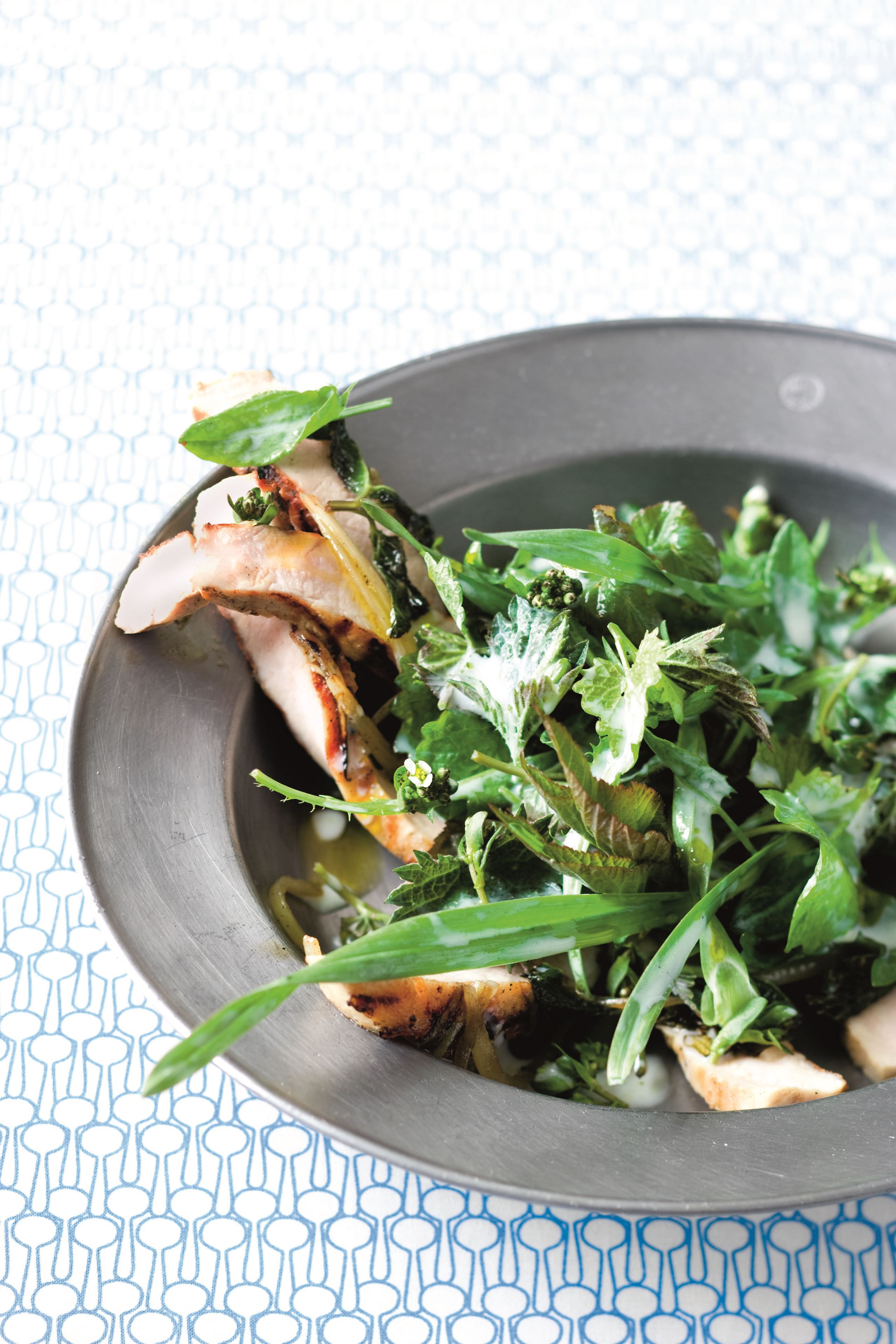 Grillet gris og vilde urter med kærnemælksdressing​​​​‌﻿‍﻿​‍​‍‌‍﻿﻿‌﻿​‍‌‍‍‌‌‍‌﻿‌‍‍‌‌‍﻿‍​‍​‍​﻿‍‍​‍​‍‌﻿​﻿‌‍​‌‌‍﻿‍‌‍‍‌‌﻿‌​‌﻿‍‌​‍﻿‍‌‍‍‌‌‍﻿﻿​‍​‍​‍﻿​​‍​‍‌‍‍​‌﻿​‍‌‍‌‌‌‍‌‍​‍​‍​﻿‍‍​‍​‍‌‍‍​‌﻿‌​‌﻿‌​‌﻿​​​﻿‍‍​‍﻿﻿​‍﻿﻿‌‍﻿​‌‍﻿﻿‌‍​﻿‌‍​‌‌‍﻿​‌‍‍​‌‍﻿﻿‌﻿​﻿‌﻿‌​​﻿‍‍​﻿​﻿​﻿​﻿​﻿​﻿​﻿​﻿​‍﻿﻿‌‍‍‌‌‍﻿‍‌﻿‌​‌‍‌‌‌‍﻿‍‌﻿‌​​‍﻿﻿‌‍‌‌‌‍‌​‌‍‍‌‌﻿‌​​‍﻿﻿‌‍﻿‌‌‍﻿﻿‌‍‌​‌‍‌‌​﻿﻿‌‌﻿​​‌﻿​‍‌‍‌‌‌﻿​﻿‌‍‌‌‌‍﻿‍‌﻿‌​‌‍​‌‌﻿‌​‌‍‍‌‌‍﻿﻿‌‍﻿‍​﻿‍﻿‌‍‍‌‌‍‌​​﻿﻿‌​﻿‍‌​﻿​‌​﻿‍​‌‍​‌​﻿‍​‌‍​﻿​﻿‌​‌‍‌​​‍﻿‌‌‍​‍‌‍‌‌​﻿‌﻿​﻿​﻿​‍﻿‌​﻿‌​‌‍‌​‌‍​‌​﻿​‍​‍﻿‌‌‍​‌​﻿​‌​﻿‌‌​﻿‌‌​‍﻿‌‌‍‌‌‌‍​‌​﻿‌‍​﻿​​‌‍​‍‌‍​﻿​﻿​﻿​﻿​‌‌‍​‌‌‍‌‌​﻿‍‌​﻿​‌​﻿‍﻿‌﻿‌​‌﻿‍‌‌﻿​​‌‍‌‌​﻿﻿‌‌‍​‌‌﻿​‍‌﻿‌​‌‍‍‌‌‍​﻿‌‍﻿​‌‍‌‌​﻿‍﻿‌﻿​​‌‍​‌‌﻿‌​‌‍‍​​﻿﻿‌‌﻿​​‌‍﻿﻿‌﻿​‍‌﻿‌​‌‍​‌‌‍​‍‌‍﻿​‌‍‌‌‌﻿‌​‌‍‌‌‌﻿‍​‌﻿‌​​‍‌‌​﻿‌‌‌​​‍‌‌﻿﻿‌‍‍﻿‌‍‌‌‌﻿‍‌​‍‌‌​﻿​﻿‌​‌​​‍‌‌​﻿​﻿‌​‌​​‍‌‌​﻿​‍​﻿​‍​﻿‌﻿‌‍​‍​﻿​‌‌‍​﻿​﻿​​‌‍‌‍​﻿​‍‌‍‌‌​‍‌‌​﻿​‍​﻿​‍​‍‌‌​﻿‌‌‌​‌​​‍﻿‍‌‍​﻿‌‍​‌‌﻿​‍‌‍‌​‌﻿​﻿​‍‌‌​﻿‌‌‌​​‍‌‌﻿﻿‌‍‍﻿‌‍‌‌‌﻿‍‌​‍‌‌​﻿​﻿‌​‌​​‍‌‌​﻿​﻿‌​‌​​‍‌‌​﻿​‍​﻿​‍‌‍‌​​﻿​‍​﻿‌‍​﻿‍‌​﻿‍​‌‍‌‌‌‍​﻿‌‍‌‌​‍‌‌​﻿​‍​﻿​‍​‍‌‌​﻿‌‌‌​‌​​‍﻿‍‌‍‍‌‌‍﻿‌‌‍​‌‌‍‌﻿‌‍‌‌​‍﻿‍‌‍​‌‌‍﻿​‌﻿‌​​﻿﻿﻿‌‍​‍‌‍​‌‌﻿​﻿‌‍‌‌‌‌‌‌‌﻿​‍‌‍﻿​​﻿﻿‌‌‍‍​‌﻿‌​‌﻿‌​‌﻿​​​‍‌‌​﻿​﻿‌​​‌​‍‌‌​﻿​‍‌​‌‍​‍‌‌​﻿​‍‌​‌‍‌‍﻿​‌‍﻿﻿‌‍​﻿‌‍​‌‌‍﻿​‌‍‍​‌‍﻿﻿‌﻿​﻿‌﻿‌​​‍‌‌​﻿​﻿‌​​‌​﻿​﻿​﻿​﻿​﻿​﻿​﻿​﻿​‍‌‍‌‍‍‌‌‍‌​​﻿﻿‌​﻿‍‌​﻿​‌​﻿‍​‌‍​‌​﻿‍​‌‍​﻿​﻿‌​‌‍‌​​‍﻿‌‌‍​‍‌‍‌‌​﻿‌﻿​﻿​﻿​‍﻿‌​﻿‌​‌‍‌​‌‍​‌​﻿​‍​‍﻿‌‌‍​‌​﻿​‌​﻿‌‌​﻿‌‌​‍﻿‌‌‍‌‌‌‍​‌​﻿‌‍​﻿​​‌‍​‍‌‍​﻿​﻿​﻿​﻿​‌‌‍​‌‌‍‌‌​﻿‍‌​﻿​‌​‍‌‍‌﻿‌​‌﻿‍‌‌﻿​​‌‍‌‌​﻿﻿‌‌‍​‌‌﻿​‍‌﻿‌​‌‍‍‌‌‍​﻿‌‍﻿​‌‍‌‌​‍‌‍‌﻿​​‌‍​‌‌﻿‌​‌‍‍​​﻿﻿‌‌﻿​​‌‍﻿﻿‌﻿​‍‌﻿‌​‌‍​‌‌‍​‍‌‍﻿​‌‍‌‌‌﻿‌​‌‍‌‌‌﻿‍​‌﻿‌​​‍‌‌​﻿‌‌‌​​‍‌‌﻿﻿‌‍‍﻿‌‍‌‌‌﻿‍‌​‍‌‌​﻿​﻿‌​‌​​‍‌‌​﻿​﻿‌​‌​​‍‌‌​﻿​‍​﻿​‍​﻿‌﻿‌‍​‍​﻿​‌‌‍​﻿​﻿​​‌‍‌‍​﻿​‍‌‍‌‌​‍‌‌​﻿​‍​﻿​‍​‍‌‌​﻿‌‌‌​‌​​‍﻿‍‌‍​﻿‌‍​‌‌﻿​‍‌‍‌​‌﻿​﻿​‍‌‌​﻿‌‌‌​​‍‌‌﻿﻿‌‍‍﻿‌‍‌‌‌﻿‍‌​‍‌‌​﻿​﻿‌​‌​​‍‌‌​﻿​﻿‌​‌​​‍‌‌​﻿​‍​﻿​‍‌‍‌​​﻿​‍​﻿‌‍​﻿‍‌​﻿‍​‌‍‌‌‌‍​﻿‌‍‌‌​‍‌‌​﻿​‍​﻿​‍​‍‌‌​﻿‌‌‌​‌​​‍﻿‍‌‍‍‌‌‍﻿‌‌‍​‌‌‍‌﻿‌‍‌‌​‍﻿‍‌‍​‌‌‍﻿​‌﻿‌​​‍‌‍‌﻿​​‌‍‌‌‌﻿​‍‌﻿​﻿‌﻿​​‌‍‌‌‌‍​﻿‌﻿‌​‌‍‍‌‌﻿‌‍‌‍‌‌​﻿﻿‌‌﻿​​‌﻿‌‌‌‍​‍‌‍﻿​‌‍‍‌‌﻿​﻿‌‍‍​‌‍‌‌‌‍‌​​‍​‍‌﻿﻿‌