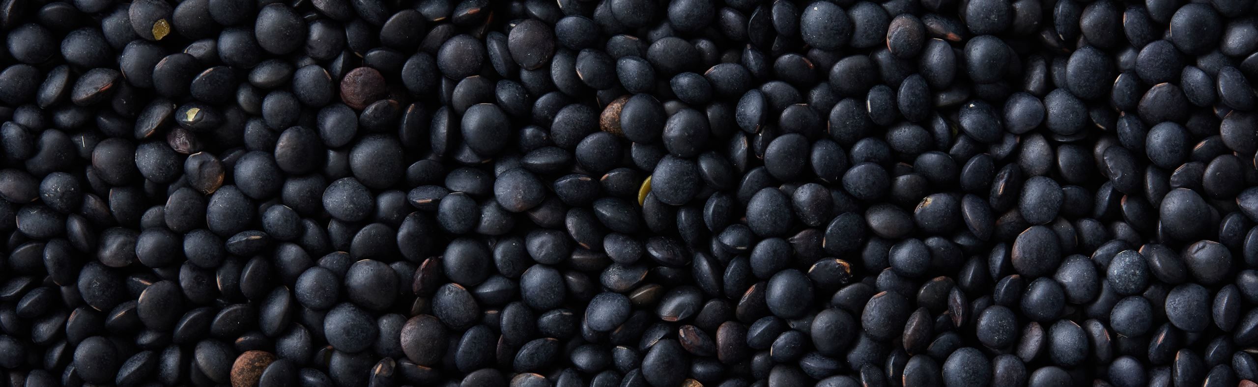 Belugalinser​​​​‌﻿‍﻿​‍​‍‌‍﻿﻿‌﻿​‍‌‍‍‌‌‍‌﻿‌‍‍‌‌‍﻿‍​‍​‍​﻿‍‍​‍​‍‌﻿​﻿‌‍​‌‌‍﻿‍‌‍‍‌‌﻿‌​‌﻿‍‌​‍﻿‍‌‍‍‌‌‍﻿﻿​‍​‍​‍﻿​​‍​‍‌‍‍​‌﻿​‍‌‍‌‌‌‍‌‍​‍​‍​﻿‍‍​‍​‍‌‍‍​‌﻿‌​‌﻿‌​‌﻿​​​﻿‍‍​‍﻿﻿​‍﻿﻿‌‍﻿​‌‍﻿﻿‌‍​﻿‌‍​‌‌‍﻿​‌‍‍​‌‍﻿﻿‌﻿​﻿‌﻿‌​​﻿‍‍​﻿​﻿​﻿​﻿​﻿​﻿​﻿​﻿​‍﻿﻿‌‍‍‌‌‍﻿‍‌﻿‌​‌‍‌‌‌‍﻿‍‌﻿‌​​‍﻿﻿‌‍‌‌‌‍‌​‌‍‍‌‌﻿‌​​‍﻿﻿‌‍﻿‌‌‍﻿﻿‌‍‌​‌‍‌‌​﻿﻿‌‌﻿​​‌﻿​‍‌‍‌‌‌﻿​﻿‌‍‌‌‌‍﻿‍‌﻿‌​‌‍​‌‌﻿‌​‌‍‍‌‌‍﻿﻿‌‍﻿‍​﻿‍﻿‌‍‍‌‌‍‌​​﻿﻿‌​﻿‍​​﻿‍​​﻿‍‌​﻿‌﻿​﻿​‌​﻿​​‌‍‌‍‌‍‌‍​‍﻿‌‌‍‌‌​﻿​﻿​﻿​﻿‌‍​‍​‍﻿‌​﻿‌​‌‍‌‍​﻿‍‌​﻿​​​‍﻿‌​﻿‍‌‌‍‌‌​﻿​​‌‍‌​​‍﻿‌​﻿​﻿‌‍​﻿​﻿‌‌​﻿​‌​﻿‌﻿​﻿​‌​﻿​‍‌‍‌‍‌‍​﻿‌‍‌‌‌‍‌‍‌‍‌​​﻿‍﻿‌﻿‌​‌﻿‍‌‌﻿​​‌‍‌‌​﻿﻿‌‌‍​‌‌﻿​‍‌﻿‌​‌‍‍‌‌‍​﻿‌‍﻿​‌‍‌‌​﻿‍﻿‌﻿​​‌‍​‌‌﻿‌​‌‍‍​​﻿﻿‌‌﻿​​‌‍﻿﻿‌﻿​‍‌﻿‌​‌‍​‌‌‍​‍‌‍﻿​‌‍‌‌‌﻿‌​‌‍‌‌‌﻿‍​‌﻿‌​​‍‌‌​﻿‌‌‌​​‍‌‌﻿﻿‌‍‍﻿‌‍‌‌‌﻿‍‌​‍‌‌​﻿​﻿‌​‌​​‍‌‌​﻿​﻿‌​‌​​‍‌‌​﻿​‍​﻿​‍‌‍​﻿​﻿‍​‌‍​‍​﻿‌​‌‍​﻿​﻿​‍​﻿‍‌‌‍‌‍​‍‌‌​﻿​‍​﻿​‍​‍‌‌​﻿‌‌‌​‌​​‍﻿‍‌‍​﻿‌‍​‌‌﻿​‍‌‍‌​‌﻿​﻿​‍‌‌​﻿‌‌‌​​‍‌‌﻿﻿‌‍‍﻿‌‍‌‌‌﻿‍‌​‍‌‌​﻿​﻿‌​‌​​‍‌‌​﻿​﻿‌​‌​​‍‌‌​﻿​‍​﻿​‍‌‍​﻿‌‍​﻿​﻿‍​‌‍​﻿​﻿​﻿​﻿‌‍​﻿‌﻿​﻿​﻿​‍‌‌​﻿​‍​﻿​‍​‍‌‌​﻿‌‌‌​‌​​‍﻿‍‌‍‍‌‌‍﻿‌‌‍​‌‌‍‌﻿‌‍‌‌​‍﻿‍‌‍​‌‌‍﻿​‌﻿‌​​﻿﻿﻿‌‍​‍‌‍​‌‌﻿​﻿‌‍‌‌‌‌‌‌‌﻿​‍‌‍﻿​​﻿﻿‌‌‍‍​‌﻿‌​‌﻿‌​‌﻿​​​‍‌‌​﻿​﻿‌​​‌​‍‌‌​﻿​‍‌​‌‍​‍‌‌​﻿​‍‌​‌‍‌‍﻿​‌‍﻿﻿‌‍​﻿‌‍​‌‌‍﻿​‌‍‍​‌‍﻿﻿‌﻿​﻿‌﻿‌​​‍‌‌​﻿​﻿‌​​‌​﻿​﻿​﻿​﻿​﻿​﻿​﻿​﻿​‍‌‍‌‍‍‌‌‍‌​​﻿﻿‌​﻿‍​​﻿‍​​﻿‍‌​﻿‌﻿​﻿​‌​﻿​​‌‍‌‍‌‍‌‍​‍﻿‌‌‍‌‌​﻿​﻿​﻿​﻿‌‍​‍​‍﻿‌​﻿‌​‌‍‌‍​﻿‍‌​﻿​​​‍﻿‌​﻿‍‌‌‍‌‌​﻿​​‌‍‌​​‍﻿‌​﻿​﻿‌‍​﻿​﻿‌‌​﻿​‌​﻿‌﻿​﻿​‌​﻿​‍‌‍‌‍‌‍​﻿‌‍‌‌‌‍‌‍‌‍‌​​‍‌‍‌﻿‌​‌﻿‍‌‌﻿​​‌‍‌‌​﻿﻿‌‌‍​‌‌﻿​‍‌﻿‌​‌‍‍‌‌‍​﻿‌‍﻿​‌‍‌‌​‍‌‍‌﻿​​‌‍​‌‌﻿‌​‌‍‍​​﻿﻿‌‌﻿​​‌‍﻿﻿‌﻿​‍‌﻿‌​‌‍​‌‌‍​‍‌‍﻿​‌‍‌‌‌﻿‌​‌‍‌‌‌﻿‍​‌﻿‌​​‍‌‌​﻿‌‌‌​​‍‌‌﻿﻿‌‍‍﻿‌‍‌‌‌﻿‍‌​‍‌‌​﻿​﻿‌​‌​​‍‌‌​﻿​﻿‌​‌​​‍‌‌​﻿​‍​﻿​‍‌‍​﻿​﻿‍​‌‍​‍​﻿‌​‌‍​﻿​﻿​‍​﻿‍‌‌‍‌‍​‍‌‌​﻿​‍​﻿​‍​‍‌‌​﻿‌‌‌​‌​​‍﻿‍‌‍​﻿‌‍​‌‌﻿​‍‌‍‌​‌﻿​﻿​‍‌‌​﻿‌‌‌​​‍‌‌﻿﻿‌‍‍﻿‌‍‌‌‌﻿‍‌​‍‌‌​﻿​﻿‌​‌​​‍‌‌​﻿​﻿‌​‌​​‍‌‌​﻿​‍​﻿​‍‌‍​﻿‌‍​﻿​﻿‍​‌‍​﻿​﻿​﻿​﻿‌‍​﻿‌﻿​﻿​﻿​‍‌‌​﻿​‍​﻿​‍​‍‌‌​﻿‌‌‌​‌​​‍﻿‍‌‍‍‌‌‍﻿‌‌‍​‌‌‍‌﻿‌‍‌‌​‍﻿‍‌‍​‌‌‍﻿​‌﻿‌​​‍‌‍‌﻿​​‌‍‌‌‌﻿​‍‌﻿​﻿‌﻿​​‌‍‌‌‌‍​﻿‌﻿‌​‌‍‍‌‌﻿‌‍‌‍‌‌​﻿﻿‌‌﻿​​‌﻿‌‌‌‍​‍‌‍﻿​‌‍‍‌‌﻿​﻿‌‍‍​‌‍‌‌‌‍‌​​‍​‍‌﻿﻿‌