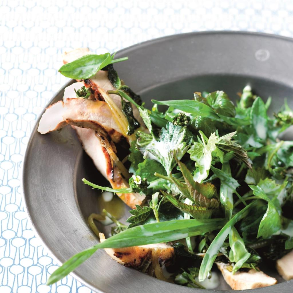 Grillet gris og vilde urter med kærnemælksdressing