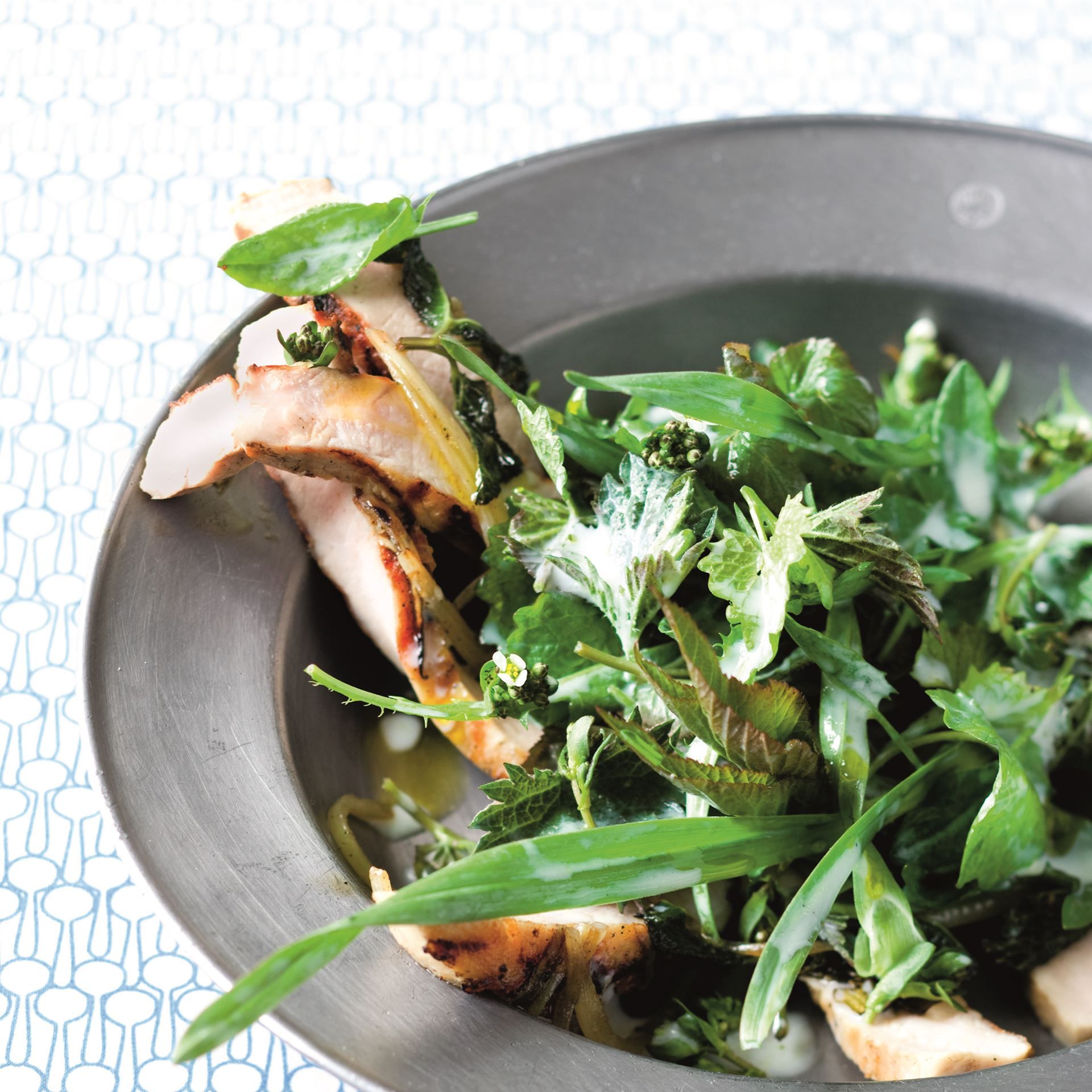 Grillet gris og vilde urter med kærnemælksdressing