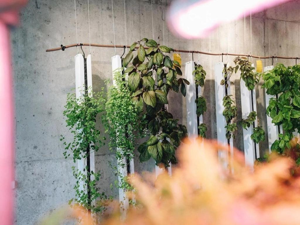 Mød en samarbejdspartner - Nabo Farm