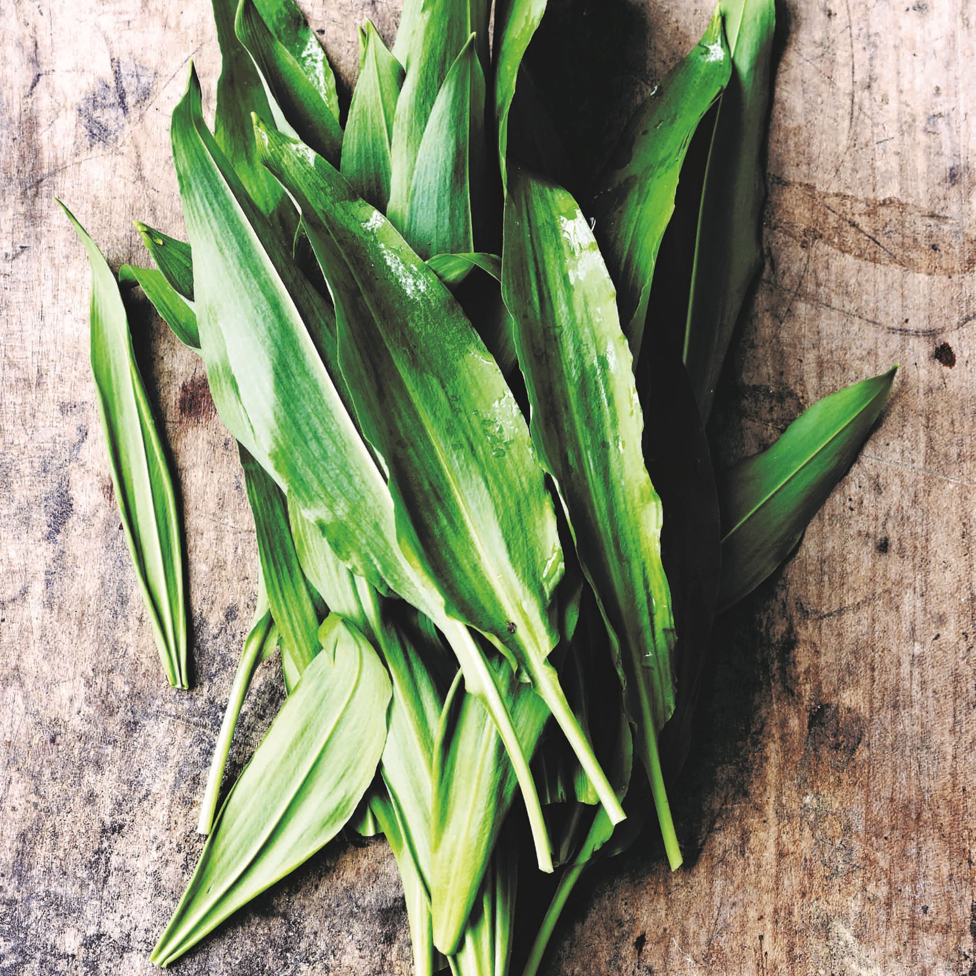 Claus Meyers' kartoffelsuppe med ramsløg og persille