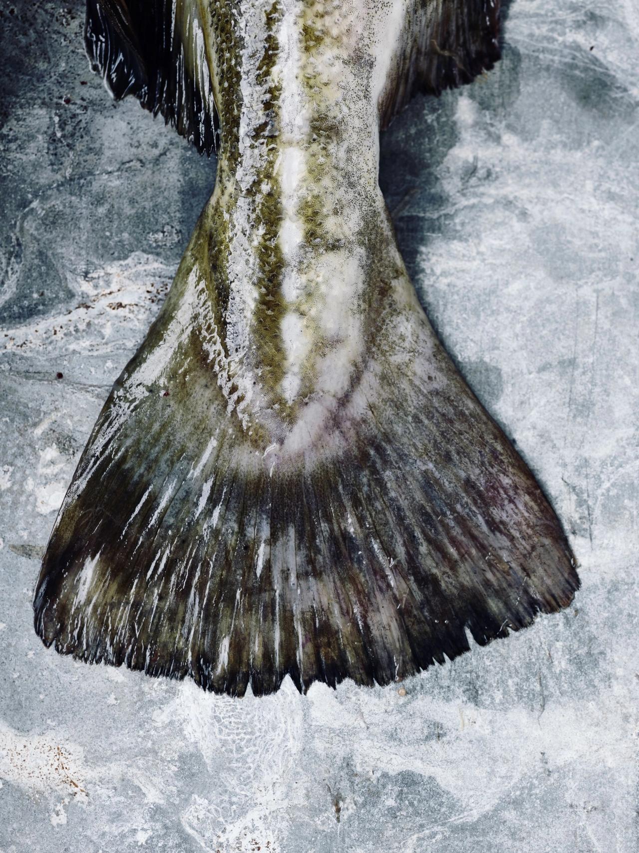 Torsk​​​​‌﻿‍﻿​‍​‍‌‍﻿﻿‌﻿​‍‌‍‍‌‌‍‌﻿‌‍‍‌‌‍﻿‍​‍​‍​﻿‍‍​‍​‍‌﻿​﻿‌‍​‌‌‍﻿‍‌‍‍‌‌﻿‌​‌﻿‍‌​‍﻿‍‌‍‍‌‌‍﻿﻿​‍​‍​‍﻿​​‍​‍‌‍‍​‌﻿​‍‌‍‌‌‌‍‌‍​‍​‍​﻿‍‍​‍​‍‌‍‍​‌﻿‌​‌﻿‌​‌﻿​​​﻿‍‍​‍﻿﻿​‍﻿﻿‌‍﻿​‌‍﻿﻿‌‍​﻿‌‍​‌‌‍﻿​‌‍‍​‌‍﻿﻿‌﻿​﻿‌﻿‌​​﻿‍‍​﻿​﻿​﻿​﻿​﻿​﻿​﻿​﻿​‍﻿﻿‌‍‍‌‌‍﻿‍‌﻿‌​‌‍‌‌‌‍﻿‍‌﻿‌​​‍﻿﻿‌‍‌‌‌‍‌​‌‍‍‌‌﻿‌​​‍﻿﻿‌‍﻿‌‌‍﻿﻿‌‍‌​‌‍‌‌​﻿﻿‌‌﻿​​‌﻿​‍‌‍‌‌‌﻿​﻿‌‍‌‌‌‍﻿‍‌﻿‌​‌‍​‌‌﻿‌​‌‍‍‌‌‍﻿﻿‌‍﻿‍​﻿‍﻿‌‍‍‌‌‍‌​​﻿﻿‌‌‍​‌​﻿‍‌​﻿‌﻿​﻿​‍​﻿​﻿​﻿‌​​﻿​‌​﻿‍‌​‍﻿‌‌‍‌‍​﻿‌​‌‍​‍​﻿‍‌​‍﻿‌​﻿‌​​﻿‌‌‌‍‌‍​﻿​​​‍﻿‌​﻿‍‌​﻿‍​​﻿​﻿​﻿‌‍​‍﻿‌​﻿‌​​﻿‌‌​﻿‌﻿​﻿‌﻿​﻿​﻿‌‍‌‌​﻿‌​‌‍​﻿​﻿‌‍‌‍‌​​﻿‌‌​﻿‌‌​﻿‍﻿‌﻿‌​‌﻿‍‌‌﻿​​‌‍‌‌​﻿﻿‌‌‍​‌‌﻿​‍‌﻿‌​‌‍‍‌‌‍​﻿‌‍﻿​‌‍‌‌​﻿‍﻿‌﻿​​‌‍​‌‌﻿‌​‌‍‍​​﻿﻿‌‌﻿​​‌‍﻿﻿‌﻿​‍‌﻿‌​‌‍​‌‌‍​‍‌‍﻿​‌‍‌‌‌﻿‌​‌‍‌‌‌﻿‍​‌﻿‌​​‍‌‌​﻿‌‌‌​​‍‌‌﻿﻿‌‍‍﻿‌‍‌‌‌﻿‍‌​‍‌‌​﻿​﻿‌​‌​​‍‌‌​﻿​﻿‌​‌​​‍‌‌​﻿​‍​﻿​‍​﻿​‌​﻿​﻿‌‍​﻿‌‍‌​​﻿​​​﻿‍​​﻿‌‍​﻿‍​​‍‌‌​﻿​‍​﻿​‍​‍‌‌​﻿‌‌‌​‌​​‍﻿‍‌﻿​﻿‌‍﻿​‌‍‍‌‌‍‌​‌‍‌‌‌﻿​﻿​‍‌‌​﻿‌‌‌​​‍‌‌﻿﻿‌‍‍﻿‌‍‌‌‌﻿‍‌​‍‌‌​﻿​﻿‌​‌​​‍‌‌​﻿​﻿‌​‌​​‍‌‌​﻿​‍​﻿​‍​﻿‌﻿‌‍​﻿​﻿‌​‌‍‌‍​﻿​‍‌‍‌‌​﻿​​​﻿​‌​‍‌‌​﻿​‍​﻿​‍​‍‌‌​﻿‌‌‌​‌​​‍﻿‍‌‍‍‌‌‍﻿‌‌‍​‌‌‍‌﻿‌‍‌‌​‍﻿‍‌‍​‌‌‍﻿​‌﻿‌​​﻿﻿﻿‌‍​‍‌‍​‌‌﻿​﻿‌‍‌‌‌‌‌‌‌﻿​‍‌‍﻿​​﻿﻿‌‌‍‍​‌﻿‌​‌﻿‌​‌﻿​​​‍‌‌​﻿​﻿‌​​‌​‍‌‌​﻿​‍‌​‌‍​‍‌‌​﻿​‍‌​‌‍‌‍﻿​‌‍﻿﻿‌‍​﻿‌‍​‌‌‍﻿​‌‍‍​‌‍﻿﻿‌﻿​﻿‌﻿‌​​‍‌‌​﻿​﻿‌​​‌​﻿​﻿​﻿​﻿​﻿​﻿​﻿​﻿​‍‌‍‌‍‍‌‌‍‌​​﻿﻿‌‌‍​‌​﻿‍‌​﻿‌﻿​﻿​‍​﻿​﻿​﻿‌​​﻿​‌​﻿‍‌​‍﻿‌‌‍‌‍​﻿‌​‌‍​‍​﻿‍‌​‍﻿‌​﻿‌​​﻿‌‌‌‍‌‍​﻿​​​‍﻿‌​﻿‍‌​﻿‍​​﻿​﻿​﻿‌‍​‍﻿‌​﻿‌​​﻿‌‌​﻿‌﻿​﻿‌﻿​﻿​﻿‌‍‌‌​﻿‌​‌‍​﻿​﻿‌‍‌‍‌​​﻿‌‌​﻿‌‌​‍‌‍‌﻿‌​‌﻿‍‌‌﻿​​‌‍‌‌​﻿﻿‌‌‍​‌‌﻿​‍‌﻿‌​‌‍‍‌‌‍​﻿‌‍﻿​‌‍‌‌​‍‌‍‌﻿​​‌‍​‌‌﻿‌​‌‍‍​​﻿﻿‌‌﻿​​‌‍﻿﻿‌﻿​‍‌﻿‌​‌‍​‌‌‍​‍‌‍﻿​‌‍‌‌‌﻿‌​‌‍‌‌‌﻿‍​‌﻿‌​​‍‌‌​﻿‌‌‌​​‍‌‌﻿﻿‌‍‍﻿‌‍‌‌‌﻿‍‌​‍‌‌​﻿​﻿‌​‌​​‍‌‌​﻿​﻿‌​‌​​‍‌‌​﻿​‍​﻿​‍​﻿​‌​﻿​﻿‌‍​﻿‌‍‌​​﻿​​​﻿‍​​﻿‌‍​﻿‍​​‍‌‌​﻿​‍​﻿​‍​‍‌‌​﻿‌‌‌​‌​​‍﻿‍‌﻿​﻿‌‍﻿​‌‍‍‌‌‍‌​‌‍‌‌‌﻿​﻿​‍‌‌​﻿‌‌‌​​‍‌‌﻿﻿‌‍‍﻿‌‍‌‌‌﻿‍‌​‍‌‌​﻿​﻿‌​‌​​‍‌‌​﻿​﻿‌​‌​​‍‌‌​﻿​‍​﻿​‍​﻿‌﻿‌‍​﻿​﻿‌​‌‍‌‍​﻿​‍‌‍‌‌​﻿​​​﻿​‌​‍‌‌​﻿​‍​﻿​‍​‍‌‌​﻿‌‌‌​‌​​‍﻿‍‌‍‍‌‌‍﻿‌‌‍​‌‌‍‌﻿‌‍‌‌​‍﻿‍‌‍​‌‌‍﻿​‌﻿‌​​‍‌‍‌﻿​​‌‍‌‌‌﻿​‍‌﻿​﻿‌﻿​​‌‍‌‌‌‍​﻿‌﻿‌​‌‍‍‌‌﻿‌‍‌‍‌‌​﻿﻿‌‌﻿​​‌﻿‌‌‌‍​‍‌‍﻿​‌‍‍‌‌﻿​﻿‌‍‍​‌‍‌‌‌‍‌​​‍​‍‌﻿﻿‌