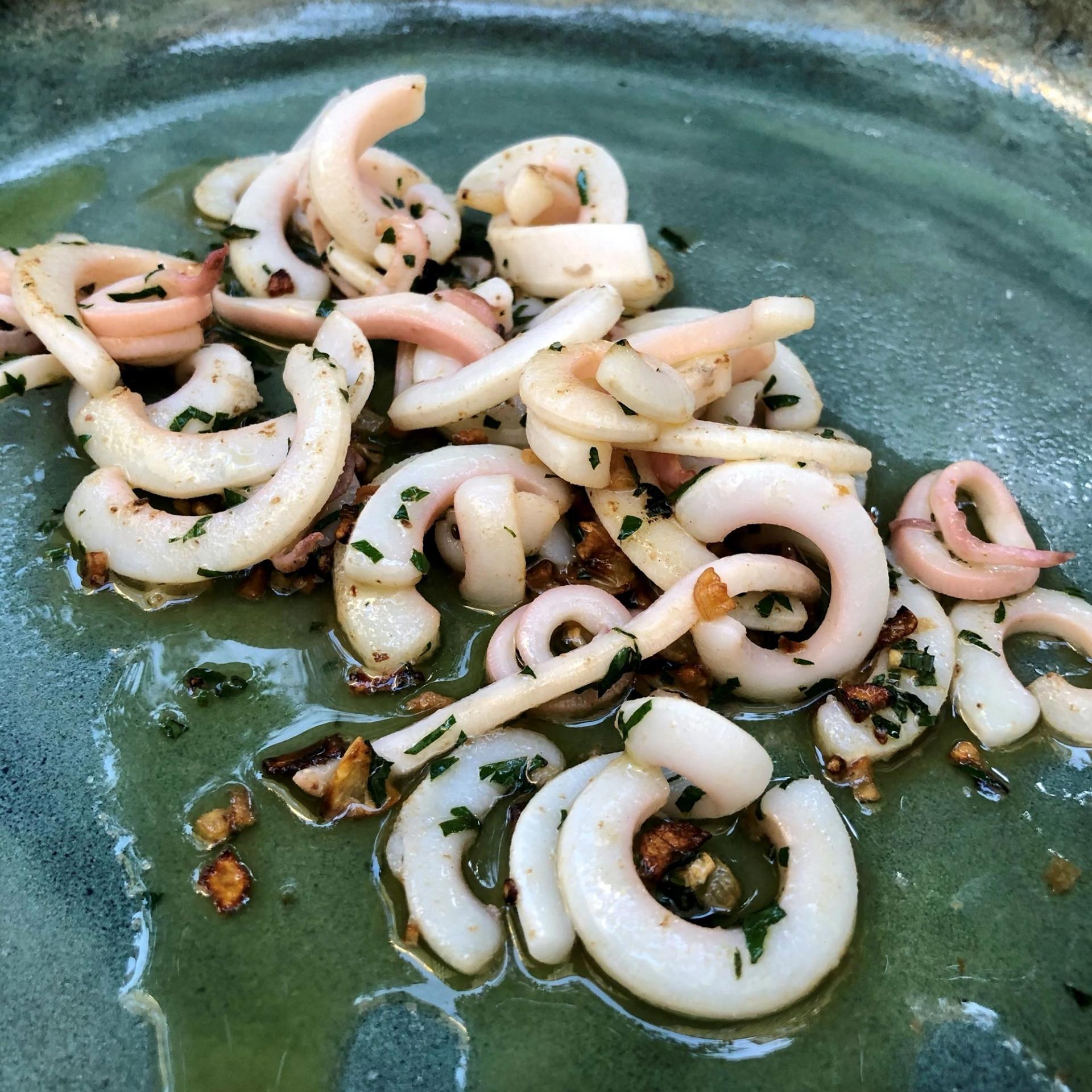 Lynstegt blæksprutte