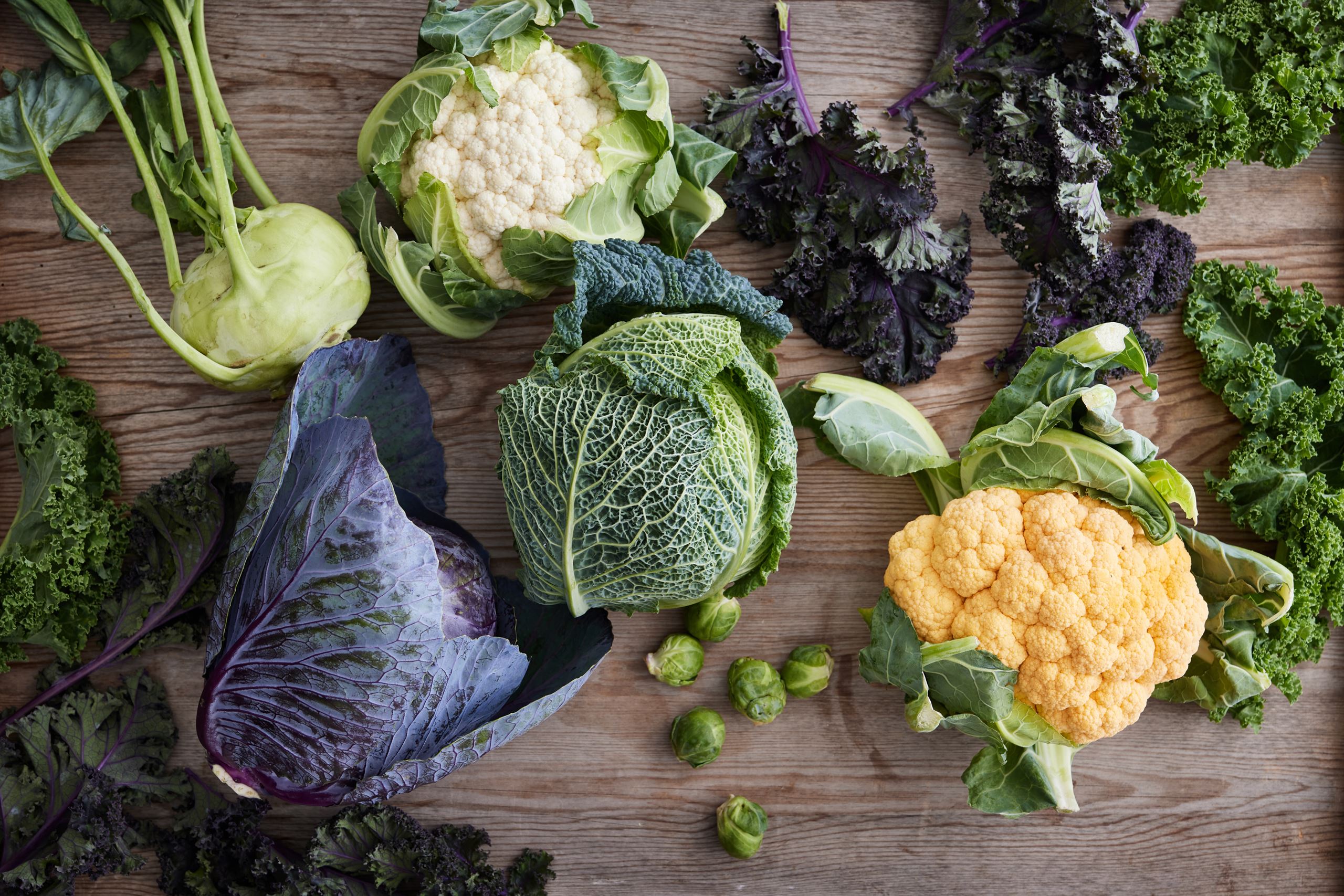 Spis sæsonens råvarer i december​​​​‌﻿‍﻿​‍​‍‌‍﻿﻿‌﻿​‍‌‍‍‌‌‍‌﻿‌‍‍‌‌‍﻿‍​‍​‍​﻿‍‍​‍​‍‌﻿​﻿‌‍​‌‌‍﻿‍‌‍‍‌‌﻿‌​‌﻿‍‌​‍﻿‍‌‍‍‌‌‍﻿﻿​‍​‍​‍﻿​​‍​‍‌‍‍​‌﻿​‍‌‍‌‌‌‍‌‍​‍​‍​﻿‍‍​‍​‍‌‍‍​‌﻿‌​‌﻿‌​‌﻿​​​﻿‍‍​‍﻿﻿​‍﻿﻿‌‍﻿​‌‍﻿﻿‌‍​﻿‌‍​‌‌‍﻿​‌‍‍​‌‍﻿﻿‌﻿​﻿‌﻿‌​​﻿‍‍​﻿​﻿​﻿​﻿​﻿​﻿​﻿​﻿​‍﻿﻿‌‍‍‌‌‍﻿‍‌﻿‌​‌‍‌‌‌‍﻿‍‌﻿‌​​‍﻿﻿‌‍‌‌‌‍‌​‌‍‍‌‌﻿‌​​‍﻿﻿‌‍﻿‌‌‍﻿﻿‌‍‌​‌‍‌‌​﻿﻿‌‌﻿​​‌﻿​‍‌‍‌‌‌﻿​﻿‌‍‌‌‌‍﻿‍‌﻿‌​‌‍​‌‌﻿‌​‌‍‍‌‌‍﻿﻿‌‍﻿‍​﻿‍﻿‌‍‍‌‌‍‌​​﻿﻿‌‌‍​‌​﻿‍‌​﻿‌﻿​﻿​‍​﻿​﻿​﻿‌​​﻿​‌​﻿‍‌​‍﻿‌‌‍‌‍​﻿‌​‌‍​‍​﻿‍‌​‍﻿‌​﻿‌​​﻿‌‌‌‍‌‍​﻿​​​‍﻿‌​﻿‍‌​﻿‍​​﻿​﻿​﻿‌‍​‍﻿‌​﻿‌​​﻿‌‌​﻿‌﻿​﻿‌﻿​﻿​﻿‌‍‌‌​﻿‌​‌‍​﻿​﻿‌‍‌‍‌​​﻿‌‌​﻿‌‌​﻿‍﻿‌﻿‌​‌﻿‍‌‌﻿​​‌‍‌‌​﻿﻿‌‌‍​‌‌﻿​‍‌﻿‌​‌‍‍‌‌‍​﻿‌‍﻿​‌‍‌‌​﻿‍﻿‌﻿​​‌‍​‌‌﻿‌​‌‍‍​​﻿﻿‌‌‍‍‌‌‍﻿‌‌‍​‌‌‍‌﻿‌‍‌‌​‍﻿‍‌‍​‌‌‍﻿​‌﻿‌​​﻿﻿﻿‌‍​‍‌‍​‌‌﻿​﻿‌‍‌‌‌‌‌‌‌﻿​‍‌‍﻿​​﻿﻿‌‌‍‍​‌﻿‌​‌﻿‌​‌﻿​​​‍‌‌​﻿​﻿‌​​‌​‍‌‌​﻿​‍‌​‌‍​‍‌‌​﻿​‍‌​‌‍‌‍﻿​‌‍﻿﻿‌‍​﻿‌‍​‌‌‍﻿​‌‍‍​‌‍﻿﻿‌﻿​﻿‌﻿‌​​‍‌‌​﻿​﻿‌​​‌​﻿​﻿​﻿​﻿​﻿​﻿​﻿​﻿​‍‌‍‌‍‍‌‌‍‌​​﻿﻿‌‌‍​‌​﻿‍‌​﻿‌﻿​﻿​‍​﻿​﻿​﻿‌​​﻿​‌​﻿‍‌​‍﻿‌‌‍‌‍​﻿‌​‌‍​‍​﻿‍‌​‍﻿‌​﻿‌​​﻿‌‌‌‍‌‍​﻿​​​‍﻿‌​﻿‍‌​﻿‍​​﻿​﻿​﻿‌‍​‍﻿‌​﻿‌​​﻿‌‌​﻿‌﻿​﻿‌﻿​﻿​﻿‌‍‌‌​﻿‌​‌‍​﻿​﻿‌‍‌‍‌​​﻿‌‌​﻿‌‌​‍‌‍‌﻿‌​‌﻿‍‌‌﻿​​‌‍‌‌​﻿﻿‌‌‍​‌‌﻿​‍‌﻿‌​‌‍‍‌‌‍​﻿‌‍﻿​‌‍‌‌​‍‌‍‌﻿​​‌‍​‌‌﻿‌​‌‍‍​​﻿﻿‌‌‍‍‌‌‍﻿‌‌‍​‌‌‍‌﻿‌‍‌‌​‍﻿‍‌‍​‌‌‍﻿​‌﻿‌​​‍‌‍‌﻿​​‌‍‌‌‌﻿​‍‌﻿​﻿‌﻿​​‌‍‌‌‌‍​﻿‌﻿‌​‌‍‍‌‌﻿‌‍‌‍‌‌​﻿﻿‌‌﻿​​‌﻿‌‌‌‍​‍‌‍﻿​‌‍‍‌‌﻿​﻿‌‍‍​‌‍‌‌‌‍‌​​‍​‍‌﻿﻿‌