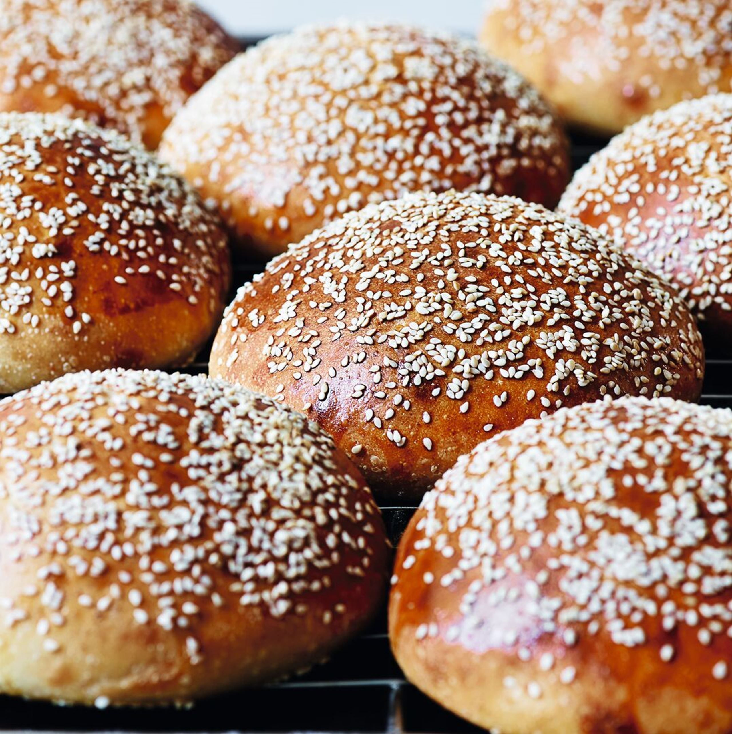 Hjemmelavet burger​​​​‌﻿‍﻿​‍​‍‌‍﻿﻿‌﻿​‍‌‍‍‌‌‍‌﻿‌‍‍‌‌‍﻿‍​‍​‍​﻿‍‍​‍​‍‌﻿​﻿‌‍​‌‌‍﻿‍‌‍‍‌‌﻿‌​‌﻿‍‌​‍﻿‍‌‍‍‌‌‍﻿﻿​‍​‍​‍﻿​​‍​‍‌‍‍​‌﻿​‍‌‍‌‌‌‍‌‍​‍​‍​﻿‍‍​‍​‍‌‍‍​‌﻿‌​‌﻿‌​‌﻿​​​﻿‍‍​‍﻿﻿​‍﻿﻿‌‍﻿​‌‍﻿﻿‌‍​﻿‌‍​‌‌‍﻿​‌‍‍​‌‍﻿﻿‌﻿​﻿‌﻿‌​​﻿‍‍​﻿​﻿​﻿​﻿​﻿​﻿​﻿​﻿​‍﻿﻿‌‍‍‌‌‍﻿‍‌﻿‌​‌‍‌‌‌‍﻿‍‌﻿‌​​‍﻿﻿‌‍‌‌‌‍‌​‌‍‍‌‌﻿‌​​‍﻿﻿‌‍﻿‌‌‍﻿﻿‌‍‌​‌‍‌‌​﻿﻿‌‌﻿​​‌﻿​‍‌‍‌‌‌﻿​﻿‌‍‌‌‌‍﻿‍‌﻿‌​‌‍​‌‌﻿‌​‌‍‍‌‌‍﻿﻿‌‍﻿‍​﻿‍﻿‌‍‍‌‌‍‌​​﻿﻿‌​﻿‍‌​﻿​‌​﻿‍​‌‍​‌​﻿‍​‌‍​﻿​﻿‌​‌‍‌​​‍﻿‌‌‍​‍‌‍‌‌​﻿‌﻿​﻿​﻿​‍﻿‌​﻿‌​‌‍‌​‌‍​‌​﻿​‍​‍﻿‌‌‍​‌​﻿​‌​﻿‌‌​﻿‌‌​‍﻿‌‌‍‌‌‌‍​‌​﻿‌‍​﻿​​‌‍​‍‌‍​﻿​﻿​﻿​﻿​‌‌‍​‌‌‍‌‌​﻿‍‌​﻿​‌​﻿‍﻿‌﻿‌​‌﻿‍‌‌﻿​​‌‍‌‌​﻿﻿‌‌‍​‌‌﻿​‍‌﻿‌​‌‍‍‌‌‍​﻿‌‍﻿​‌‍‌‌​﻿‍﻿‌﻿​​‌‍​‌‌﻿‌​‌‍‍​​﻿﻿‌‌﻿​​‌‍﻿﻿‌﻿​‍‌﻿‌​‌‍​‌‌‍​‍‌‍﻿​‌‍‌‌‌﻿‌​‌‍‌‌‌﻿‍​‌﻿‌​​‍‌‌​﻿‌‌‌​​‍‌‌﻿﻿‌‍‍﻿‌‍‌‌‌﻿‍‌​‍‌‌​﻿​﻿‌​‌​​‍‌‌​﻿​﻿‌​‌​​‍‌‌​﻿​‍​﻿​‍​﻿‌﻿‌‍​‍​﻿​‌‌‍​﻿​﻿​​‌‍‌‍​﻿​‍‌‍‌‌​‍‌‌​﻿​‍​﻿​‍​‍‌‌​﻿‌‌‌​‌​​‍﻿‍‌‍​﻿‌‍​‌‌﻿​‍‌‍‌​‌﻿​﻿​‍‌‌​﻿‌‌‌​​‍‌‌﻿﻿‌‍‍﻿‌‍‌‌‌﻿‍‌​‍‌‌​﻿​﻿‌​‌​​‍‌‌​﻿​﻿‌​‌​​‍‌‌​﻿​‍​﻿​‍​﻿‌​​﻿‌‌​﻿‌‌‌‍‌‌‌‍​﻿‌‍‌‍‌‍​﻿‌‍​‌​‍‌‌​﻿​‍​﻿​‍​‍‌‌​﻿‌‌‌​‌​​‍﻿‍‌‍‍‌‌‍﻿‌‌‍​‌‌‍‌﻿‌‍‌‌​‍﻿‍‌‍​‌‌‍﻿​‌﻿‌​​﻿﻿﻿‌‍​‍‌‍​‌‌﻿​﻿‌‍‌‌‌‌‌‌‌﻿​‍‌‍﻿​​﻿﻿‌‌‍‍​‌﻿‌​‌﻿‌​‌﻿​​​‍‌‌​﻿​﻿‌​​‌​‍‌‌​﻿​‍‌​‌‍​‍‌‌​﻿​‍‌​‌‍‌‍﻿​‌‍﻿﻿‌‍​﻿‌‍​‌‌‍﻿​‌‍‍​‌‍﻿﻿‌﻿​﻿‌﻿‌​​‍‌‌​﻿​﻿‌​​‌​﻿​﻿​﻿​﻿​﻿​﻿​﻿​﻿​‍‌‍‌‍‍‌‌‍‌​​﻿﻿‌​﻿‍‌​﻿​‌​﻿‍​‌‍​‌​﻿‍​‌‍​﻿​﻿‌​‌‍‌​​‍﻿‌‌‍​‍‌‍‌‌​﻿‌﻿​﻿​﻿​‍﻿‌​﻿‌​‌‍‌​‌‍​‌​﻿​‍​‍﻿‌‌‍​‌​﻿​‌​﻿‌‌​﻿‌‌​‍﻿‌‌‍‌‌‌‍​‌​﻿‌‍​﻿​​‌‍​‍‌‍​﻿​﻿​﻿​﻿​‌‌‍​‌‌‍‌‌​﻿‍‌​﻿​‌​‍‌‍‌﻿‌​‌﻿‍‌‌﻿​​‌‍‌‌​﻿﻿‌‌‍​‌‌﻿​‍‌﻿‌​‌‍‍‌‌‍​﻿‌‍﻿​‌‍‌‌​‍‌‍‌﻿​​‌‍​‌‌﻿‌​‌‍‍​​﻿﻿‌‌﻿​​‌‍﻿﻿‌﻿​‍‌﻿‌​‌‍​‌‌‍​‍‌‍﻿​‌‍‌‌‌﻿‌​‌‍‌‌‌﻿‍​‌﻿‌​​‍‌‌​﻿‌‌‌​​‍‌‌﻿﻿‌‍‍﻿‌‍‌‌‌﻿‍‌​‍‌‌​﻿​﻿‌​‌​​‍‌‌​﻿​﻿‌​‌​​‍‌‌​﻿​‍​﻿​‍​﻿‌﻿‌‍​‍​﻿​‌‌‍​﻿​﻿​​‌‍‌‍​﻿​‍‌‍‌‌​‍‌‌​﻿​‍​﻿​‍​‍‌‌​﻿‌‌‌​‌​​‍﻿‍‌‍​﻿‌‍​‌‌﻿​‍‌‍‌​‌﻿​﻿​‍‌‌​﻿‌‌‌​​‍‌‌﻿﻿‌‍‍﻿‌‍‌‌‌﻿‍‌​‍‌‌​﻿​﻿‌​‌​​‍‌‌​﻿​﻿‌​‌​​‍‌‌​﻿​‍​﻿​‍​﻿‌​​﻿‌‌​﻿‌‌‌‍‌‌‌‍​﻿‌‍‌‍‌‍​﻿‌‍​‌​‍‌‌​﻿​‍​﻿​‍​‍‌‌​﻿‌‌‌​‌​​‍﻿‍‌‍‍‌‌‍﻿‌‌‍​‌‌‍‌﻿‌‍‌‌​‍﻿‍‌‍​‌‌‍﻿​‌﻿‌​​‍‌‍‌﻿​​‌‍‌‌‌﻿​‍‌﻿​﻿‌﻿​​‌‍‌‌‌‍​﻿‌﻿‌​‌‍‍‌‌﻿‌‍‌‍‌‌​﻿﻿‌‌﻿​​‌﻿‌‌‌‍​‍‌‍﻿​‌‍‍‌‌﻿​﻿‌‍‍​‌‍‌‌‌‍‌​​‍​‍‌﻿﻿‌