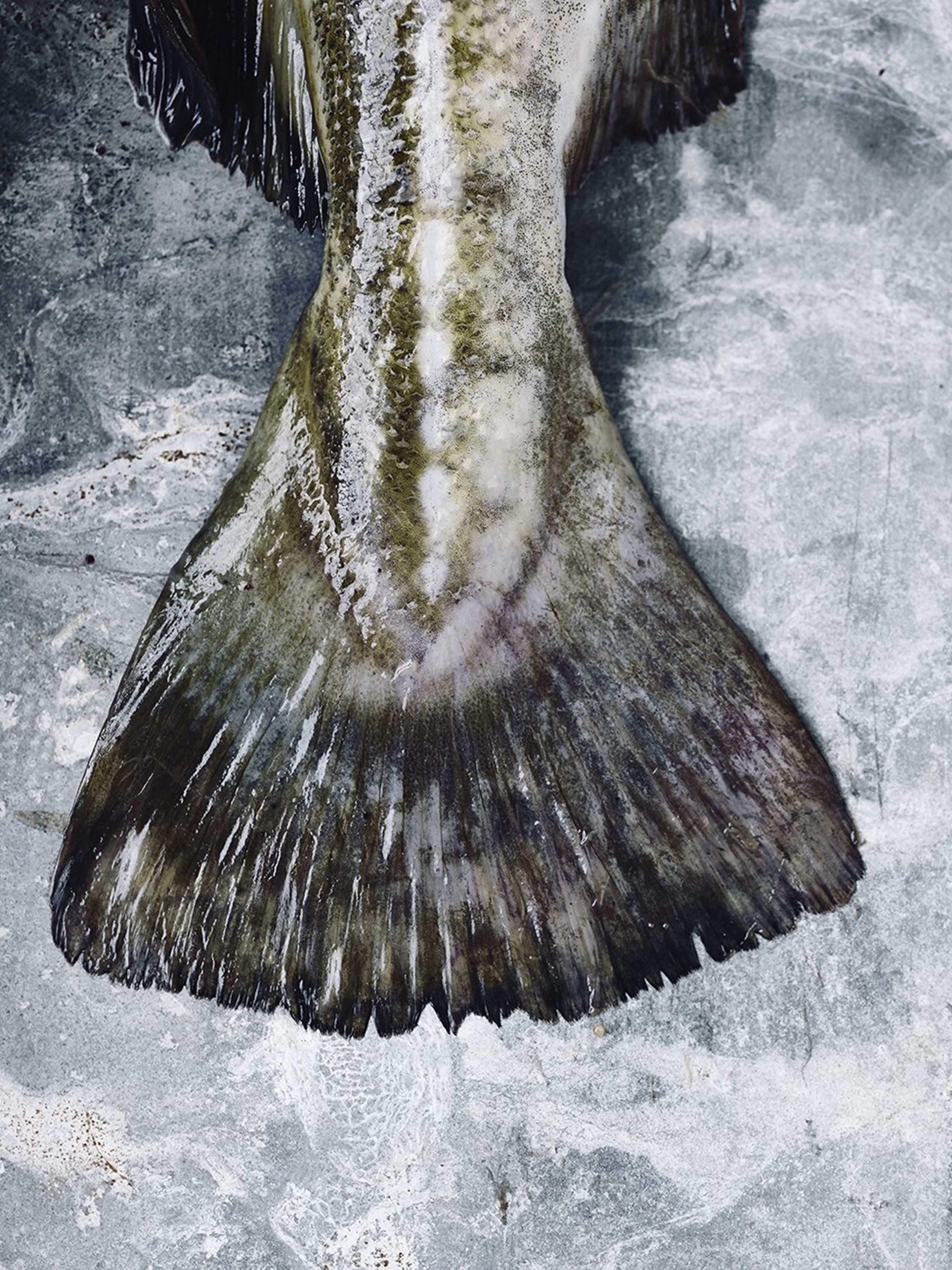 Skindstegt sandart med hvidvinssauce​​​​‌﻿‍﻿​‍​‍‌‍﻿﻿‌﻿​‍‌‍‍‌‌‍‌﻿‌‍‍‌‌‍﻿‍​‍​‍​﻿‍‍​‍​‍‌﻿​﻿‌‍​‌‌‍﻿‍‌‍‍‌‌﻿‌​‌﻿‍‌​‍﻿‍‌‍‍‌‌‍﻿﻿​‍​‍​‍﻿​​‍​‍‌‍‍​‌﻿​‍‌‍‌‌‌‍‌‍​‍​‍​﻿‍‍​‍​‍‌‍‍​‌﻿‌​‌﻿‌​‌﻿​​​﻿‍‍​‍﻿﻿​‍﻿﻿‌‍﻿​‌‍﻿﻿‌‍​﻿‌‍​‌‌‍﻿​‌‍‍​‌‍﻿﻿‌﻿​﻿‌﻿‌​​﻿‍‍​﻿​﻿​﻿​﻿​﻿​﻿​﻿​﻿​‍﻿﻿‌‍‍‌‌‍﻿‍‌﻿‌​‌‍‌‌‌‍﻿‍‌﻿‌​​‍﻿﻿‌‍‌‌‌‍‌​‌‍‍‌‌﻿‌​​‍﻿﻿‌‍﻿‌‌‍﻿﻿‌‍‌​‌‍‌‌​﻿﻿‌‌﻿​​‌﻿​‍‌‍‌‌‌﻿​﻿‌‍‌‌‌‍﻿‍‌﻿‌​‌‍​‌‌﻿‌​‌‍‍‌‌‍﻿﻿‌‍﻿‍​﻿‍﻿‌‍‍‌‌‍‌​​﻿﻿‌‌‍‌‍​﻿​​​﻿‌​​﻿‍‌​﻿​​​﻿​‌‌‍‌‍​﻿‌﻿​‍﻿‌​﻿‌​​﻿​‍​﻿‌‌‌‍​‌​‍﻿‌​﻿‌‌​﻿‌​‌‍‌‌​﻿‌﻿​‍﻿‌‌‍​‌​﻿‌﻿​﻿‌﻿‌‍‌​​‍﻿‌‌‍​﻿​﻿‌﻿​﻿‌​‌‍​﻿​﻿‍‌​﻿‌‌‌‍​‍​﻿​‌​﻿‌﻿​﻿‍‌​﻿‌‍‌‍​﻿​﻿‍﻿‌﻿‌​‌﻿‍‌‌﻿​​‌‍‌‌​﻿﻿‌‌﻿​‍‌‍‌‌‌‍​﻿‌‍‍‌‌﻿​​‌‍‌‌​﻿‍﻿‌﻿​​‌‍​‌‌﻿‌​‌‍‍​​﻿﻿‌‌‍‍‌‌‍﻿‌‌‍​‌‌‍‌﻿‌‍‌‌​‍﻿‍‌‍​‌‌‍﻿​‌﻿‌​​﻿﻿﻿‌‍​‍‌‍​‌‌﻿​﻿‌‍‌‌‌‌‌‌‌﻿​‍‌‍﻿​​﻿﻿‌‌‍‍​‌﻿‌​‌﻿‌​‌﻿​​​‍‌‌​﻿​﻿‌​​‌​‍‌‌​﻿​‍‌​‌‍​‍‌‌​﻿​‍‌​‌‍‌‍﻿​‌‍﻿﻿‌‍​﻿‌‍​‌‌‍﻿​‌‍‍​‌‍﻿﻿‌﻿​﻿‌﻿‌​​‍‌‌​﻿​﻿‌​​‌​﻿​﻿​﻿​﻿​﻿​﻿​﻿​﻿​‍‌‍‌‍‍‌‌‍‌​​﻿﻿‌‌‍‌‍​﻿​​​﻿‌​​﻿‍‌​﻿​​​﻿​‌‌‍‌‍​﻿‌﻿​‍﻿‌​﻿‌​​﻿​‍​﻿‌‌‌‍​‌​‍﻿‌​﻿‌‌​﻿‌​‌‍‌‌​﻿‌﻿​‍﻿‌‌‍​‌​﻿‌﻿​﻿‌﻿‌‍‌​​‍﻿‌‌‍​﻿​﻿‌﻿​﻿‌​‌‍​﻿​﻿‍‌​﻿‌‌‌‍​‍​﻿​‌​﻿‌﻿​﻿‍‌​﻿‌‍‌‍​﻿​‍‌‍‌﻿‌​‌﻿‍‌‌﻿​​‌‍‌‌​﻿﻿‌‌﻿​‍‌‍‌‌‌‍​﻿‌‍‍‌‌﻿​​‌‍‌‌​‍‌‍‌﻿​​‌‍​‌‌﻿‌​‌‍‍​​﻿﻿‌‌‍‍‌‌‍﻿‌‌‍​‌‌‍‌﻿‌‍‌‌​‍﻿‍‌‍​‌‌‍﻿​‌﻿‌​​‍‌‍‌﻿​​‌‍‌‌‌﻿​‍‌﻿​﻿‌﻿​​‌‍‌‌‌‍​﻿‌﻿‌​‌‍‍‌‌﻿‌‍‌‍‌‌​﻿﻿‌‌﻿​​‌﻿‌‌‌‍​‍‌‍﻿​‌‍‍‌‌﻿​﻿‌‍‍​‌‍‌‌‌‍‌​​‍​‍‌﻿﻿‌