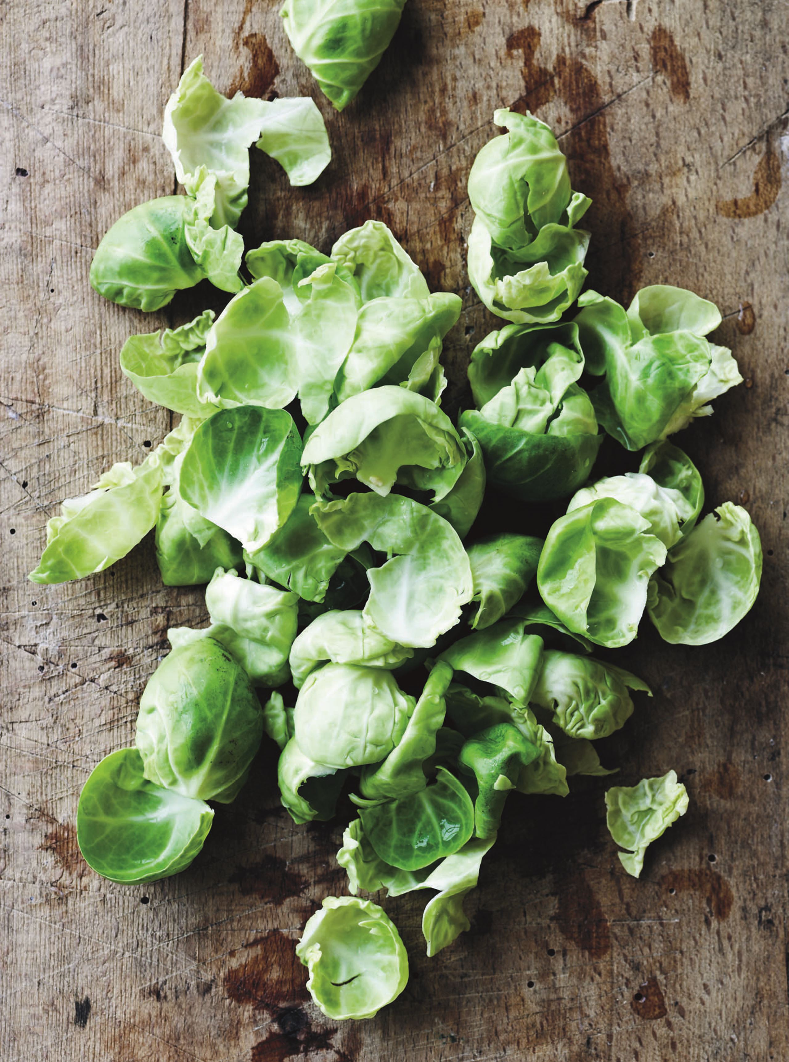 Salat af rosenkål, appelsin og rødløg​​​​‌﻿‍﻿​‍​‍‌‍﻿﻿‌﻿​‍‌‍‍‌‌‍‌﻿‌‍‍‌‌‍﻿‍​‍​‍​﻿‍‍​‍​‍‌﻿​﻿‌‍​‌‌‍﻿‍‌‍‍‌‌﻿‌​‌﻿‍‌​‍﻿‍‌‍‍‌‌‍﻿﻿​‍​‍​‍﻿​​‍​‍‌‍‍​‌﻿​‍‌‍‌‌‌‍‌‍​‍​‍​﻿‍‍​‍​‍‌‍‍​‌﻿‌​‌﻿‌​‌﻿​​​﻿‍‍​‍﻿﻿​‍﻿﻿‌‍﻿​‌‍﻿﻿‌‍​﻿‌‍​‌‌‍﻿​‌‍‍​‌‍﻿﻿‌﻿​﻿‌﻿‌​​﻿‍‍​﻿​﻿​﻿​﻿​﻿​﻿​﻿​﻿​‍﻿﻿‌‍‍‌‌‍﻿‍‌﻿‌​‌‍‌‌‌‍﻿‍‌﻿‌​​‍﻿﻿‌‍‌‌‌‍‌​‌‍‍‌‌﻿‌​​‍﻿﻿‌‍﻿‌‌‍﻿﻿‌‍‌​‌‍‌‌​﻿﻿‌‌﻿​​‌﻿​‍‌‍‌‌‌﻿​﻿‌‍‌‌‌‍﻿‍‌﻿‌​‌‍​‌‌﻿‌​‌‍‍‌‌‍﻿﻿‌‍﻿‍​﻿‍﻿‌‍‍‌‌‍‌​​﻿﻿‌‌‍​‍​﻿​﻿​﻿‍​​﻿​‍​﻿‌‌‌‍​﻿​﻿​‍​﻿​﻿​‍﻿‌‌‍​‌‌‍​﻿‌‍​﻿​﻿​‌​‍﻿‌​﻿‌‌‌‍​﻿​﻿‌​‌‍‌‍​‍﻿‌‌‍​‌​﻿‌‍​﻿​‍​﻿‍​​‍﻿‌‌‍‌‌‌‍​‌​﻿‍​​﻿‌​​﻿‌‍​﻿​‍‌‍‌‌‌‍​‌​﻿​‌​﻿‌﻿‌‍‌​‌‍​﻿​﻿‍﻿‌﻿‌​‌﻿‍‌‌﻿​​‌‍‌‌​﻿﻿‌‌﻿​‍‌‍‌‌‌‍​﻿‌‍‍‌‌﻿​​‌‍‌‌​﻿‍﻿‌﻿​​‌‍​‌‌﻿‌​‌‍‍​​﻿﻿‌‌‍‍‌‌‍﻿‌‌‍​‌‌‍‌﻿‌‍‌‌​‍﻿‍‌‍​‌‌‍﻿​‌﻿‌​​﻿﻿﻿‌‍​‍‌‍​‌‌﻿​﻿‌‍‌‌‌‌‌‌‌﻿​‍‌‍﻿​​﻿﻿‌‌‍‍​‌﻿‌​‌﻿‌​‌﻿​​​‍‌‌​﻿​﻿‌​​‌​‍‌‌​﻿​‍‌​‌‍​‍‌‌​﻿​‍‌​‌‍‌‍﻿​‌‍﻿﻿‌‍​﻿‌‍​‌‌‍﻿​‌‍‍​‌‍﻿﻿‌﻿​﻿‌﻿‌​​‍‌‌​﻿​﻿‌​​‌​﻿​﻿​﻿​﻿​﻿​﻿​﻿​﻿​‍‌‍‌‍‍‌‌‍‌​​﻿﻿‌‌‍​‍​﻿​﻿​﻿‍​​﻿​‍​﻿‌‌‌‍​﻿​﻿​‍​﻿​﻿​‍﻿‌‌‍​‌‌‍​﻿‌‍​﻿​﻿​‌​‍﻿‌​﻿‌‌‌‍​﻿​﻿‌​‌‍‌‍​‍﻿‌‌‍​‌​﻿‌‍​﻿​‍​﻿‍​​‍﻿‌‌‍‌‌‌‍​‌​﻿‍​​﻿‌​​﻿‌‍​﻿​‍‌‍‌‌‌‍​‌​﻿​‌​﻿‌﻿‌‍‌​‌‍​﻿​‍‌‍‌﻿‌​‌﻿‍‌‌﻿​​‌‍‌‌​﻿﻿‌‌﻿​‍‌‍‌‌‌‍​﻿‌‍‍‌‌﻿​​‌‍‌‌​‍‌‍‌﻿​​‌‍​‌‌﻿‌​‌‍‍​​﻿﻿‌‌‍‍‌‌‍﻿‌‌‍​‌‌‍‌﻿‌‍‌‌​‍﻿‍‌‍​‌‌‍﻿​‌﻿‌​​‍‌‍‌﻿​​‌‍‌‌‌﻿​‍‌﻿​﻿‌﻿​​‌‍‌‌‌‍​﻿‌﻿‌​‌‍‍‌‌﻿‌‍‌‍‌‌​﻿﻿‌‌﻿​​‌﻿‌‌‌‍​‍‌‍﻿​‌‍‍‌‌﻿​﻿‌‍‍​‌‍‌‌‌‍‌​​‍​‍‌﻿﻿‌