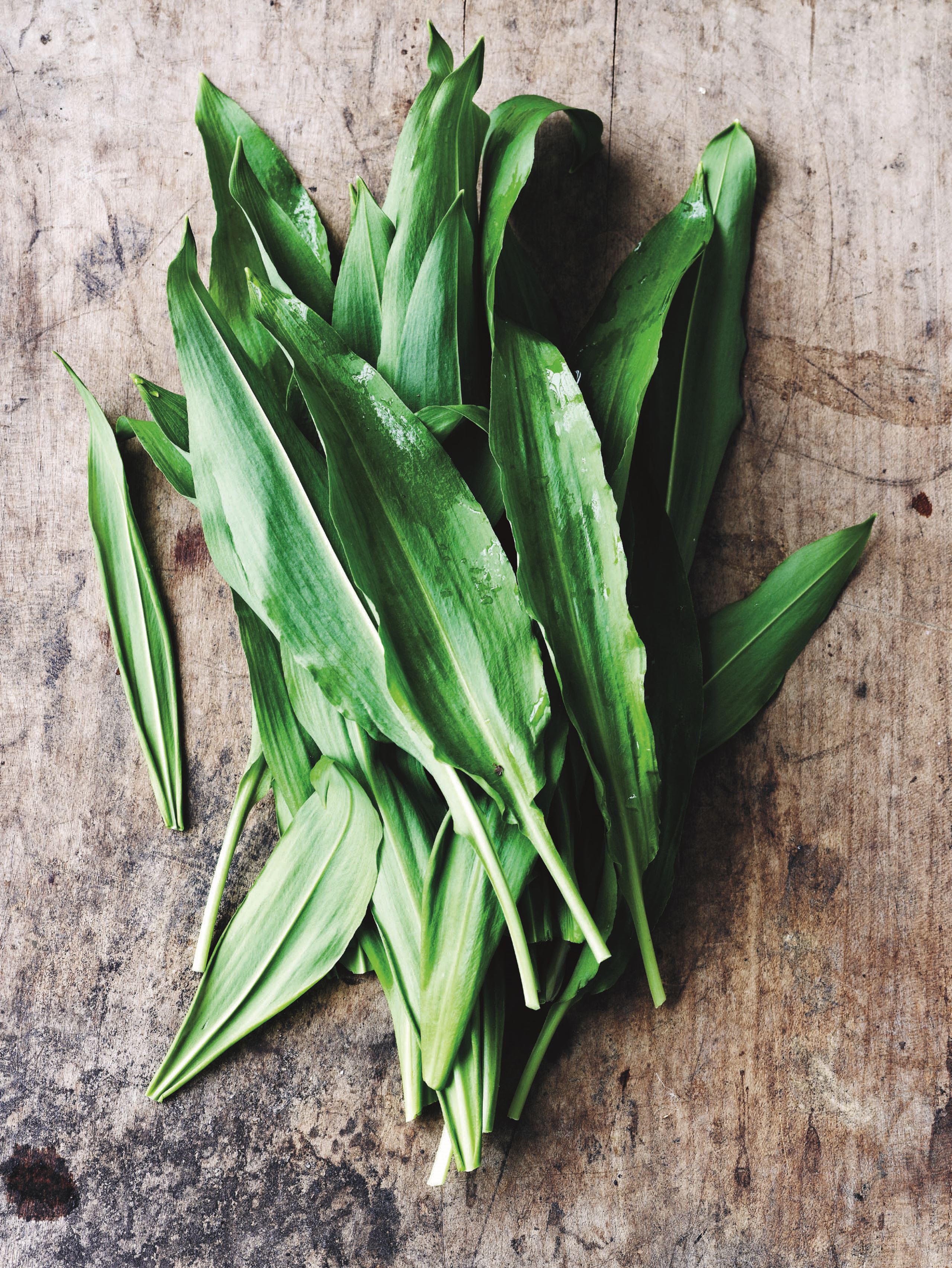 Spis sæsonens råvarer i marts​​​​‌﻿‍﻿​‍​‍‌‍﻿﻿‌﻿​‍‌‍‍‌‌‍‌﻿‌‍‍‌‌‍﻿‍​‍​‍​﻿‍‍​‍​‍‌﻿​﻿‌‍​‌‌‍﻿‍‌‍‍‌‌﻿‌​‌﻿‍‌​‍﻿‍‌‍‍‌‌‍﻿﻿​‍​‍​‍﻿​​‍​‍‌‍‍​‌﻿​‍‌‍‌‌‌‍‌‍​‍​‍​﻿‍‍​‍​‍‌‍‍​‌﻿‌​‌﻿‌​‌﻿​​​﻿‍‍​‍﻿﻿​‍﻿﻿‌‍﻿​‌‍﻿﻿‌‍​﻿‌‍​‌‌‍﻿​‌‍‍​‌‍﻿﻿‌﻿​﻿‌﻿‌​​﻿‍‍​﻿​﻿​﻿​﻿​﻿​﻿​﻿​﻿​‍﻿﻿‌‍‍‌‌‍﻿‍‌﻿‌​‌‍‌‌‌‍﻿‍‌﻿‌​​‍﻿﻿‌‍‌‌‌‍‌​‌‍‍‌‌﻿‌​​‍﻿﻿‌‍﻿‌‌‍﻿﻿‌‍‌​‌‍‌‌​﻿﻿‌‌﻿​​‌﻿​‍‌‍‌‌‌﻿​﻿‌‍‌‌‌‍﻿‍‌﻿‌​‌‍​‌‌﻿‌​‌‍‍‌‌‍﻿﻿‌‍﻿‍​﻿‍﻿‌‍‍‌‌‍‌​​﻿﻿‌​﻿‌‍‌‍‌​​﻿‍‌‌‍‌‌​﻿​﻿​﻿​​​﻿​​​﻿​‌​‍﻿‌‌‍​‍​﻿‍‌​﻿‌﻿​﻿‍‌​‍﻿‌​﻿‌​​﻿‌﻿​﻿‌‍​﻿‍​​‍﻿‌​﻿‍‌‌‍‌‌‌‍‌‌‌‍​‍​‍﻿‌​﻿​​‌‍‌‌​﻿​﻿‌‍​‍‌‍‌‌‌‍​﻿​﻿​​​﻿‌‍‌‍​‌​﻿‌‌​﻿​﻿​﻿‍​​﻿‍﻿‌﻿‌​‌﻿‍‌‌﻿​​‌‍‌‌​﻿﻿‌‌‍​‌‌﻿​‍‌﻿‌​‌‍‍‌‌‍​﻿‌‍﻿​‌‍‌‌​﻿‍﻿‌﻿​​‌‍​‌‌﻿‌​‌‍‍​​﻿﻿‌‌‍‍‌‌‍﻿‌‌‍​‌‌‍‌﻿‌‍‌‌​‍﻿‍‌‍​‌‌‍﻿​‌﻿‌​​﻿﻿﻿‌‍​‍‌‍​‌‌﻿​﻿‌‍‌‌‌‌‌‌‌﻿​‍‌‍﻿​​﻿﻿‌‌‍‍​‌﻿‌​‌﻿‌​‌﻿​​​‍‌‌​﻿​﻿‌​​‌​‍‌‌​﻿​‍‌​‌‍​‍‌‌​﻿​‍‌​‌‍‌‍﻿​‌‍﻿﻿‌‍​﻿‌‍​‌‌‍﻿​‌‍‍​‌‍﻿﻿‌﻿​﻿‌﻿‌​​‍‌‌​﻿​﻿‌​​‌​﻿​﻿​﻿​﻿​﻿​﻿​﻿​﻿​‍‌‍‌‍‍‌‌‍‌​​﻿﻿‌​﻿‌‍‌‍‌​​﻿‍‌‌‍‌‌​﻿​﻿​﻿​​​﻿​​​﻿​‌​‍﻿‌‌‍​‍​﻿‍‌​﻿‌﻿​﻿‍‌​‍﻿‌​﻿‌​​﻿‌﻿​﻿‌‍​﻿‍​​‍﻿‌​﻿‍‌‌‍‌‌‌‍‌‌‌‍​‍​‍﻿‌​﻿​​‌‍‌‌​﻿​﻿‌‍​‍‌‍‌‌‌‍​﻿​﻿​​​﻿‌‍‌‍​‌​﻿‌‌​﻿​﻿​﻿‍​​‍‌‍‌﻿‌​‌﻿‍‌‌﻿​​‌‍‌‌​﻿﻿‌‌‍​‌‌﻿​‍‌﻿‌​‌‍‍‌‌‍​﻿‌‍﻿​‌‍‌‌​‍‌‍‌﻿​​‌‍​‌‌﻿‌​‌‍‍​​﻿﻿‌‌‍‍‌‌‍﻿‌‌‍​‌‌‍‌﻿‌‍‌‌​‍﻿‍‌‍​‌‌‍﻿​‌﻿‌​​‍‌‍‌﻿​​‌‍‌‌‌﻿​‍‌﻿​﻿‌﻿​​‌‍‌‌‌‍​﻿‌﻿‌​‌‍‍‌‌﻿‌‍‌‍‌‌​﻿﻿‌‌﻿​​‌﻿‌‌‌‍​‍‌‍﻿​‌‍‍‌‌﻿​﻿‌‍‍​‌‍‌‌‌‍‌​​‍​‍‌﻿﻿‌