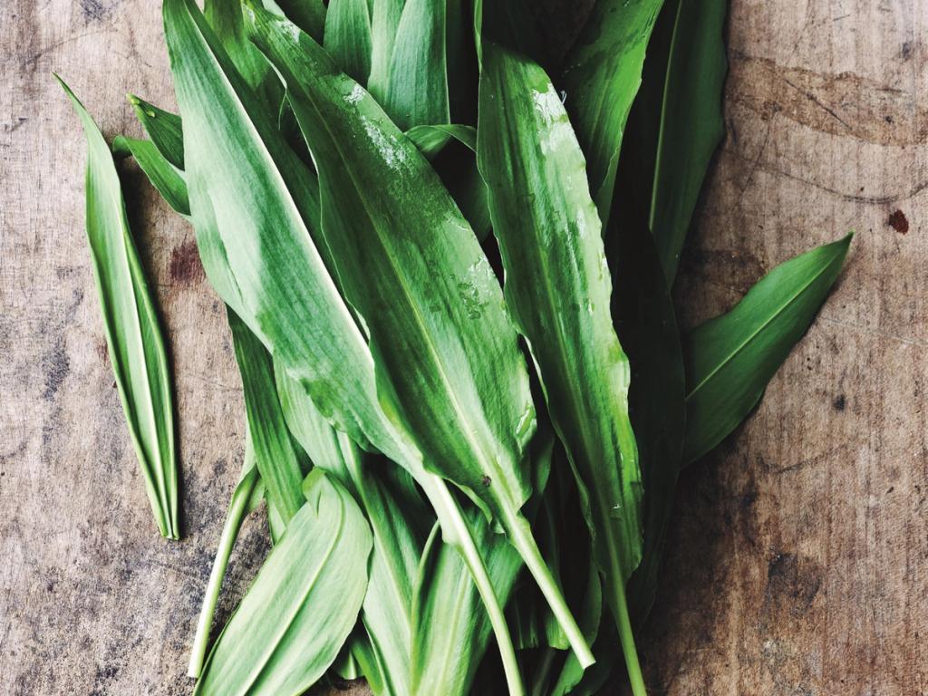 Spis sæsonens råvarer i marts