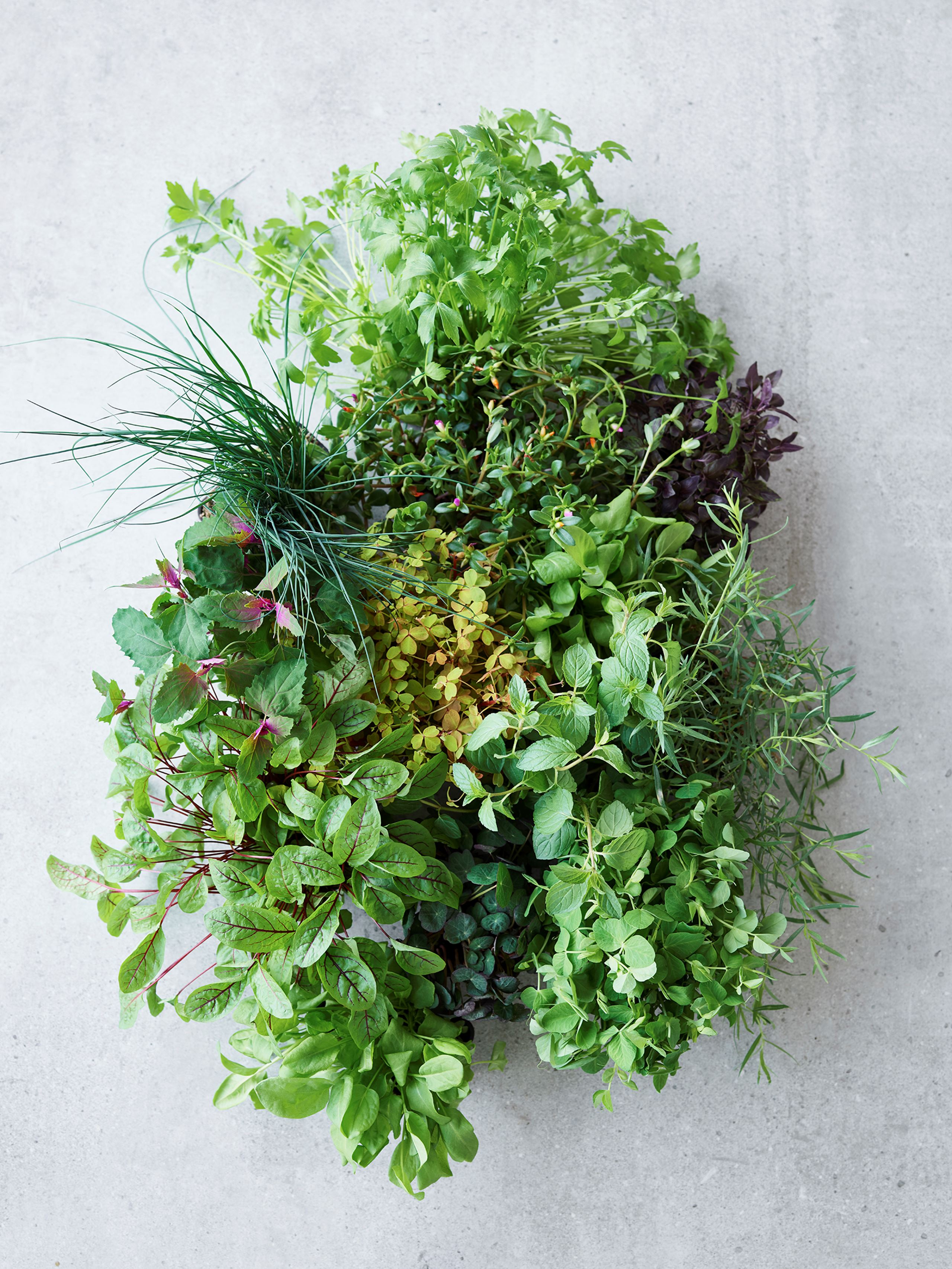 Urte-iste med hybenrosesirup​​​​‌﻿‍﻿​‍​‍‌‍﻿﻿‌﻿​‍‌‍‍‌‌‍‌﻿‌‍‍‌‌‍﻿‍​‍​‍​﻿‍‍​‍​‍‌﻿​﻿‌‍​‌‌‍﻿‍‌‍‍‌‌﻿‌​‌﻿‍‌​‍﻿‍‌‍‍‌‌‍﻿﻿​‍​‍​‍﻿​​‍​‍‌‍‍​‌﻿​‍‌‍‌‌‌‍‌‍​‍​‍​﻿‍‍​‍​‍‌‍‍​‌﻿‌​‌﻿‌​‌﻿​​​﻿‍‍​‍﻿﻿​‍﻿﻿‌‍﻿​‌‍﻿﻿‌‍​﻿‌‍​‌‌‍﻿​‌‍‍​‌‍﻿﻿‌﻿​﻿‌﻿‌​​﻿‍‍​﻿​﻿​﻿​﻿​﻿​﻿​﻿​﻿​‍﻿﻿‌‍‍‌‌‍﻿‍‌﻿‌​‌‍‌‌‌‍﻿‍‌﻿‌​​‍﻿﻿‌‍‌‌‌‍‌​‌‍‍‌‌﻿‌​​‍﻿﻿‌‍﻿‌‌‍﻿﻿‌‍‌​‌‍‌‌​﻿﻿‌‌﻿​​‌﻿​‍‌‍‌‌‌﻿​﻿‌‍‌‌‌‍﻿‍‌﻿‌​‌‍​‌‌﻿‌​‌‍‍‌‌‍﻿﻿‌‍﻿‍​﻿‍﻿‌‍‍‌‌‍‌​​﻿﻿‌‌‍‌‌​﻿‌﻿‌‍‌‌‌‍‌​​﻿‍​‌‍​‌​﻿​​​﻿​‌​‍﻿‌‌‍‌​​﻿​‍‌‍​‌‌‍​‌​‍﻿‌​﻿‌‌​﻿‌​​﻿‌﻿​﻿‌‍​‍﻿‌‌‍​‌​﻿‌‌‌‍​‌‌‍​‌​‍﻿‌​﻿‌﻿​﻿‌‍​﻿‌‌​﻿​‌‌‍​‌​﻿‌​​﻿​​​﻿‍‌​﻿​​​﻿​​‌‍​‍​﻿‌‍​﻿‍﻿‌﻿‌​‌﻿‍‌‌﻿​​‌‍‌‌​﻿﻿‌‌﻿​‍‌‍‌‌‌‍​﻿‌‍‍‌‌﻿​​‌‍‌‌​﻿‍﻿‌﻿​​‌‍​‌‌﻿‌​‌‍‍​​﻿﻿‌‌‍‍‌‌‍﻿‌‌‍​‌‌‍‌﻿‌‍‌‌​‍﻿‍‌‍​‌‌‍﻿​‌﻿‌​​﻿﻿﻿‌‍​‍‌‍​‌‌﻿​﻿‌‍‌‌‌‌‌‌‌﻿​‍‌‍﻿​​﻿﻿‌‌‍‍​‌﻿‌​‌﻿‌​‌﻿​​​‍‌‌​﻿​﻿‌​​‌​‍‌‌​﻿​‍‌​‌‍​‍‌‌​﻿​‍‌​‌‍‌‍﻿​‌‍﻿﻿‌‍​﻿‌‍​‌‌‍﻿​‌‍‍​‌‍﻿﻿‌﻿​﻿‌﻿‌​​‍‌‌​﻿​﻿‌​​‌​﻿​﻿​﻿​﻿​﻿​﻿​﻿​﻿​‍‌‍‌‍‍‌‌‍‌​​﻿﻿‌‌‍‌‌​﻿‌﻿‌‍‌‌‌‍‌​​﻿‍​‌‍​‌​﻿​​​﻿​‌​‍﻿‌‌‍‌​​﻿​‍‌‍​‌‌‍​‌​‍﻿‌​﻿‌‌​﻿‌​​﻿‌﻿​﻿‌‍​‍﻿‌‌‍​‌​﻿‌‌‌‍​‌‌‍​‌​‍﻿‌​﻿‌﻿​﻿‌‍​﻿‌‌​﻿​‌‌‍​‌​﻿‌​​﻿​​​﻿‍‌​﻿​​​﻿​​‌‍​‍​﻿‌‍​‍‌‍‌﻿‌​‌﻿‍‌‌﻿​​‌‍‌‌​﻿﻿‌‌﻿​‍‌‍‌‌‌‍​﻿‌‍‍‌‌﻿​​‌‍‌‌​‍‌‍‌﻿​​‌‍​‌‌﻿‌​‌‍‍​​﻿﻿‌‌‍‍‌‌‍﻿‌‌‍​‌‌‍‌﻿‌‍‌‌​‍﻿‍‌‍​‌‌‍﻿​‌﻿‌​​‍‌‍‌﻿​​‌‍‌‌‌﻿​‍‌﻿​﻿‌﻿​​‌‍‌‌‌‍​﻿‌﻿‌​‌‍‍‌‌﻿‌‍‌‍‌‌​﻿﻿‌‌﻿​​‌﻿‌‌‌‍​‍‌‍﻿​‌‍‍‌‌﻿​﻿‌‍‍​‌‍‌‌‌‍‌​​‍​‍‌﻿﻿‌