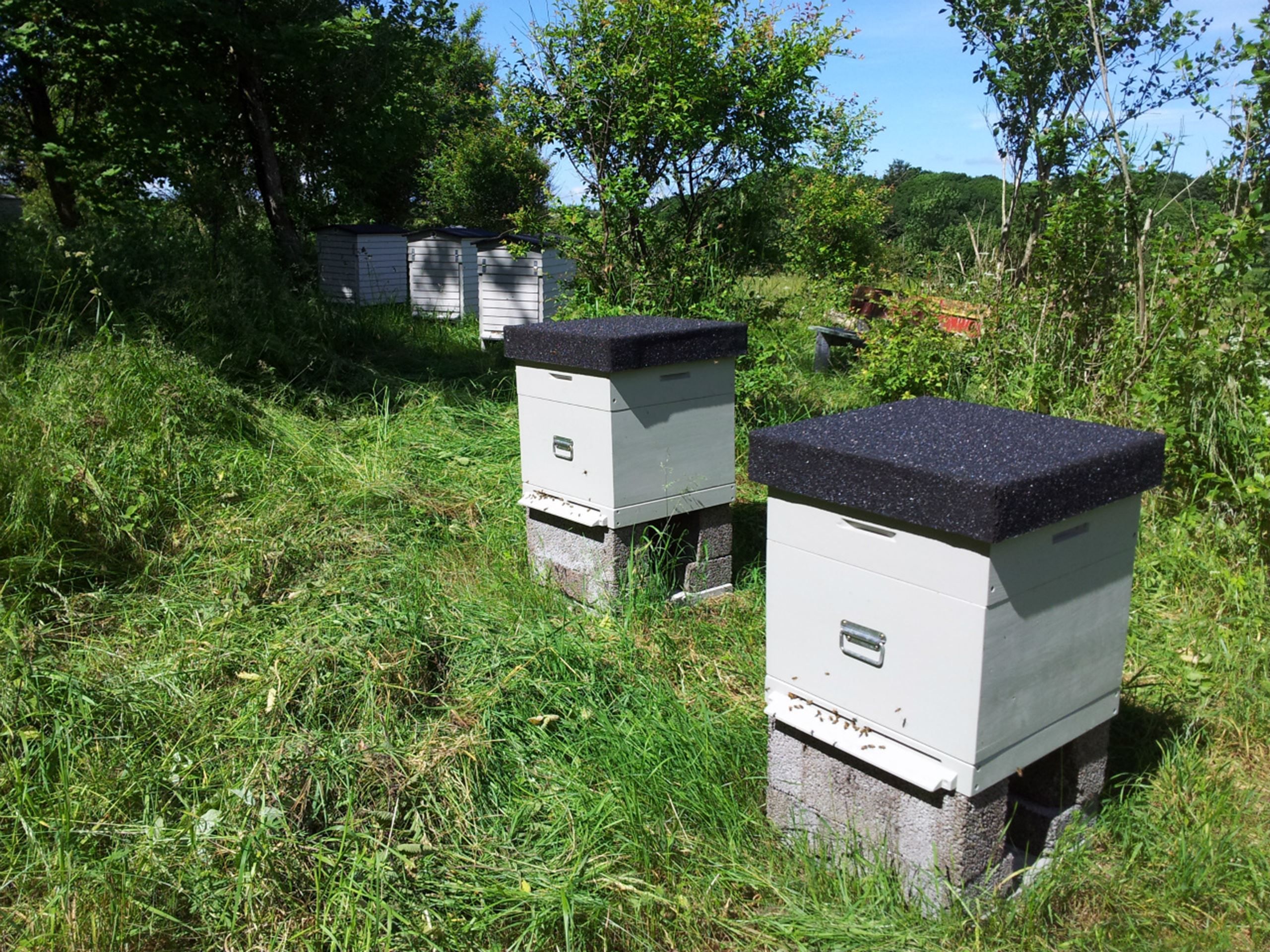 Honning fra Livø i Meyers Kantiner​​​​‌﻿‍﻿​‍​‍‌‍﻿﻿‌﻿​‍‌‍‍‌‌‍‌﻿‌‍‍‌‌‍﻿‍​‍​‍​﻿‍‍​‍​‍‌﻿​﻿‌‍​‌‌‍﻿‍‌‍‍‌‌﻿‌​‌﻿‍‌​‍﻿‍‌‍‍‌‌‍﻿﻿​‍​‍​‍﻿​​‍​‍‌‍‍​‌﻿​‍‌‍‌‌‌‍‌‍​‍​‍​﻿‍‍​‍​‍‌‍‍​‌﻿‌​‌﻿‌​‌﻿​​​﻿‍‍​‍﻿﻿​‍﻿﻿‌‍﻿​‌‍﻿﻿‌‍​﻿‌‍​‌‌‍﻿​‌‍‍​‌‍﻿﻿‌﻿​﻿‌﻿‌​​﻿‍‍​﻿​﻿​﻿​﻿​﻿​﻿​﻿​﻿​‍﻿﻿‌‍‍‌‌‍﻿‍‌﻿‌​‌‍‌‌‌‍﻿‍‌﻿‌​​‍﻿﻿‌‍‌‌‌‍‌​‌‍‍‌‌﻿‌​​‍﻿﻿‌‍﻿‌‌‍﻿﻿‌‍‌​‌‍‌‌​﻿﻿‌‌﻿​​‌﻿​‍‌‍‌‌‌﻿​﻿‌‍‌‌‌‍﻿‍‌﻿‌​‌‍​‌‌﻿‌​‌‍‍‌‌‍﻿﻿‌‍﻿‍​﻿‍﻿‌‍‍‌‌‍‌​​﻿﻿‌​﻿‌​​﻿​​‌‍‌​‌‍‌​​﻿‌​​﻿‌‍‌‍​﻿​﻿‌‍​‍﻿‌​﻿‌‌​﻿​‌‌‍​﻿​﻿​‍​‍﻿‌​﻿‌​​﻿‌‌​﻿​﻿‌‍​﻿​‍﻿‌‌‍​‌​﻿​‌‌‍‌​‌‍​﻿​‍﻿‌‌‍‌‌​﻿‌‍​﻿‌‍​﻿‌‍​﻿​﻿​﻿​​‌‍‌‌​﻿‌﻿‌‍‌​​﻿‌‍​﻿‌‌​﻿​​​﻿‍﻿‌﻿‌​‌﻿‍‌‌﻿​​‌‍‌‌​﻿﻿‌‌‍​‌‌﻿​‍‌﻿‌​‌‍‍‌‌‍​﻿‌‍﻿​‌‍‌‌​﻿‍﻿‌﻿​​‌‍​‌‌﻿‌​‌‍‍​​﻿﻿‌‌‍‍‌‌‍﻿‌‌‍​‌‌‍‌﻿‌‍‌‌​‍﻿‍‌‍​‌‌‍﻿​‌﻿‌​​﻿﻿﻿‌‍​‍‌‍​‌‌﻿​﻿‌‍‌‌‌‌‌‌‌﻿​‍‌‍﻿​​﻿﻿‌‌‍‍​‌﻿‌​‌﻿‌​‌﻿​​​‍‌‌​﻿​﻿‌​​‌​‍‌‌​﻿​‍‌​‌‍​‍‌‌​﻿​‍‌​‌‍‌‍﻿​‌‍﻿﻿‌‍​﻿‌‍​‌‌‍﻿​‌‍‍​‌‍﻿﻿‌﻿​﻿‌﻿‌​​‍‌‌​﻿​﻿‌​​‌​﻿​﻿​﻿​﻿​﻿​﻿​﻿​﻿​‍‌‍‌‍‍‌‌‍‌​​﻿﻿‌​﻿‌​​﻿​​‌‍‌​‌‍‌​​﻿‌​​﻿‌‍‌‍​﻿​﻿‌‍​‍﻿‌​﻿‌‌​﻿​‌‌‍​﻿​﻿​‍​‍﻿‌​﻿‌​​﻿‌‌​﻿​﻿‌‍​﻿​‍﻿‌‌‍​‌​﻿​‌‌‍‌​‌‍​﻿​‍﻿‌‌‍‌‌​﻿‌‍​﻿‌‍​﻿‌‍​﻿​﻿​﻿​​‌‍‌‌​﻿‌﻿‌‍‌​​﻿‌‍​﻿‌‌​﻿​​​‍‌‍‌﻿‌​‌﻿‍‌‌﻿​​‌‍‌‌​﻿﻿‌‌‍​‌‌﻿​‍‌﻿‌​‌‍‍‌‌‍​﻿‌‍﻿​‌‍‌‌​‍‌‍‌﻿​​‌‍​‌‌﻿‌​‌‍‍​​﻿﻿‌‌‍‍‌‌‍﻿‌‌‍​‌‌‍‌﻿‌‍‌‌​‍﻿‍‌‍​‌‌‍﻿​‌﻿‌​​‍‌‍‌﻿​​‌‍‌‌‌﻿​‍‌﻿​﻿‌﻿​​‌‍‌‌‌‍​﻿‌﻿‌​‌‍‍‌‌﻿‌‍‌‍‌‌​﻿﻿‌‌﻿​​‌﻿‌‌‌‍​‍‌‍﻿​‌‍‍‌‌﻿​﻿‌‍‍​‌‍‌‌‌‍‌​​‍​‍‌﻿﻿‌