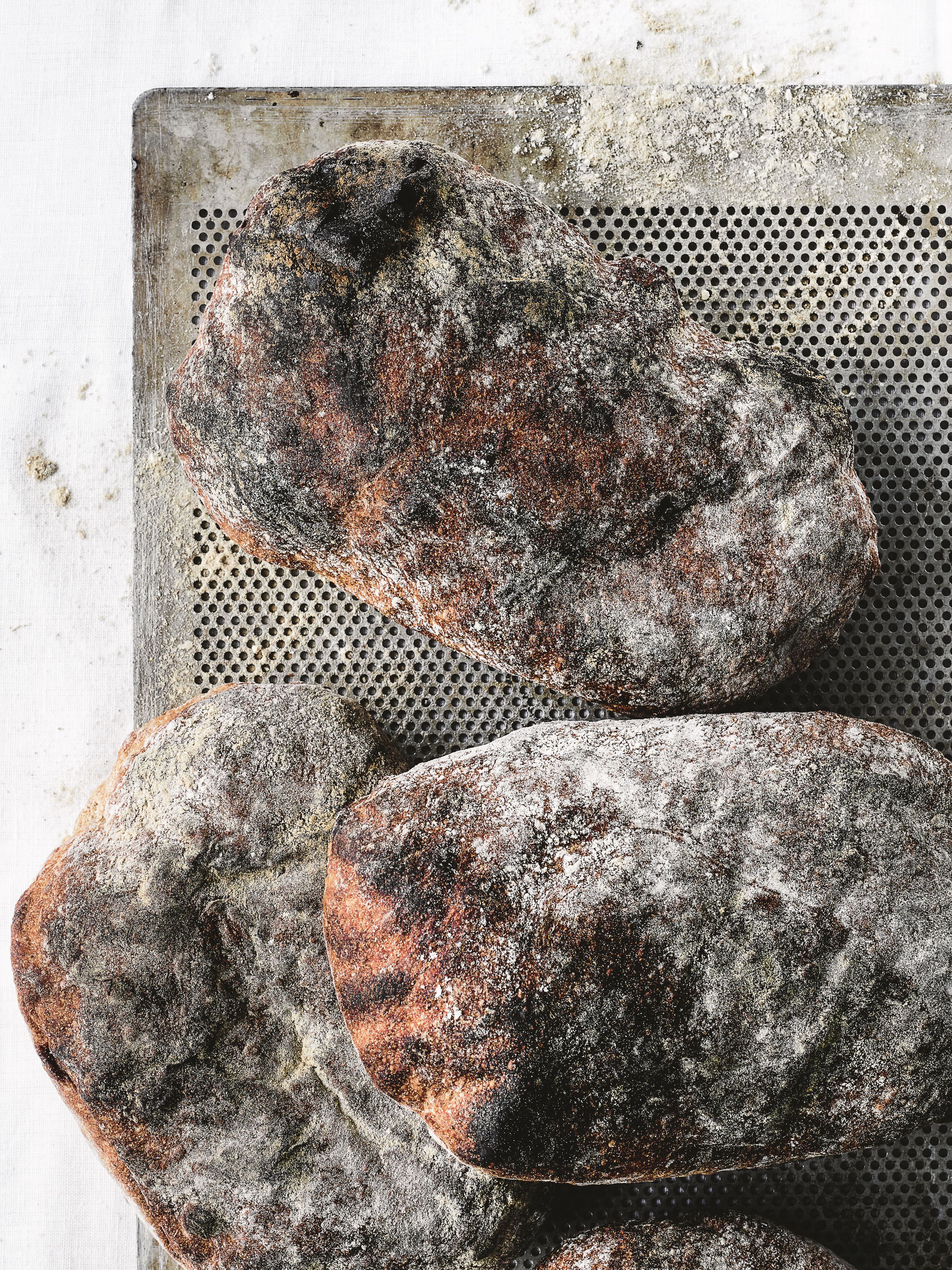 Tender wheat bread without leaven​​​​‌﻿‍﻿​‍​‍‌‍﻿﻿‌﻿​‍‌‍‍‌‌‍‌﻿‌‍‍‌‌‍﻿‍​‍​‍​﻿‍‍​‍​‍‌﻿​﻿‌‍​‌‌‍﻿‍‌‍‍‌‌﻿‌​‌﻿‍‌​‍﻿‍‌‍‍‌‌‍﻿﻿​‍​‍​‍﻿​​‍​‍‌‍‍​‌﻿​‍‌‍‌‌‌‍‌‍​‍​‍​﻿‍‍​‍​‍‌‍‍​‌﻿‌​‌﻿‌​‌﻿​​​﻿‍‍​‍﻿﻿​‍﻿﻿‌‍﻿​‌‍﻿﻿‌‍​﻿‌‍​‌‌‍﻿​‌‍‍​‌‍﻿﻿‌﻿​﻿‌﻿‌​​﻿‍‍​﻿​﻿​﻿​﻿​﻿​﻿​﻿​﻿​‍﻿﻿‌‍‍‌‌‍﻿‍‌﻿‌​‌‍‌‌‌‍﻿‍‌﻿‌​​‍﻿﻿‌‍‌‌‌‍‌​‌‍‍‌‌﻿‌​​‍﻿﻿‌‍﻿‌‌‍﻿﻿‌‍‌​‌‍‌‌​﻿﻿‌‌﻿​​‌﻿​‍‌‍‌‌‌﻿​﻿‌‍‌‌‌‍﻿‍‌﻿‌​‌‍​‌‌﻿‌​‌‍‍‌‌‍﻿﻿‌‍﻿‍​﻿‍﻿‌‍‍‌‌‍‌​​﻿﻿‌​﻿‍​​﻿‌﻿‌‍​‌​﻿‌‍‌‍‌‍​﻿​﻿‌‍​‍‌‍​﻿​‍﻿‌‌‍‌‌‌‍‌​‌‍​‌​﻿​﻿​‍﻿‌​﻿‌‌​﻿​‌​﻿‍‌‌‍‌‌​‍﻿‌‌‍​‌​﻿​﻿​﻿​​​﻿​​​‍﻿‌‌‍‌​​﻿​​​﻿​​‌‍‌​​﻿​‌​﻿‍‌​﻿‌﻿​﻿​​​﻿‌​‌‍​‌​﻿​‌​﻿​﻿​﻿‍﻿‌﻿‌​‌﻿‍‌‌﻿​​‌‍‌‌​﻿﻿‌‌﻿​‍‌‍‌‌‌‍​﻿‌‍‍‌‌﻿​​‌‍‌‌​﻿‍﻿‌﻿​​‌‍​‌‌﻿‌​‌‍‍​​﻿﻿‌‌‍‍‌‌‍﻿‌‌‍​‌‌‍‌﻿‌‍‌‌​‍﻿‍‌‍​‌‌‍﻿​‌﻿‌​​﻿﻿﻿‌‍​‍‌‍​‌‌﻿​﻿‌‍‌‌‌‌‌‌‌﻿​‍‌‍﻿​​﻿﻿‌‌‍‍​‌﻿‌​‌﻿‌​‌﻿​​​‍‌‌​﻿​﻿‌​​‌​‍‌‌​﻿​‍‌​‌‍​‍‌‌​﻿​‍‌​‌‍‌‍﻿​‌‍﻿﻿‌‍​﻿‌‍​‌‌‍﻿​‌‍‍​‌‍﻿﻿‌﻿​﻿‌﻿‌​​‍‌‌​﻿​﻿‌​​‌​﻿​﻿​﻿​﻿​﻿​﻿​﻿​﻿​‍‌‍‌‍‍‌‌‍‌​​﻿﻿‌​﻿‍​​﻿‌﻿‌‍​‌​﻿‌‍‌‍‌‍​﻿​﻿‌‍​‍‌‍​﻿​‍﻿‌‌‍‌‌‌‍‌​‌‍​‌​﻿​﻿​‍﻿‌​﻿‌‌​﻿​‌​﻿‍‌‌‍‌‌​‍﻿‌‌‍​‌​﻿​﻿​﻿​​​﻿​​​‍﻿‌‌‍‌​​﻿​​​﻿​​‌‍‌​​﻿​‌​﻿‍‌​﻿‌﻿​﻿​​​﻿‌​‌‍​‌​﻿​‌​﻿​﻿​‍‌‍‌﻿‌​‌﻿‍‌‌﻿​​‌‍‌‌​﻿﻿‌‌﻿​‍‌‍‌‌‌‍​﻿‌‍‍‌‌﻿​​‌‍‌‌​‍‌‍‌﻿​​‌‍​‌‌﻿‌​‌‍‍​​﻿﻿‌‌‍‍‌‌‍﻿‌‌‍​‌‌‍‌﻿‌‍‌‌​‍﻿‍‌‍​‌‌‍﻿​‌﻿‌​​‍‌‍‌﻿​​‌‍‌‌‌﻿​‍‌﻿​﻿‌﻿​​‌‍‌‌‌‍​﻿‌﻿‌​‌‍‍‌‌﻿‌‍‌‍‌‌​﻿﻿‌‌﻿​​‌﻿‌‌‌‍​‍‌‍﻿​‌‍‍‌‌﻿​﻿‌‍‍​‌‍‌‌‌‍‌​​‍​‍‌﻿﻿‌