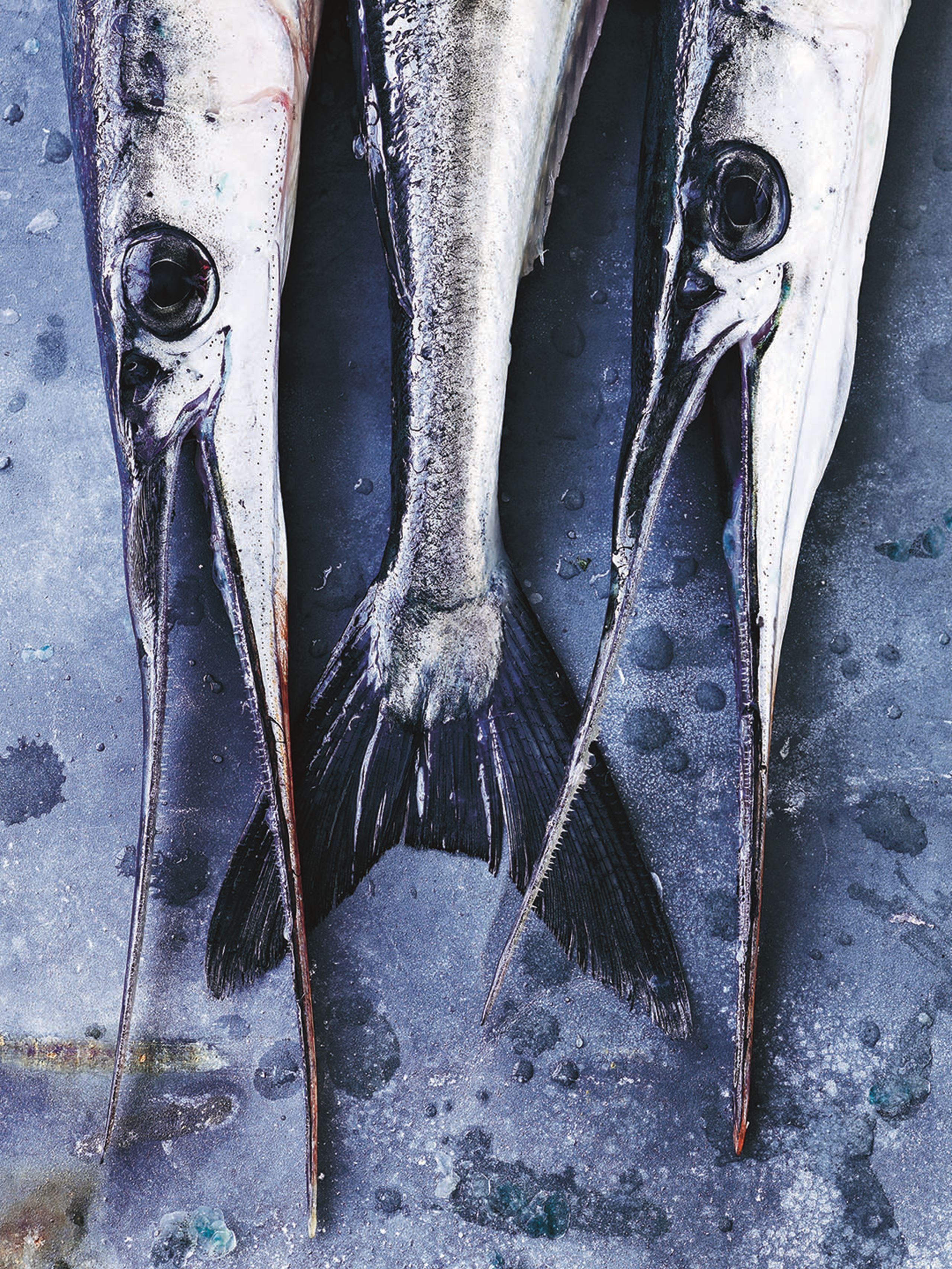 Stegt hornfisk med persillesovs og agurkesalat​​​​‌﻿‍﻿​‍​‍‌‍﻿﻿‌﻿​‍‌‍‍‌‌‍‌﻿‌‍‍‌‌‍﻿‍​‍​‍​﻿‍‍​‍​‍‌﻿​﻿‌‍​‌‌‍﻿‍‌‍‍‌‌﻿‌​‌﻿‍‌​‍﻿‍‌‍‍‌‌‍﻿﻿​‍​‍​‍﻿​​‍​‍‌‍‍​‌﻿​‍‌‍‌‌‌‍‌‍​‍​‍​﻿‍‍​‍​‍‌‍‍​‌﻿‌​‌﻿‌​‌﻿​​​﻿‍‍​‍﻿﻿​‍﻿﻿‌‍﻿​‌‍﻿﻿‌‍​﻿‌‍​‌‌‍﻿​‌‍‍​‌‍﻿﻿‌﻿​﻿‌﻿‌​​﻿‍‍​﻿​﻿​﻿​﻿​﻿​﻿​﻿​﻿​‍﻿﻿‌‍‍‌‌‍﻿‍‌﻿‌​‌‍‌‌‌‍﻿‍‌﻿‌​​‍﻿﻿‌‍‌‌‌‍‌​‌‍‍‌‌﻿‌​​‍﻿﻿‌‍﻿‌‌‍﻿﻿‌‍‌​‌‍‌‌​﻿﻿‌‌﻿​​‌﻿​‍‌‍‌‌‌﻿​﻿‌‍‌‌‌‍﻿‍‌﻿‌​‌‍​‌‌﻿‌​‌‍‍‌‌‍﻿﻿‌‍﻿‍​﻿‍﻿‌‍‍‌‌‍‌​​﻿﻿‌​﻿​﻿‌‍‌​​﻿‌﻿‌‍​‌​﻿‌‌​﻿​​‌‍‌‌‌‍​‍​‍﻿‌​﻿​‌‌‍​‍​﻿​​​﻿‌‍​‍﻿‌​﻿‌​​﻿‌​​﻿‍​​﻿‌﻿​‍﻿‌​﻿‍‌​﻿​‌​﻿​‌​﻿‍​​‍﻿‌‌‍​﻿​﻿​​​﻿​﻿​﻿‌‍​﻿‍‌​﻿‌‍​﻿​﻿​﻿‌‍​﻿‌﻿​﻿​﻿​﻿‌‌​﻿​‍​﻿‍﻿‌﻿‌​‌﻿‍‌‌﻿​​‌‍‌‌​﻿﻿‌‌‍​‌‌﻿​‍‌﻿‌​‌‍‍‌‌‍​﻿‌‍﻿​‌‍‌‌​﻿‍﻿‌﻿​​‌‍​‌‌﻿‌​‌‍‍​​﻿﻿‌‌﻿​​‌‍﻿﻿‌﻿​‍‌﻿‌​‌‍​‌‌‍​‍‌‍﻿​‌‍‌‌‌﻿‌​‌‍‌‌‌﻿‍​‌﻿‌​​‍‌‌​﻿‌‌‌​​‍‌‌﻿﻿‌‍‍﻿‌‍‌‌‌﻿‍‌​‍‌‌​﻿​﻿‌​‌​​‍‌‌​﻿​﻿‌​‌​​‍‌‌​﻿​‍​﻿​‍‌‍​‍​﻿​‌​﻿‍‌‌‍‌‌‌‍​‌​﻿‌‌​﻿‌​​﻿​﻿​‍‌‌​﻿​‍​﻿​‍​‍‌‌​﻿‌‌‌​‌​​‍﻿‍‌‍​﻿‌‍​‌‌﻿​‍‌‍‌​‌﻿​﻿​‍‌‌​﻿‌‌‌​​‍‌‌﻿﻿‌‍‍﻿‌‍‌‌‌﻿‍‌​‍‌‌​﻿​﻿‌​‌​​‍‌‌​﻿​﻿‌​‌​​‍‌‌​﻿​‍​﻿​‍​﻿​﻿​﻿​‌‌‍‌‌​﻿​﻿​﻿​‍​﻿‌﻿‌‍‌​​﻿‍‌​‍‌‌​﻿​‍​﻿​‍​‍‌‌​﻿‌‌‌​‌​​‍﻿‍‌‍‍‌‌‍﻿‌‌‍​‌‌‍‌﻿‌‍‌‌​‍﻿‍‌‍​‌‌‍﻿​‌﻿‌​​﻿﻿﻿‌‍​‍‌‍​‌‌﻿​﻿‌‍‌‌‌‌‌‌‌﻿​‍‌‍﻿​​﻿﻿‌‌‍‍​‌﻿‌​‌﻿‌​‌﻿​​​‍‌‌​﻿​﻿‌​​‌​‍‌‌​﻿​‍‌​‌‍​‍‌‌​﻿​‍‌​‌‍‌‍﻿​‌‍﻿﻿‌‍​﻿‌‍​‌‌‍﻿​‌‍‍​‌‍﻿﻿‌﻿​﻿‌﻿‌​​‍‌‌​﻿​﻿‌​​‌​﻿​﻿​﻿​﻿​﻿​﻿​﻿​﻿​‍‌‍‌‍‍‌‌‍‌​​﻿﻿‌​﻿​﻿‌‍‌​​﻿‌﻿‌‍​‌​﻿‌‌​﻿​​‌‍‌‌‌‍​‍​‍﻿‌​﻿​‌‌‍​‍​﻿​​​﻿‌‍​‍﻿‌​﻿‌​​﻿‌​​﻿‍​​﻿‌﻿​‍﻿‌​﻿‍‌​﻿​‌​﻿​‌​﻿‍​​‍﻿‌‌‍​﻿​﻿​​​﻿​﻿​﻿‌‍​﻿‍‌​﻿‌‍​﻿​﻿​﻿‌‍​﻿‌﻿​﻿​﻿​﻿‌‌​﻿​‍​‍‌‍‌﻿‌​‌﻿‍‌‌﻿​​‌‍‌‌​﻿﻿‌‌‍​‌‌﻿​‍‌﻿‌​‌‍‍‌‌‍​﻿‌‍﻿​‌‍‌‌​‍‌‍‌﻿​​‌‍​‌‌﻿‌​‌‍‍​​﻿﻿‌‌﻿​​‌‍﻿﻿‌﻿​‍‌﻿‌​‌‍​‌‌‍​‍‌‍﻿​‌‍‌‌‌﻿‌​‌‍‌‌‌﻿‍​‌﻿‌​​‍‌‌​﻿‌‌‌​​‍‌‌﻿﻿‌‍‍﻿‌‍‌‌‌﻿‍‌​‍‌‌​﻿​﻿‌​‌​​‍‌‌​﻿​﻿‌​‌​​‍‌‌​﻿​‍​﻿​‍‌‍​‍​﻿​‌​﻿‍‌‌‍‌‌‌‍​‌​﻿‌‌​﻿‌​​﻿​﻿​‍‌‌​﻿​‍​﻿​‍​‍‌‌​﻿‌‌‌​‌​​‍﻿‍‌‍​﻿‌‍​‌‌﻿​‍‌‍‌​‌﻿​﻿​‍‌‌​﻿‌‌‌​​‍‌‌﻿﻿‌‍‍﻿‌‍‌‌‌﻿‍‌​‍‌‌​﻿​﻿‌​‌​​‍‌‌​﻿​﻿‌​‌​​‍‌‌​﻿​‍​﻿​‍​﻿​﻿​﻿​‌‌‍‌‌​﻿​﻿​﻿​‍​﻿‌﻿‌‍‌​​﻿‍‌​‍‌‌​﻿​‍​﻿​‍​‍‌‌​﻿‌‌‌​‌​​‍﻿‍‌‍‍‌‌‍﻿‌‌‍​‌‌‍‌﻿‌‍‌‌​‍﻿‍‌‍​‌‌‍﻿​‌﻿‌​​‍‌‍‌﻿​​‌‍‌‌‌﻿​‍‌﻿​﻿‌﻿​​‌‍‌‌‌‍​﻿‌﻿‌​‌‍‍‌‌﻿‌‍‌‍‌‌​﻿﻿‌‌﻿​​‌﻿‌‌‌‍​‍‌‍﻿​‌‍‍‌‌﻿​﻿‌‍‍​‌‍‌‌‌‍‌​​‍​‍‌﻿﻿‌