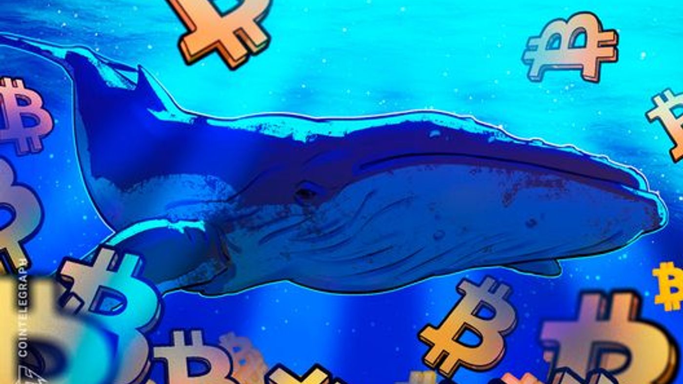 Bitcoin Menuju $90K: Whale Serap Pasokan 20x Lipat dalam 30 Hari