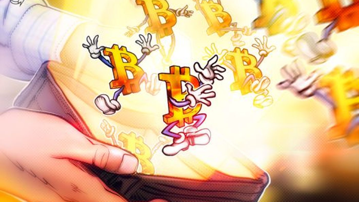 Dompet Bitcoin Serap 4,37 Juta BTC, Sinyal Bull Market Muncul