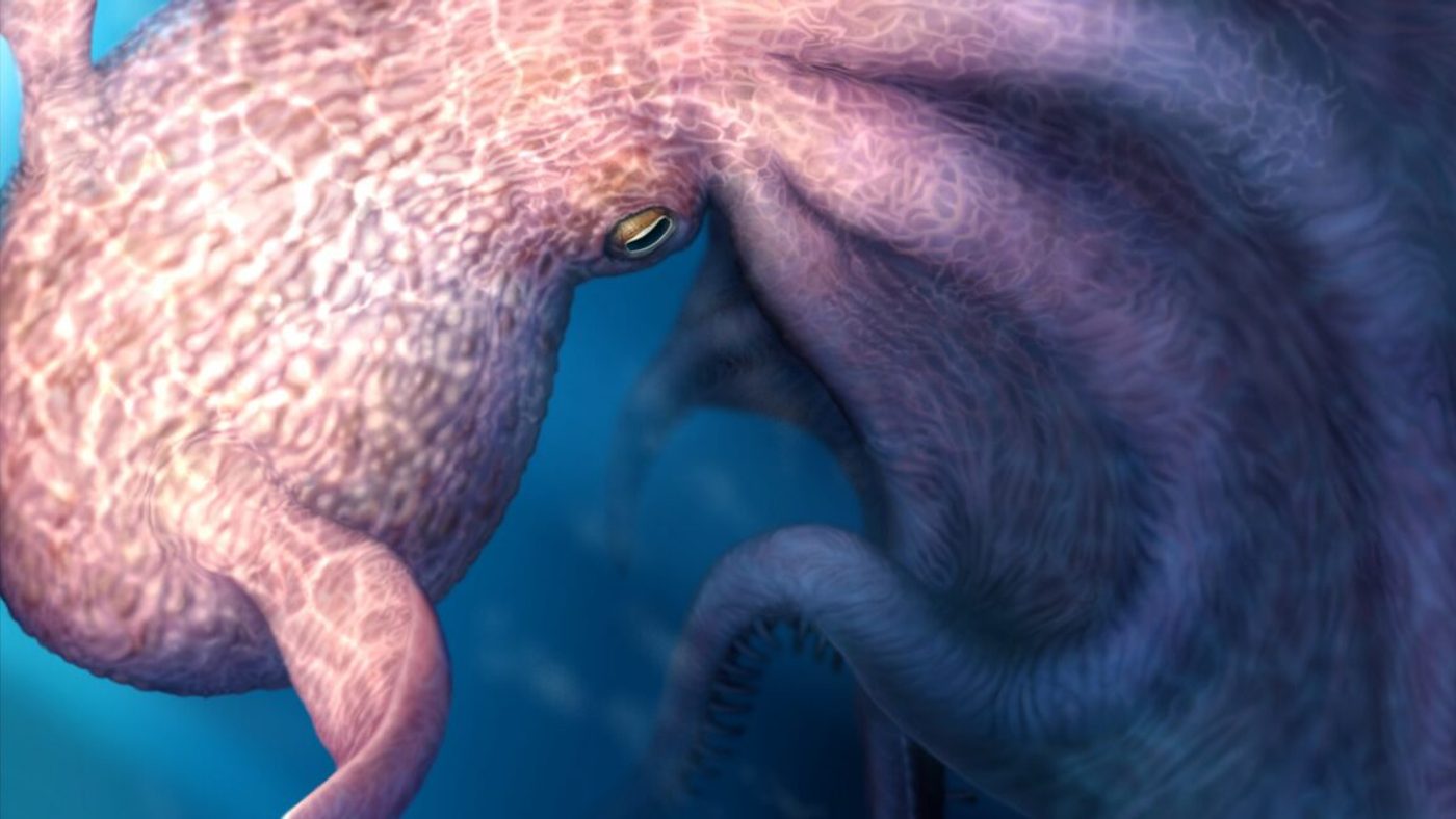 Monster Gurita Raksasa 19 Meter dari Zaman Dinosaurus Ternyata Benar Ada