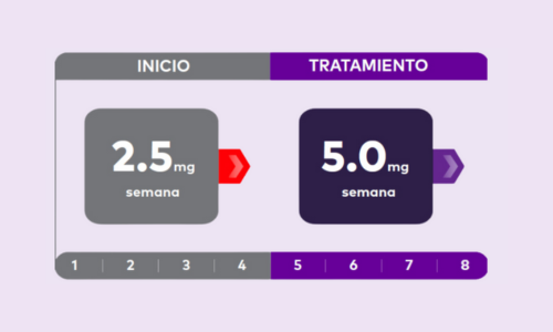 ¿Cómo iniciar?