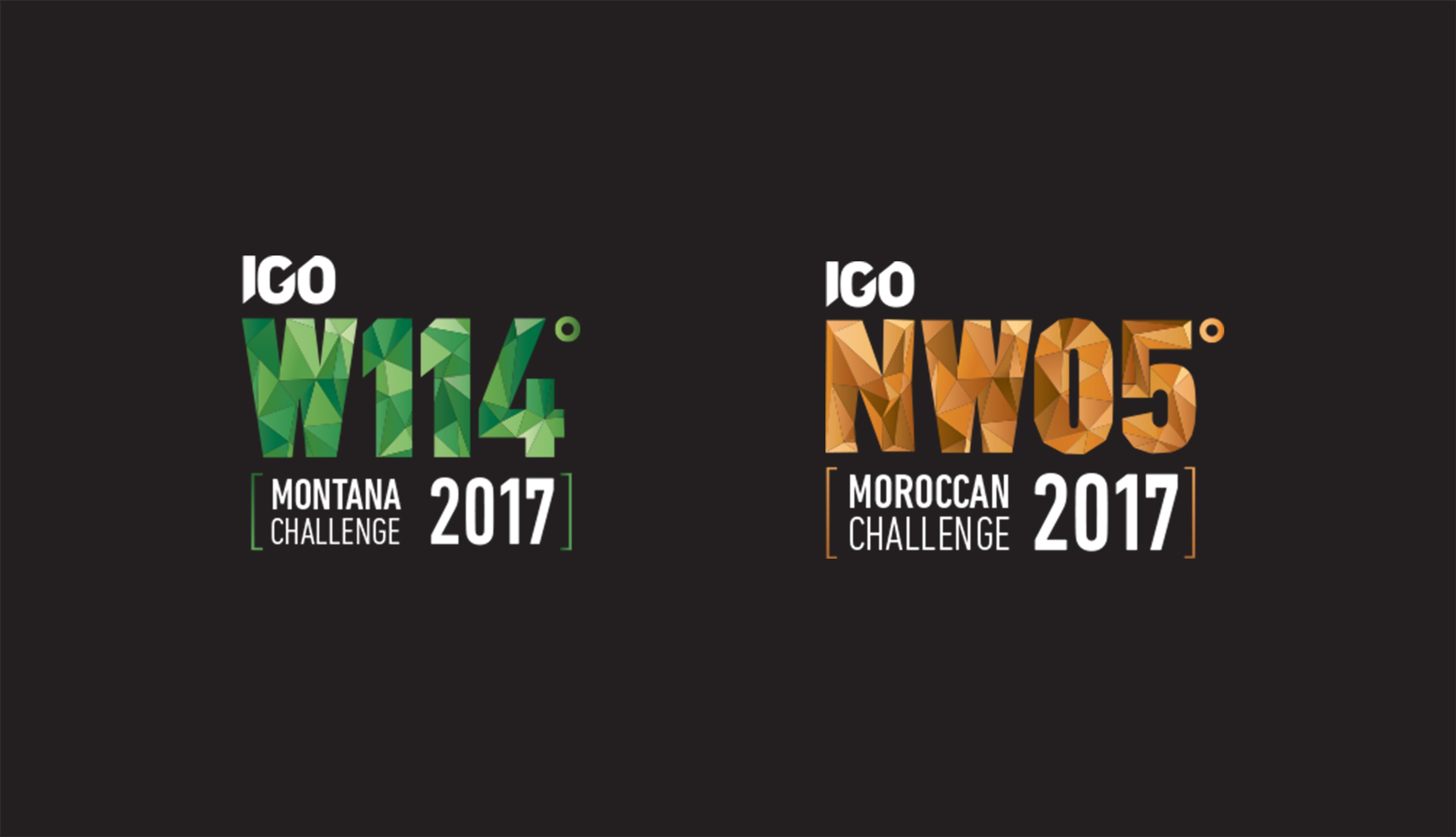 IGO challenge logos
