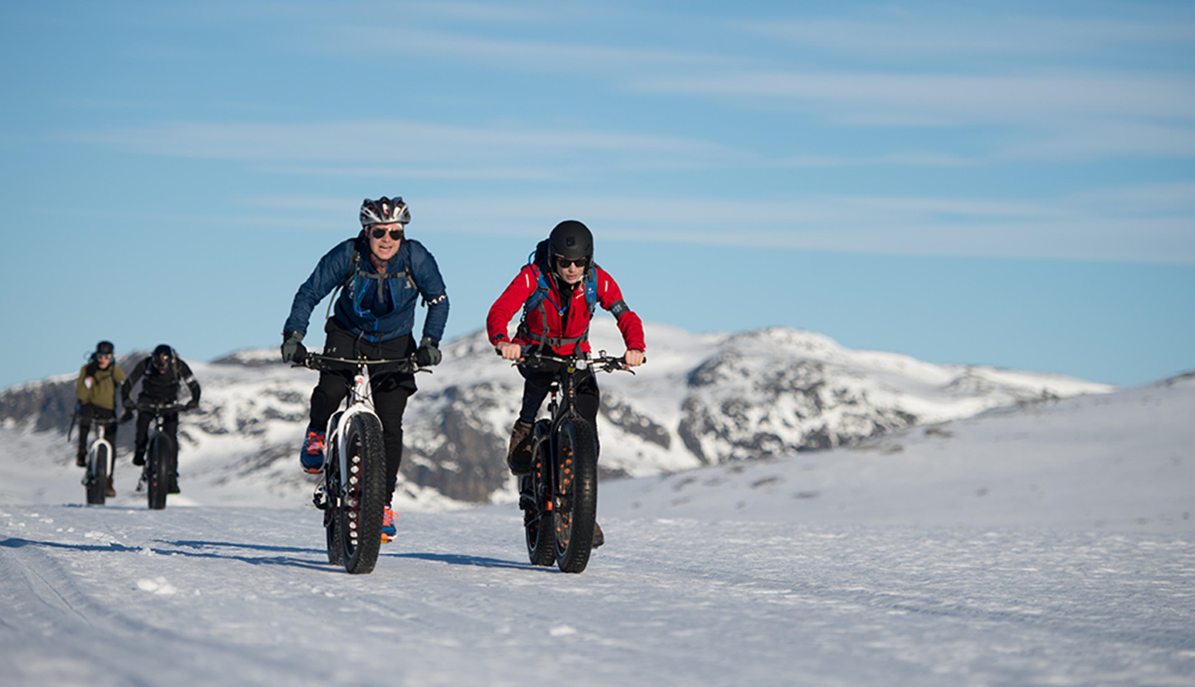IGO cyclers
