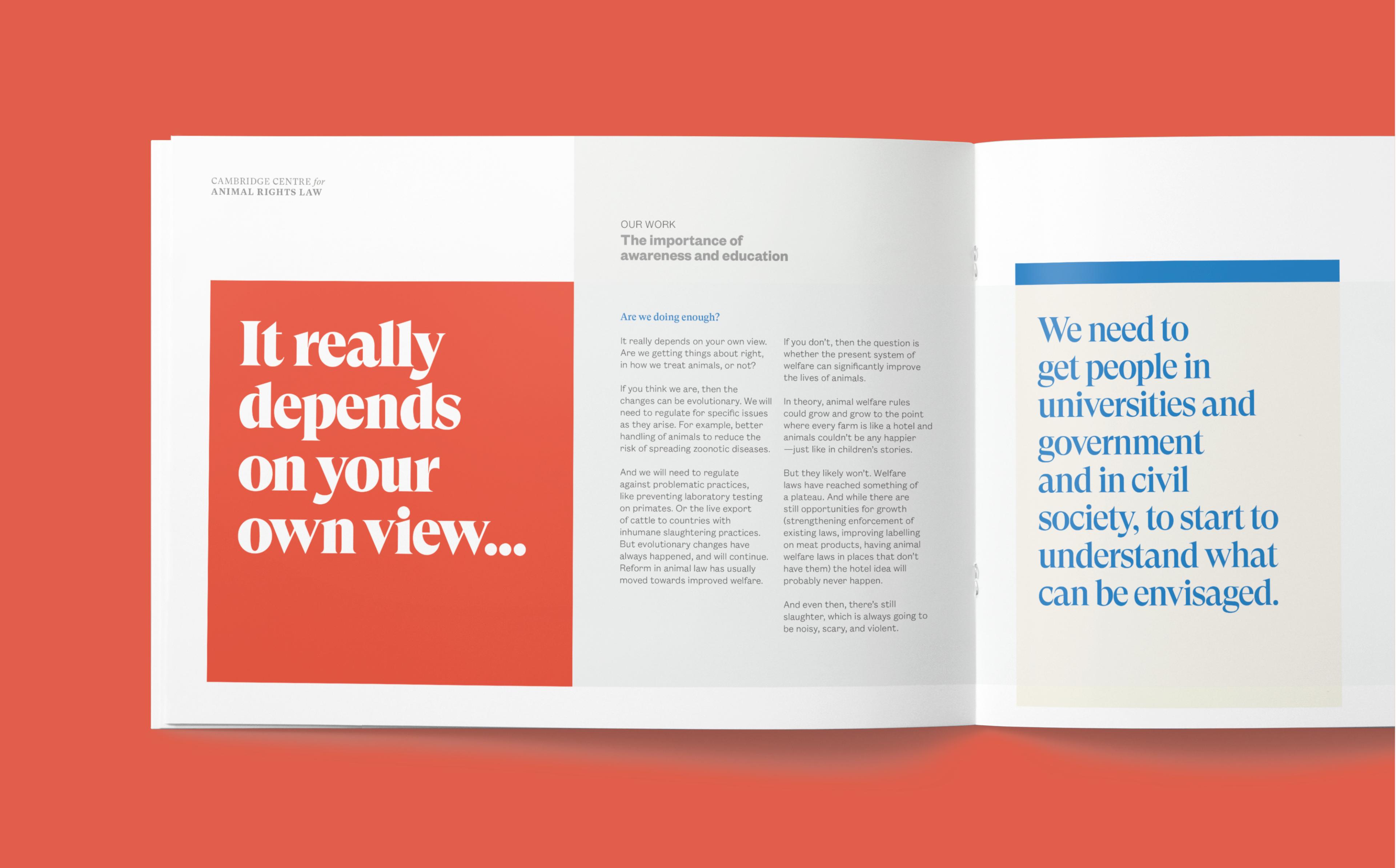 CCARL Spread Mockup of a brochure spread for Cambridge Centre for Animal Right's Law, containing text and colour blocks.