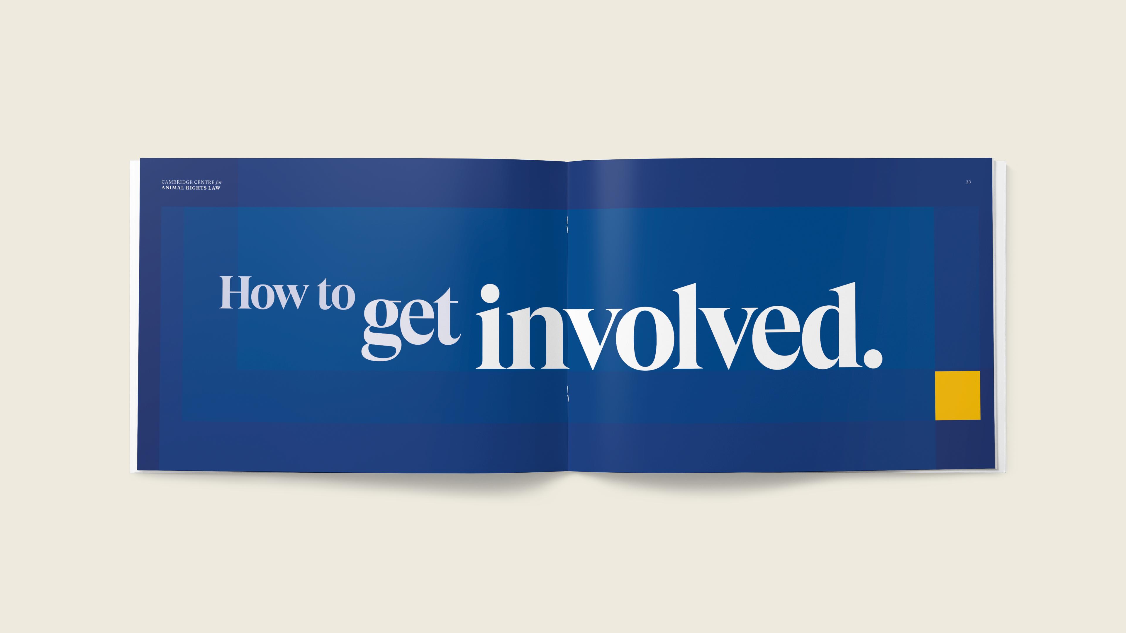 CCARL Spread Mockup of a brochure spread for Cambridge Centre for Animal Right's Law, containing text that reads "How to get involved"and colour blocks