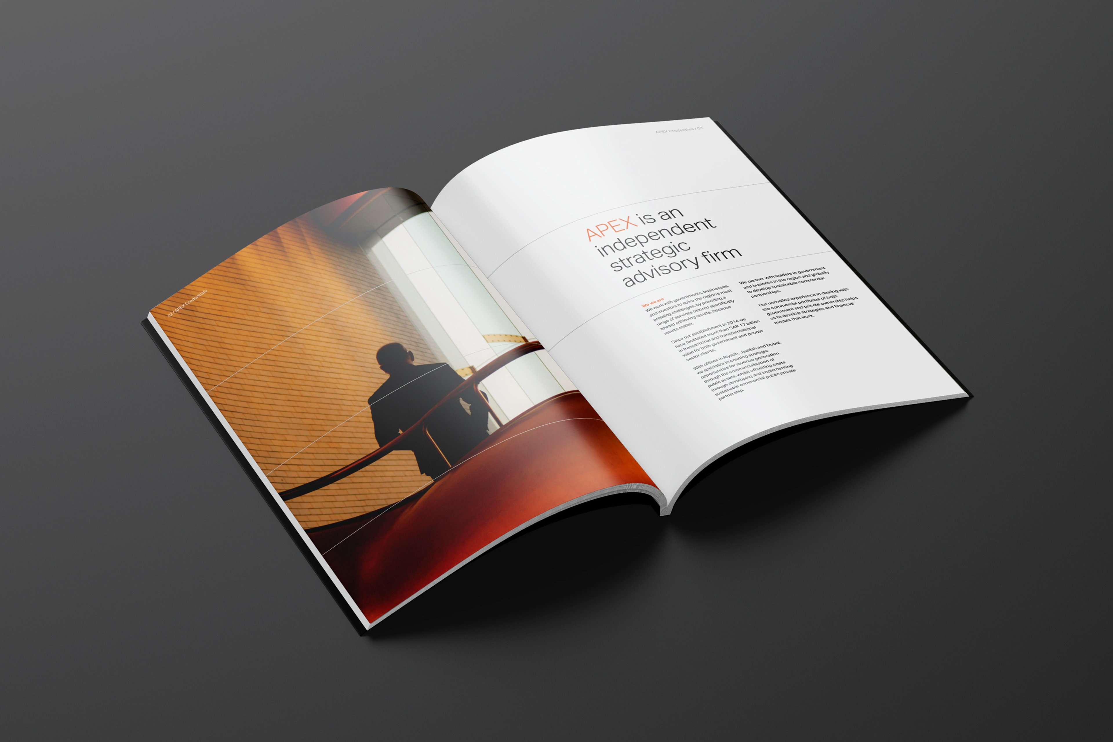 APEX ADVISORY brochure spread
