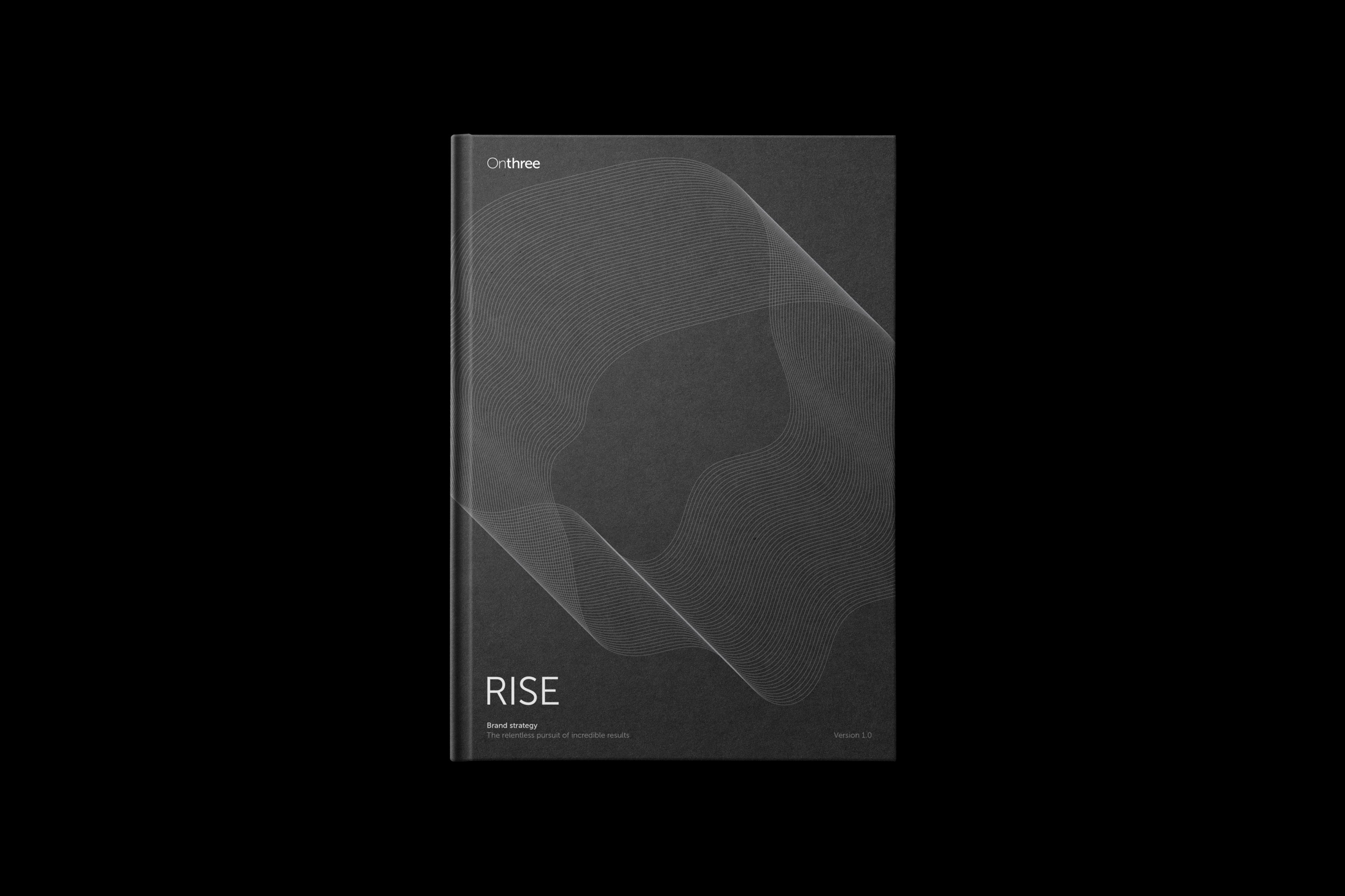 RISE strategy document RISE strategy document