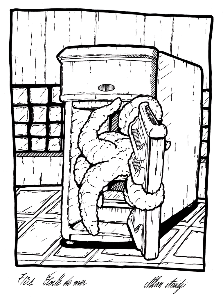 Inktober 2025, jour 7, Étoile de mer
