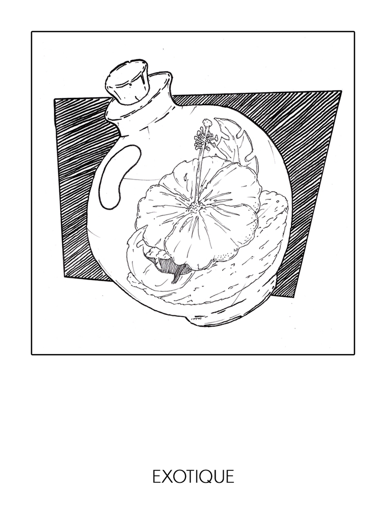 Inktober 2024, jour 4, Exotique