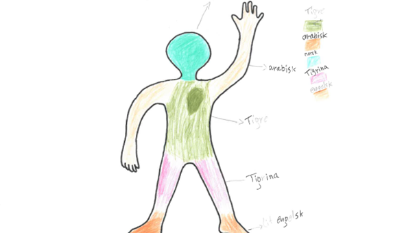 Bildet viser en silhuett av et menneske, som er farget med ulike farger som representerer språk personen kan. Det er fem farger: turkis, i hodet, for norsk; lysebrunt, i armene, for arabisk; grønt, i hjertet og på overkroppen, for tigre; rosa, i beina, for tigrinja; og oransje, i føttene, for engelsk.