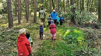 mange barnehagebarn på vei inn i skogen