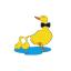 icon of Dashing Ducks Castle Hill
