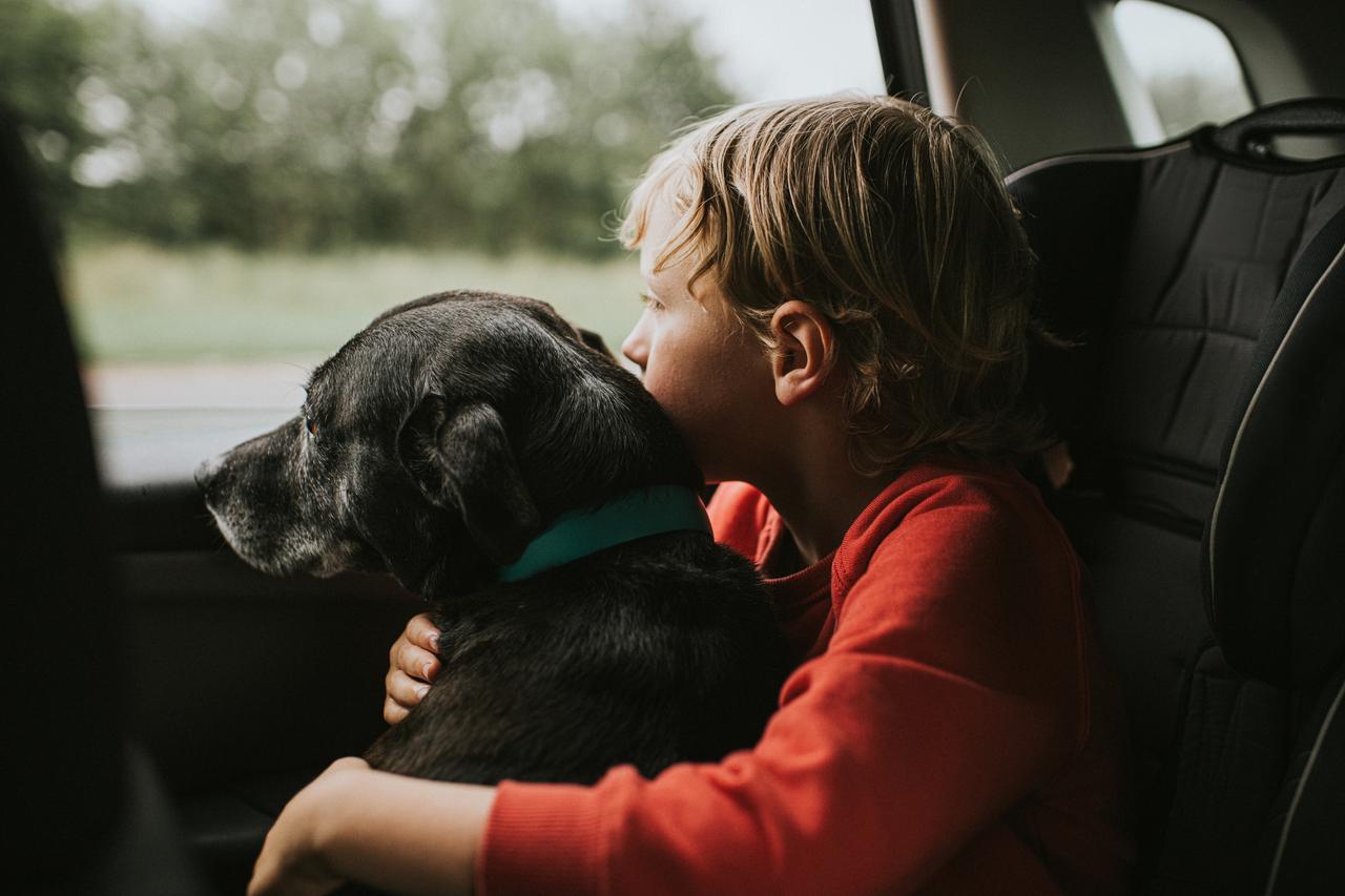 en hund och en pojke som sitter i en bil