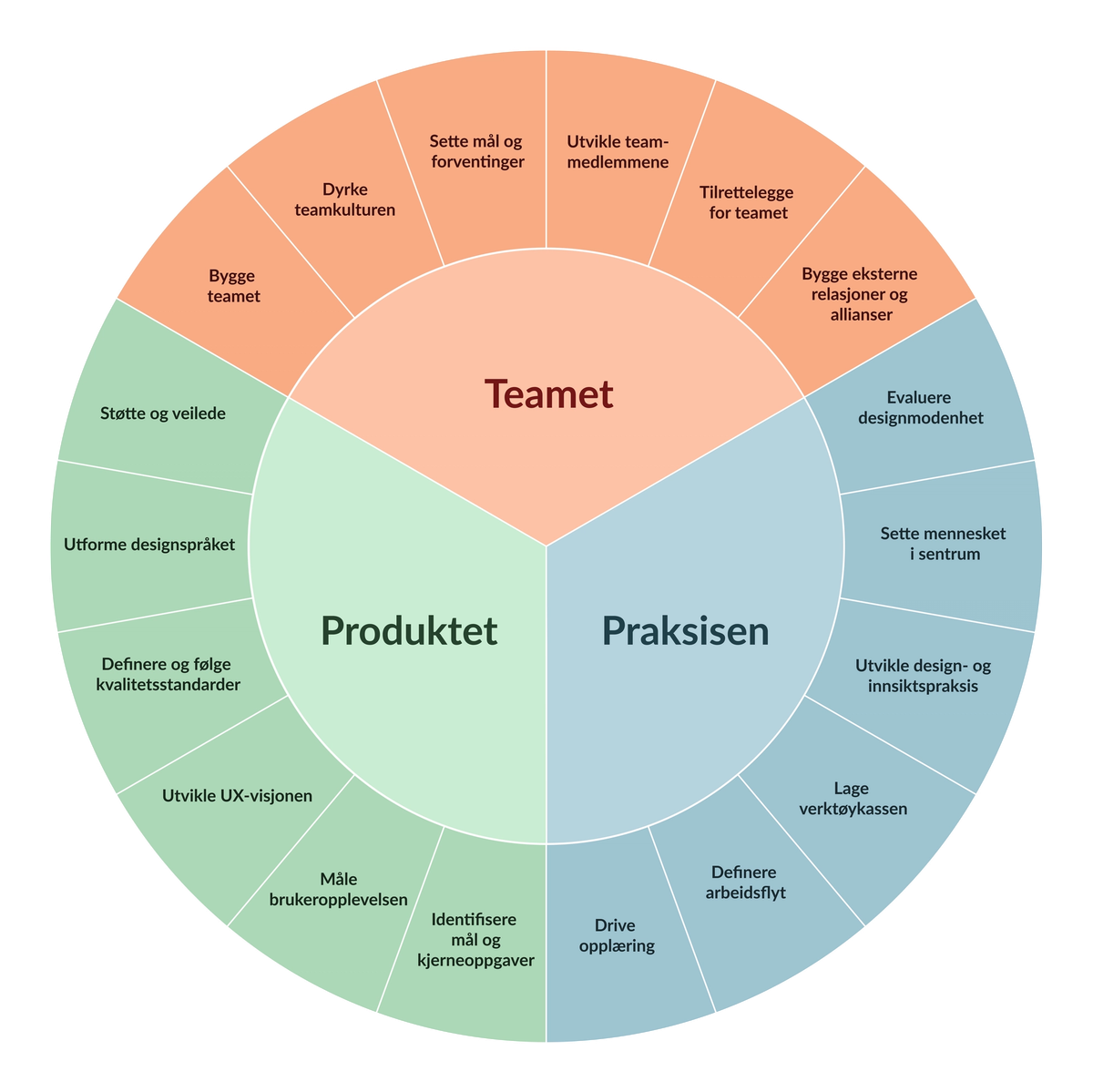 Sirkelmodell som viser inndelinger for teamet, produktet og praksisen.