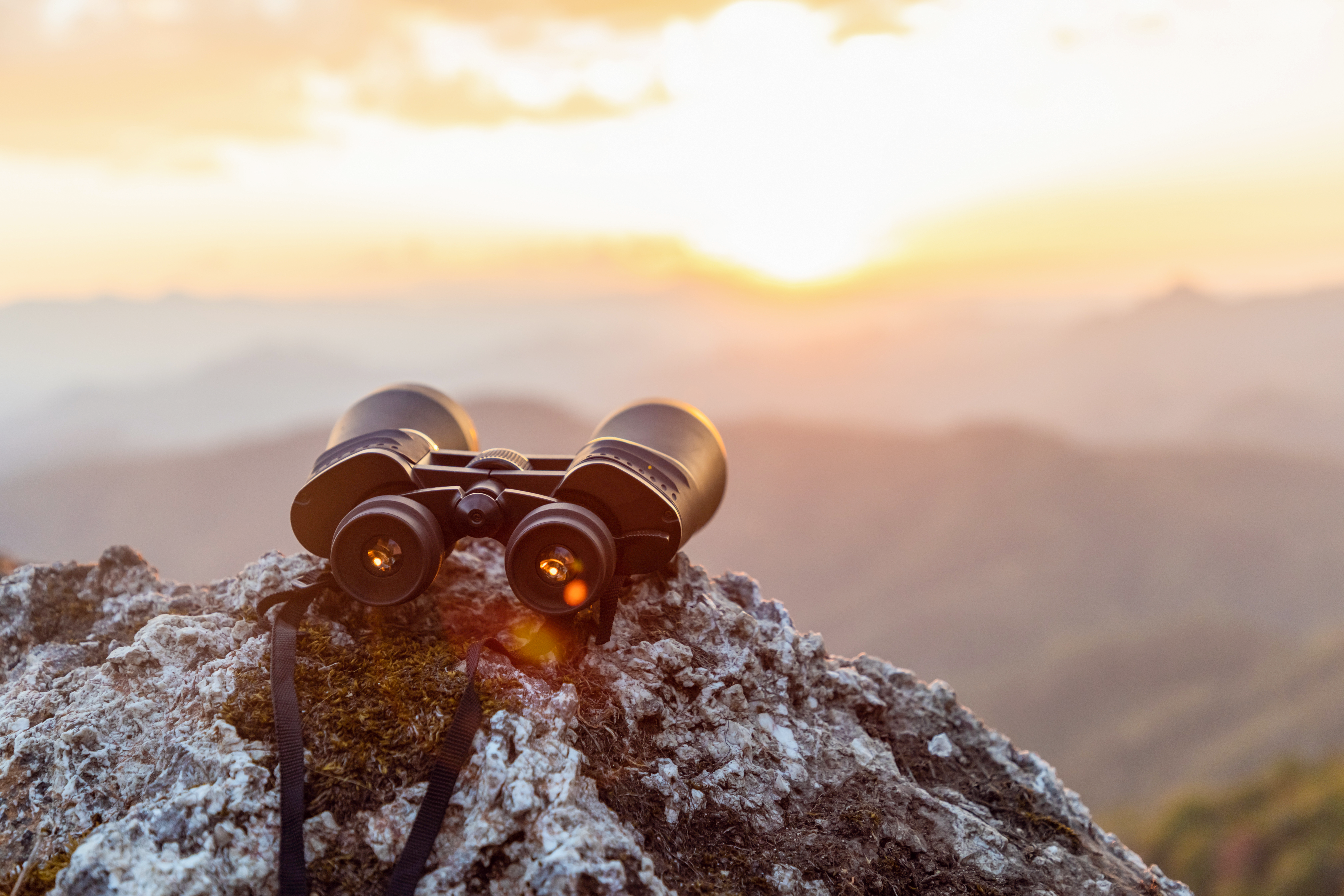 Vi søker teamorienterte UX-designere