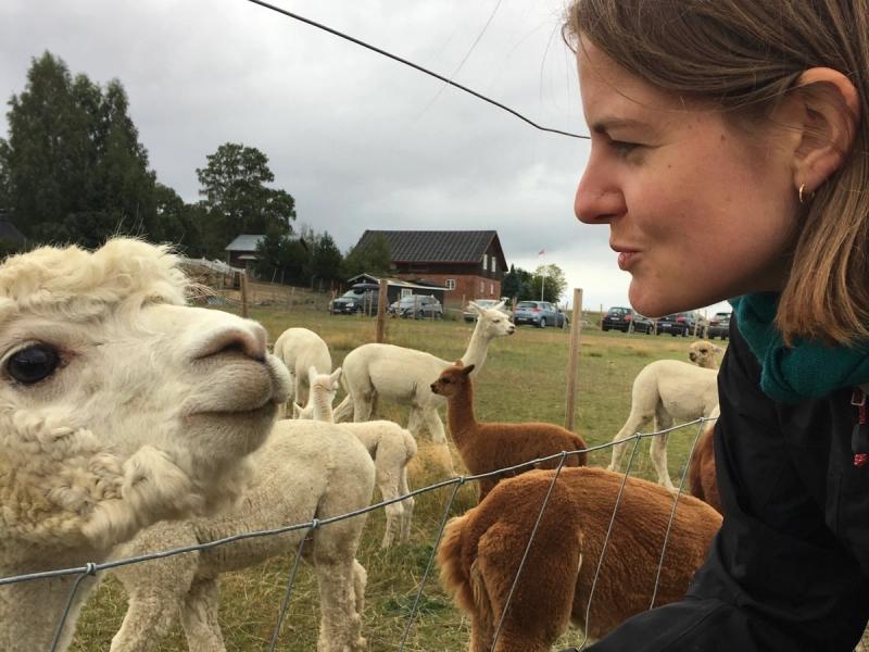 Dame har ansiktet inntil et gjerde og er ansikt til ansikt med en lama.