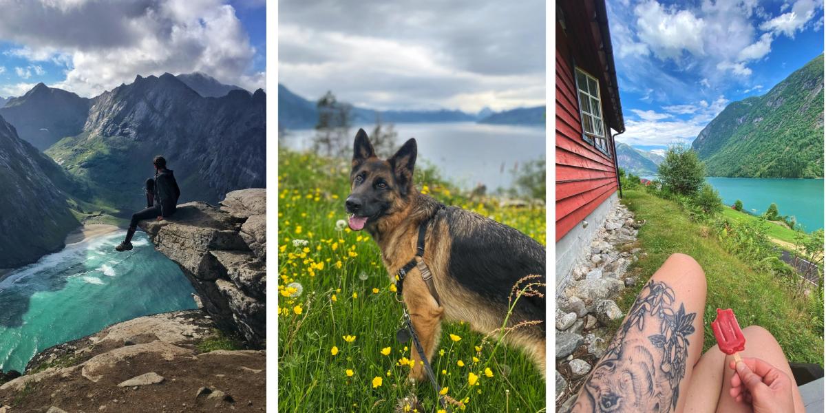 Bilde fra en fjelltopp, bilde av hunden, bilde fra isspising utendørs