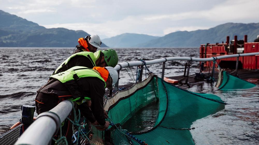 UX, UX og enda mer UX