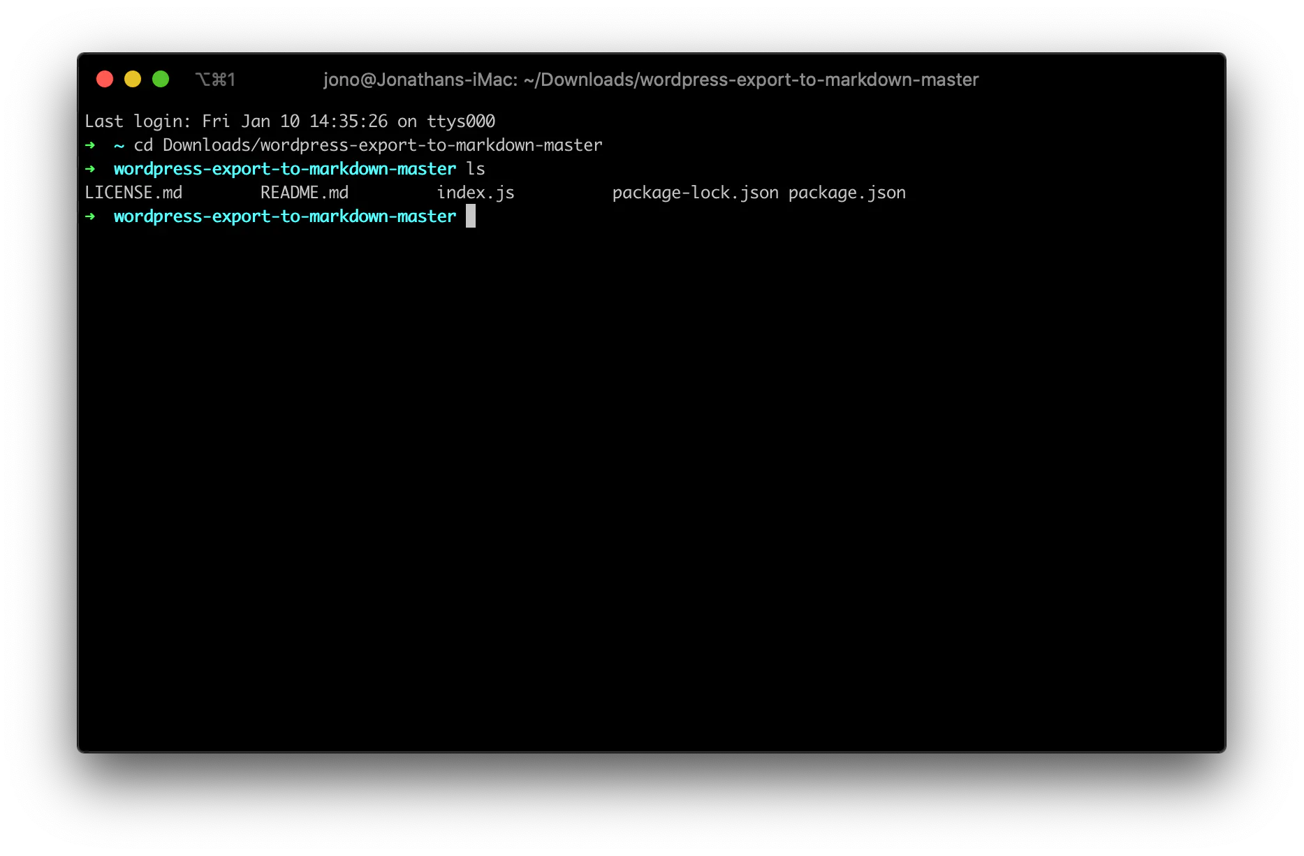 Opening up the terminal