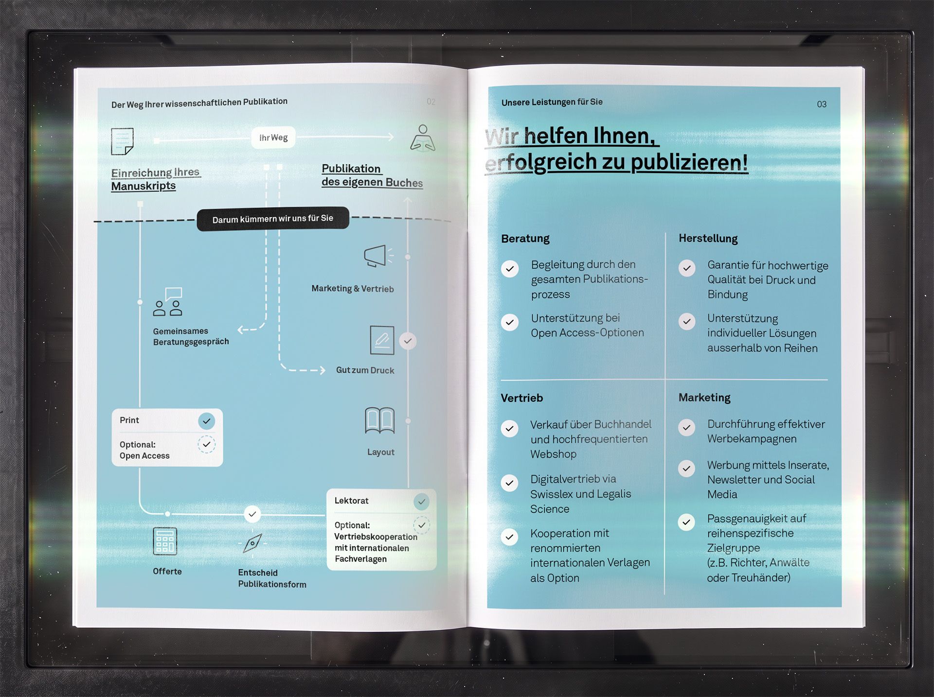 Image-Broschüre mit Infographik und Iconographie