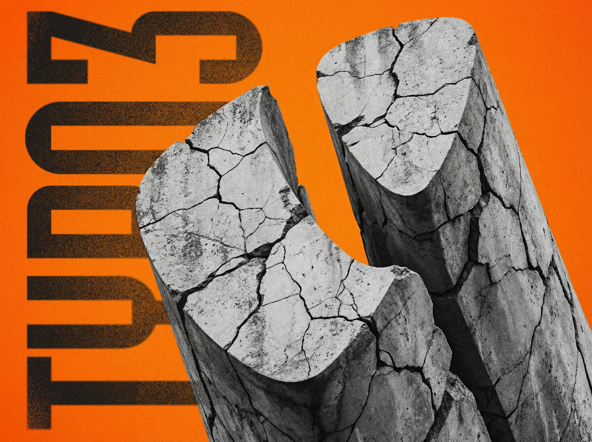 TYPO3