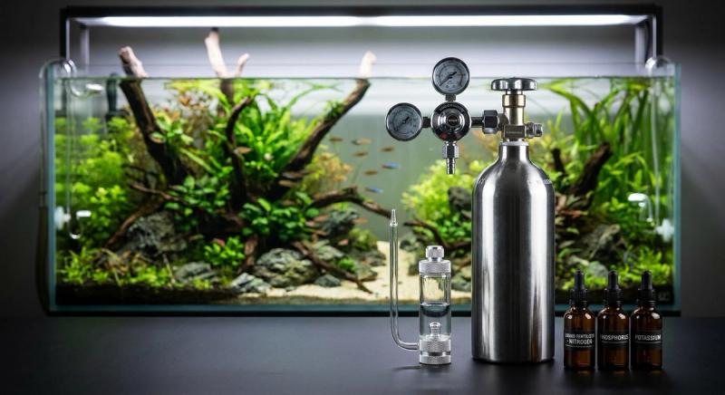 水草缸進階設備:CO2系統與肥料選擇全攻略